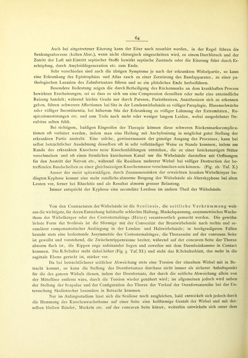 Auch bei eingetretener Eiterung kann der Eiter noch resorbirt werden, in der Regel führen die Senkungsabscesse (kalten Absc.), wenn nicht chirurgisch eingeschritten wird, zu einem Durchbruch und der Zutritt der Luft mit Eintritt septischer Stoffe bewirkt septische Zustände oder die Eiterung führt durch Er- schöpfung, durch Amyloiddegeneration etc. zum Ende. Sehr verschieden sind auch die übrigen Symptome je nach der erkrankten Wirbelpartie, so kann eine Erkrankung des Epistrophäus und Atlas rasch zu einer Zerstörung des Bandapparates , zu einer pa- thologischen Luxation des Zahnfortsatzes führen und so ein plötzliches Ende herbeiführen. Besondere Bedeutung zeigen die durch Betheiligung des Rückenmarks an dem krankhaften Process bewirkten Erscheinungen, sei es dass es sich um eine Compression desselben oder mehr eine entzündliche Reizung handelt; während leichte Grade nur durch Paresen, Parästhesieen, Anästhesieen sich zu erkennen geben, führen schwerere Affectionen bei Sitz in der Lendenwirbelsäule zu völliger Paraplegie, Blasenschwäche oder völliger Incontinentia, bei höherem Sitz der Erkrankung zu völliger Lähmung der Extremitäten, Re- spirationsstörungen etc. und zum Tode nach mehr oder weniger langem Leiden, wobei ausgedehnter De- cubitus selten fehlt. Bei richtigem, baldigen Eingreifen der Therapie können diese schweren Rückenmarkscomplica- tionen oft verhütet werden, indem man eine Heilung mit Anchylosirung in möglichst guter Stellung der erkrankten Partie anstrebt. Eine solche, gewissermassen der günstige Ausgang des Processes, kann bei selbst beträchtlicher Ausdehnung desselben oft in sehr vollständiger Weise zu Stande kommen, indem am Rande des erkrankten Knochens neue Knochenbildungen entstehen, die zu einer brückenartigen Stütze verschmelzen und oft einen förmlichen knöchernen Kanal um die Wirbelsäule darstellen mit Oeffnungen für den Austritt der Nerven etc., während die Residuen mehrerer Wirbel bei völliger Destruction der be- treffenden Bandscheiben zu einer gleichmässigen Knochenmasse verschmolzen sein können.- (Fig. 2b. Taf. X.) Ausser der meist spitzwinkligen, durch Zusammensinken der erweichten kranken Wirbelkörper be- dingten Kyphose kommt eine mehr rundliche abnorme Beugung der Wirbelsäule als Alterskyphose bei alten Leuten vor, ferner bei Rhachitis und als Resultat abnorm grosser Belastung. Immer entspricht der Kyphose eine secundäre Lordose im andern Theil der Wirbelsäule. Von den Contracturen der Wirbelsäule ist die Scoliosis, die seitliche Verkrümmung weit- aus die wichtigste, für deren Entstehung habituelle schlechte Haltung, Muskelspannung, assymmetrisches Wachs- thum der Wirbelkörper oder des Costosternalrings (Hüter) verantwortlich gemacht werden. Die gewöhn lichste Form der Scoliosis ist die Sformige mit der Convexität der Brustwirbelsäule nach rechts und se- cundärer compensatorischer Ausbiegung in der Lenden- und Halswirbelsäule; in hochgradigeren Fällen besteht stets eine bedeutende Assymmetrie des Costosternalringes, die Thoraxseite auf der convexen Seite ist gewölbt und vorstehend, die Zwischenrippenräume breiter, während auf der concaven Seite der Thorax abnorm flach ist, die Rippen enge aufeinander liegen und zuweilen mit dem Darmbeinkamme in Contact kommen. Die R.Schulter steht dabei höher (Fig. 3. Taf. XI.) und steht das R.Schulterblatt, das mehr in die sagittale Ebene gerückt ist, stärker vor. Da bei beträchtlicherer seitlicher Abweichung stets eine Torsion der einzelnen Wirbel mit in Be- tracht kommt, so kann die Stellung des Dornfortsatzes durchaus nicht immer als sicherer Anhaltspunkt für die des ganzen Wirbels dienen, indem der Dornfortsatz, der durch die seitliche Abweichung allein von der Mittellinie entfernt wäre, durch die Torsion wieder genähert wird; im allgemeinen jedoch wird neben der Stellung der Scapulae und der Configuration des Thorax der Verlauf der Dornfortsatzreihe bei der Un- tersuchung Skoliotischer besonders in Betracht kommen. Nur im Anfangsstadium lässt sich die Scoliose noch ausgleichen, bald entwickelt sich jedoch durch die Hemmung des Knochenwachsthums auf einer Seite eine keilförmige Gestalt der Wirbel und mit der- selben bleiben Bänder, Muskeln etc. auf der concaven Seite kürzer, weiterhin entwickeln sich unter dem