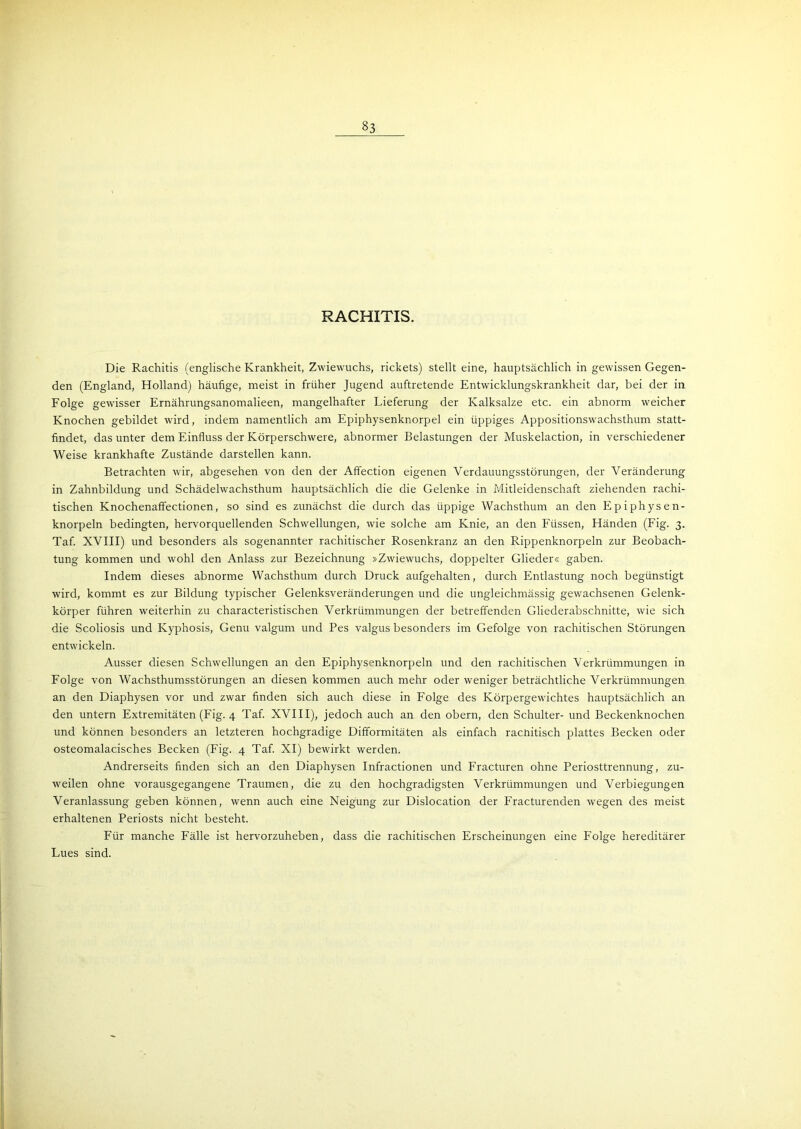 RACHITIS. Die Rachitis (englische Krankheit, Zwiewuchs, rickets) stellt eine, hauptsächlich in gewissen Gegen- den (England, Holland) häufige, meist in früher Jugend auftretende Entwicklungskrankheit dar, bei der in Folge gewisser Ernährungsanomalieen, mangelhafter Lieferung der Kalksalze etc. ein abnorm weicher Knochen gebildet wird, indem namentlich am Epiphysenknorpel ein üppiges Appositionswachsthum statt- findet, das unter dem Einfluss der Körperschwere, abnormer Belastungen der Muskelaction, in verschiedener Weise krankhafte Zustände darstellen kann. Betrachten wir, abgesehen von den der Affection eigenen Verdauungsstörungen, der Veränderung in Zahnbildung und Schädelwachsthum hauptsächlich die die Gelenke in Mitleidenschaft ziehenden rachi- tischen Knochenaffectionen, so sind es zunächst die durch das üppige Wachsthum an den Epiphysen- knorpeln bedingten, hervorquellenden Schwellungen, wie solche am Knie, an den Füssen, Händen (Fig. 3. Taf. XVIII) und besonders als sogenannter rachitischer Rosenkranz an den Rippenknorpeln zur Beobach- tung kommen und wohl den Anlass zur Bezeichnung »Zwiewuchs, doppelter Glieder« gaben. Indem dieses abnorme Wachsthum durch Druck aufgehalten, durch Entlastung noch begünstigt wird, kommt es zur Bildung typischer Gelenksveränderungen und die ungleichmässig gewachsenen Gelenk- körper führen weiterhin zu characteristischen Verkrümmungen der betreffenden Gliederabschnitte, wie sich die Scoliosis und Kyphosis, Genu valgum und Pes valgus besonders im Gefolge von rachitischen Störungen entwickeln. Ausser diesen Schwellungen an den Epiphysenknorpeln und den rachitischen Verkrümmungen in Folge von Wachsthumsstörungen an diesen kommen auch mehr oder weniger beträchtliche Verkrümmungen an den Diaphysen vor und zwar finden sich auch diese in Folge des Körpergewichtes hauptsächlich an den untern Extremitäten (Fig. 4 Taf. XVIII), jedoch auch an den obern, den Schulter- und Beckenknochen und können besonders an letzteren hochgradige Difformitäten als einfach rachitisch plattes Becken oder osteomalacisches Becken (Fig. 4 Taf. XI) bewirkt werden. Andrerseits finden sich an den Diaphysen Infractionen und Fracturen ohne Periosttrennung, zu- weilen ohne vorausgegangene Traumen, die zu den hochgradigsten Verkrümmungen und Verbiegungen Veranlassung geben können, wenn auch eine Neigung zur Dislocation der Fracturenden wegen des meist erhaltenen Periosts nicht besteht. Für manche Fälle ist hervorzuheben, dass die rachitischen Erscheinungen eine Folge hereditärer Lues sind.