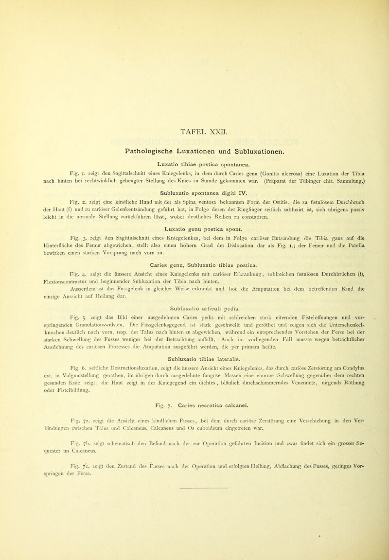 Pathologische Luxationen und Subluxationen. Luxatio tibiae postica spontanea. Fig. i. zeigt den Sagittalschnitt eines Kniegelenks, in dem durch Caries genu (Gonitis ulcerosa) eine Luxation der Tibia nach hinten bei rechtwinklich gebeugter Stellung des Knies zu Stande gekommen war. (Präparat der Tübinger chir. Sammlung.) Subluxatio spontanea digiti IV. Fig. 2. zeigt eine kindliche Hand mit der als Spina ventosa bekannten Form der Ostitis, die zu fistulösem Durchbruch der Haut (f) und zu cariöser Gelenkentzündung geführt hat, in Folge deren der Ringfinger seitlich subluxirt ist, sich übrigens passiv leicht in die normale Stellung zurückführen lässt, wobei deutliches Reiben zu constatiren. Luxatio genu postica spont. Fig. 3. zeigt den Sagittalschnitt eines Kniegelenkes, bei dem in Folge cariöser Entzündung die Tibia ganz auf die Hinterfläche des Femur abgewichen, stellt also einen hohem Grad der Dislocation dar als Fig. 1.; der Femur und die Patella bewirken einen starken Vorsprung nach vorn zu. Caries genu, Subluxatio tibiae postica. Fig. 4. zeigt die äussere Ansicht eines Kniegelenks mit cariöser Erkrankung, zahlreichen fistulösen Durchbrüchen (f), Flexionscontractur und beginnender Subluxation der Tibia nach hinten. Ausserdem ist das Fussgelenk in gleicher Weise erkrankt und bot die Amputation bei dem betreffenden Kind die einzige Aussicht auf Heilung dar. Subluxatio articuli pedis. Fig. 5. zeigt das Bild einer ausgedehnten Caries pedis mit zahlreichen stark eiternden Fistelöffnungen und vor- springenden Granulationswulsten. Die Fussgelenksgegend ist stark geschwellt und geröthet und zeigen sich die Unterschenkel- knochen deutlich nach vorn, resp. der Talus nach hinten zu abgewichen, während ein entsprechendes Vorstehen der Ferse bei der starken Schwellung des Fusses weniger bei der Betrachtung auffällt. Auch im vorliegenden Fall musste wegen beträchtlicher Ausdehnung des cariösen Prozesses die Amputation ausgeführt werden, die per primam heilte. Subluxatio tibiae lateralis. Fig. 6. seitliche Destructionsluxation, zeigt die äussere Ansicht eines Kniegelenks, das durch cariöse Zerstörung am Condylus ext. in Valgumstellung gerathen, im übrigen durch ausgedehnte fungöse Massen eine enorme Schwellung gegenüber dem rechten gesunden Knie zeigt; die Haut zeigt in der Kniegegend ein dichtes, bläulich durchschimmerndes Venennetz, nirgends Röthung oder Fistelbildung. Fig. 7. Caries necrotica calcanei. Fig. 7a. zeigt die Ansicht eines kindlichen Fusses, bei dem durch cariöse Zerstörung eine Verschiebung in den Ver- bindungen zwischen Talus und Calcaneus, Calcaneus und Os cuboideum eingetreten war. Fig. 7b. zeigt schematisch den Befund nach der zur Operation geführten Incision und zwar findet sich ein grosser Se- quester im Calcaneus. Fig. 7c. zeigt den Zustand des Fusses nach der Operation und erfolgten Heilung, Abflachung des Fusses, geringes Vor- springen der Ferse.