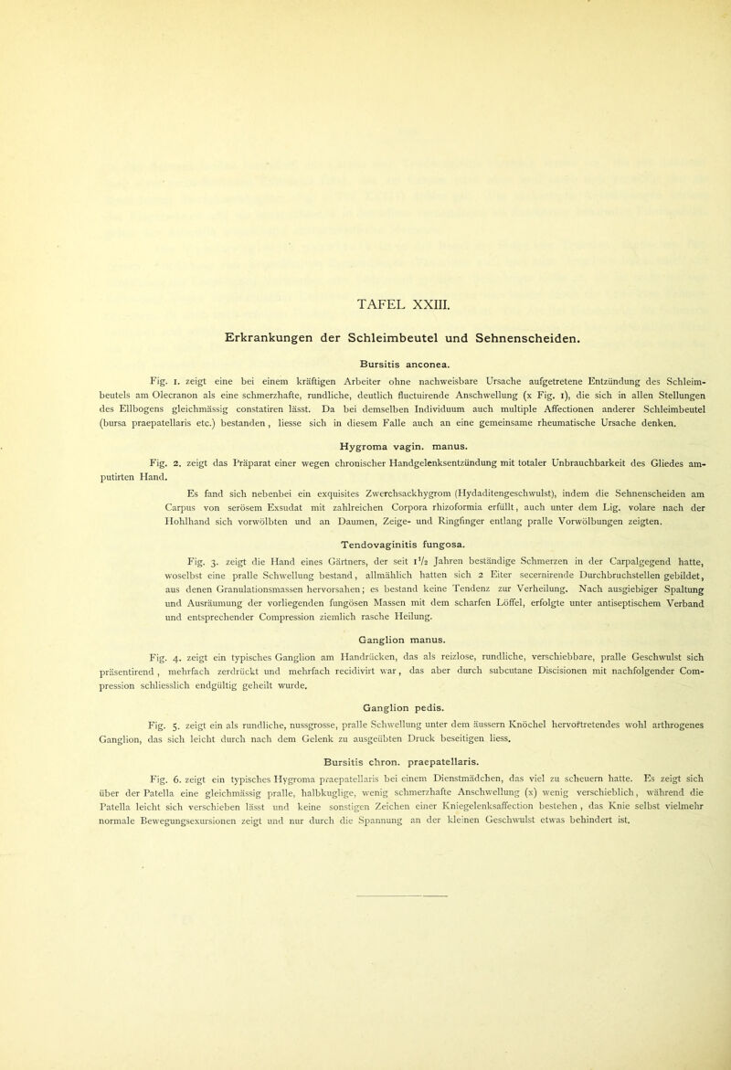 Erkrankungen der Schleimbeutel und Sehnenscheiden. Bursitis anconea. Fig. i. zeigt eine bei einem kräftigen Arbeiter ohne nachweisbare Ursache aufgetretene Entzündung des Schleim- beutels am Olecranon als eine schmerzhafte, rundliche, deutlich fluctuirende Anschwellung (x Fig. i), die sich in allen Stellungen des Ellbogens gleichmässig constatiren lässt. Da bei demselben Individuum auch multiple Affectionen anderer Schleimbeutel (bursa praepatellaris etc.) bestanden , liesse sich in diesem Falle auch an eine gemeinsame rheumatische Ursache denken. Hygroma vagin. manus. Fig. 2. zeigt das Präparat einer wegen chronischer Handgelenksentzündung mit totaler Unbrauchbarkeit des Gliedes am- putirten Hand. Es fand sich nebenbei ein exquisites Zwerchsackhygrom (Hydaditengeschwulst), indem die Sehnenscheiden am Carpus von serösem Exsudat mit zahlreichen Corpora rhizoformia erfüllt, auch unter dem Lig. volare nach der Hohlhand sich vorwölbten und an Daumen, Zeige- und Ringfinger entlang pralle Vorwölbungen zeigten. Tendovaginitis fungosa. Fig. 3. zeigt die Hand eines Gärtners, der seit 1V2 Jahren beständige Schmerzen in der Carpalgegend hatte, woselbst eine pralle Schwellung bestand, allmählich hatten sich 2 Eiter secernirende Durchbruchstellen gebildet, aus denen Granulationsmassen hervorsahen; es bestand keine Tendenz zur Verheilung. Nach ausgiebiger Spaltung und Ausräumung der vorliegenden fungösen Massen mit dem scharfen Löffel, erfolgte unter antiseptischem Verband und entsprechender Compression ziemlich rasche Heilung. Ganglion manus. Fig. 4. zeigt ein typisches Ganglion am Handrücken, das als reizlose, rundliche, verschiebbare, pralle Geschwulst sich präsentirend , mehrfach zerdrückt und mehrfach recidivirt war, das aber durch subcutane Discisionen mit nachfolgender Com- pression schliesslich endgültig geheilt wurde. Ganglion pedis. Fig. 5. zeigt ein als rundliche, nussgrosse, pralle Schwellung unter dem äussern Knöchel hervortretendes wohl arthrogenes Ganglion, das sich leicht durch nach dem Gelenk zu ausgeübten Druck beseitigen liess. Bursitis chron. praepatellaris. Fig. 6. zeigt ein typisches Hygroma praepatellaris bei einem Dienstmädchen, das viel zu scheuern hatte. Es zeigt sich über der Patella eine gleichmässig pralle, halbkuglige, wenig schmerzhafte Anschwellung (x) wenig verschieblich, während die Patella leicht sich verschieben lässt und keine sonstigen Zeichen einer Kniegelenksaffection bestehen , das Knie selbst vielmehr normale Bewegungsexursionen zeigt und nur durch die Spannung an der kleinen Geschwulst etwas behindert ist.