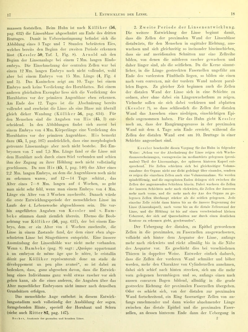 niaassen feststellen. Beim Huhn ist nach Kölliker (56, pag. 632) die Linsenblase ahgeschnürt am Ende des dritten Bi'uttages. Damit in Uebereinstiinmiing befindet sich die Abbildung eines 3 Tage und 7 Stunden bebrüteten Eies, welches bereits den Beginn der zweiten Periode erkennen lässt (Kessler 50, Taf. I, Fig. 8). Arnold sah den Beginn der Linsenanlage bei einem 7 Mm. langen Einds- embryo. Die Einschmelzung der centralen Zellen war bei einem 12 Mm. langen Embryo noch nicht vollendet, wohl aber bei einem Embryo von 15 Mm. Länge (4, Fig. 4 und 5). Das Kaninchen zeigt am 10. Tage bei einem Embryo noch keine Yerdickung des Hornblattes. Bei einem anderen gleichalten Exemplar Hess sich die Yerdickung des Hornblattes vor der primären Augenblase eben erkennen. Am Ende des 12. Tages ist die Abschnürung bereits vollendet und erscheint die Linse als eine Blase mit überall gleich dicker Wandung (Kölliker 56, pag. 634). Für den Menschen sind die Angaben von His (45, I) ent- scheidend. In den Abbildungen findet sich zuerst bei einem Embryo von 4 Mm. Körperlänge eine Yerdickung des Hornblattes vor der primären Augenblase. His bemerkt dazu (45, I, pag. 107) ausdrücklich, dass eine morphologisch getrennte Linsenanlage aber noch nicht bestehe. Bei-Em- bryonen von 7 und 7,5 Mm. Länge fand er die Linse mit dem Hornblatt noch durch einen Stiel verbunden und schien ihm der Zugang zu ihrer Höhlung noch nicht vollständig geschlossen. Da nun Plis (45, I, pag. 140) das Alter eines 2,2 Mm. langen Embryo, an dem die Augenblasen noch nicht zu erkennen waren, auf 12 —14 Tage schätzt, das Alter eines 7—8 Mm. langen auf 4 Wochen, so geht man nicht sehr fehl, wenn man einem Embryo von 4 Mm. Länge ein Alter von 3 Wochen zuschreibt. Danach würde die erste Entwicklungsperiode der menschlichen Linse im Laufe der 4. Lebenswoche abgeschlossen sein. Die Amr- hin angeführten Angaben von Kessler und v. Bam- beke stimmen damit ziemlich überein. Ebenso die Beob- achtung von Kölliker (56, pag. 637), der bei einem Em- bryo, dem er ein Alter von 4 Wochen zuschreibt, die Linse in einem Zustande fand, der dem einer eben abge- schnürten Linse bei Säugethieren entspricht. Eine äussere Ausmündung der Linsenhöhle war nicht mehr vorhanden. W enn v. Bambeke (pag. 9) sagt: „Quoique appartenant ä un embryon de meme äge que le notre, le cristallin decrit par Kölliker representerait donc un stade de developpement un peu plus avahce“, so ist dabei zu bedenken, dass, ganz abgesehen davon, dass die Entwick- lung eines Individuums ganz wohl etwas rascher vor sich gehen kann, als die eines anderen, die Angaben über das Alter menschlicher Embryonen nicht immer nach denselben Grundsätzen erfolgen. Das menschliche Auge entbehrt in diesem Entwick- lungsstadium noch vollständig der Ausbildung der sogen, formgebenden Häute, speciell der Hornhaut und Sclera (siehe auch Kitter 82, pag. 147). Becker, Anatomie der gesunden und kranken Linse. 2. Zweite Periode der L i n s e n e n t av i ck 1 u n g. Die weitere EntAvicklung der Linse beginnt damit, dass die Zellen der proximalen Wand der Linsenblase distahvärts, für den Menschen in sagittaler Richtung, aus- Avachsen und sich gleichzeitig so ineinander hineinschieben, dass sie auf meridionalen Schnitten nur eine Zellreihe bilden, von denen die mittleren rascher gCAvachsen und daher länger sind, als die seitlichen. Da die Kerne säinint- licher, in die Länge gestreckten Faserzellen ungefähr am Ende des vordersten Fünftheils liegen, so bilden sie einen nach vorn convexen, mit der vordem AVand nahezu paral- lelen Bogen. Zu gleicher Zeit beginnen auch die Zellen der distalen Wand der Linse sich in eine Schichte zu ordnen, aber ohne dabei ein LängeiiAvachsthum zu zeigen. Yielmehr sollen sie sich dabei verkürzen und abplatten (Kessler ?), so dass schliesslich die Zellen der distalen AYand das Aussehen eines niedrigen, einschichtigen Epi- thels angenommen haben. Für das Huhn giebt Kessler noch an, dass der Rangirungsprozess in der proximalen AYand mit dem 4. Tage sein Ende erreicht, während die Zellen der distalen Wand erst am 10. Bruttage in einer Schichte angeordnet sind. Kessler beschreibt diesen Yorgang für das Huhn in folgender Weise: ..Schon vor der Abschnürung der Linse zeigen sich Wachs- tlmmserscheinungen, vorzugsweise im medianwärts gelegenen (proxi- malen) Theil der Linsenanlage, der späteren hinteren Kapsel ent- sprechend. Die Zellen schichten sich bei gleichzeitiger Volums- zunahme des Organs nicht nur dicht gedrängt über einander, sondern es zeigen die einzelnen Zellen auch eine Volumszunahme. Sie werden spindelförmig, und die zuge.spitzten Enden drängen sich zwischen die Zellen der angrenzenden Schichten hinein. Dabei wachsen die Zellen der inneren Schichten mehr nach rückwärts, die Zellen der äusseren mehr nach vorne, und die mehr nach der Axe des Organs zu ge- legenen Zellen überhaupt stärker als die seitlich gelegenen. Jede einzelne Zelle reicht dann hinten bis an die äussere Begrenzung der Linse (Linsenkapsel), nach vorne bis an die distale Zellenwand der Linse, und die Höhlung ist bis auf einen verschwindend kleinen Ueberrest, der sich auf Querschnitten nur durch einen deutlichen Kontour zu erkennen giebt, geschwunden“. Der LTebergang der distalen, zu Epithel gewordenen Zellen in die proximalen, zu Paserzellen ausgeAvaclisenen, vollzieht sich hinter dem Aeqiiator der Linse, anfangs mehr nach rückwärts und rückt allmälig bis in die Nähe des Aequator vor. Es geschieht dies bei verschiedenen Thieren in doppelter AYeise. Entweder einfach dadurch, dass die Zellen der vorderen AYand schmäler und höher werden, mehr den Charakter von Cylinderzellen annehmen, dabei sich schief nach hinten strecken, sich um die mehr vorn gelegenen herumbiegen und so, anfangs einen nach aussen concaven Bogen bildend, allmälig in die grade gestreckte Richtung der proximalen Faserzellen übergehen. Oder es schiebt sich, von der distalen zur proximalen AYand fortschreitend, ein Ring faserartiger Zellen von an- fangs zunehmender und dann Avieder abnehmender Länge zAAUschen das distale Epithel und die proximalen Faser- zellen, an dessen hinterem Ende dann der LTebergang in