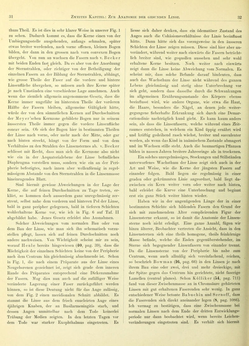 thum Theil. Es ist dies in sehr klarer Weise in unserer Fig. 1 zu sehen. Dadurch kommt es, dass die Kerne einen von der Umbiegungsstelle ausgehenden, anfangs schmalen, später etwas breiter werdenden, nach vorne offenen, kleinen Bogen bilden, der dann in den grossen nach vorn convexen Bogen übergeht. Von nun an wachsen die Fasern nach v. Becker mit beiden Enden fast gleich. Da es aber von der Anordnung der Sternstrahlen, oder richtiger von der Betheiligung der einzelnen Fasern an der Bildung der Sternstrahlen, abhängt, wie grosse Theile der Faser auf die vordere und hintere Linsenffäche übergehen, so müssen auch ihre Kerne später je nach Umständen eine verschiedene Lage annehmeii. Auch wenn das ziemlich allgemein angenommene Gesetz, dass die Kerne immer ungefähr im hintersten Theile der vorderen Hälfte der Fasern bleiben, allgemeine Gültigkeit hätte, würde der von den sämmtlichen Kernen auf Durchschnitten der Meyer’schen Kernzone gebildete Bogen nur in seinem äussersten Theile immer gegen die vordere Linsenfläche concav sein. Ob sich der Bogen hier in bestimmten Theifen der Linse nach vorne, oder mehr nach der Mitte, oder gar nach hinten streckt, hängt von der Form und von dem Verhältniss zu den Strahlen des Linsensternes ab. v. Becker schliesst mit Recht, dass man sich die Kernzone also nicht wie ein in der Aequatorialebene der Linse befindliches Diaphragma vorstellen muss, sondern wie ein an der Peri- pherie befestigtes, nach innen aber wellenförmig in regel- mässigem Abstande von den Sternstrahlen in die Linsenmasse hineinragendes Blatt. Sind hiermit gewisse Abweichungen in der Lage der Kerne, die auf feinen Durchschnitten zu Tage treten, er- klärt, so kommen doch ausserdem ganz unregelmässig zer- streut, selbst nahe dem vorderen und hinteren Pol der Linse, bald in ganz peripher gelegenen, bald in tieferen Schichten wohlerhaltene Kerne vor, wie ich in Fig. 6 auf Taf. II abgebildet habe. Jenes Gesetz erleidet also Ausnahmen. Solcher Abweichungen vom normalen Bau oder von dem Bau der Linse, wie man sich ihn schematisch vorzu- stellen pflegt, lassen sich auf feinen Durchschnitten noch andere nachw'eisen. Von AVichtigkeit scheint mir zu sein, worauf H e n 1 e bereits hingewdesen (40, pag. 39), dass die Mächtigkeit der einzelnen Schichten keine von der Peripherie nach dem Centrum hin gleichmässig abnehmende ist. Schon in Fig. 1, die nach einem Präparate aus der Linse eines Neugeborenen gezeichnet ist, zeigt sich grade dem inneren Rande des Präparates entsprechend eine Dickenzunahme der Fasern. Mag dies nun auch auf die zufälliger AVeise veränderte Lagerung einer Faser zurückgeführt werden können, so ist diese Deutung nicht für das Auge zulässig, von dem Fig. 2 einen meridionalen Schnitt abbildet. Es stammt die Linse aus dem frisch enucleirten Auge eines 4jährigen Knaben, der an Basilarmeningitis starb, und dessen Augen unmittelbar nach dem Tode keinerlei Trübung der Medien zeigten. In den letzten Tagen vor dem Tode war starker Exophthalmus eingetreten. Es Hesse sich daher denken, dass ein ödematöser Zustand des Auges auch die Cohäsionsverhältnisse der Linse beeinflusst hätte. Dann hätte sich das vorzugsweise in den äusseren Schichten der Linse zeigen müssen. Diese sind hier aber un- verändert, während weiter nach einwärts die Fasern beträcht- lich breiter sind, wie gequollen aussehen und sehr wmhl erhaltene Kerne besitzen. Noch weiter nach einwärts zeigt dann die Linse keine Abweichung vom Normalen. Es scheint mir, dass solche Befunde darauf hindeuten, dass auch das AVachsthum der Linse nicht während des ganzen Lebens gleichmässig und stetig ohne Unterbrechung vor sich geht, sondern dass dasselbe durch die Schwankungen im allgemeinen Ernährungszustände des Körpers ebenso beeinflusst wird, wie andere Organe, wie etwa die Flaut, die Haare, besonders die Nägel, an denen jede weiter- gegangene fieberhafte Erkrankung sich durch eine Demar- cationslinie nachträglich kund giebt. Es kann kaum anders sein, als dass die Linsenfasern, welche während eines Zeit- raumes entstehen, in welchem ein Kind üppig ernährt wird , und kräftig gedeihend rasch wächst, breiter und succulenter werden, als wmnn das Kind in anämischem Zustande abmagert und imAVachsen stille steht. Auch die baumartigen Pflanzen bilden in nassen Jahren breitere Jahresringe als in trockenen. Ein solches unregelmässiges, Stockungen und Stillständen unterworfenes AVachsthum der Linse zeigt sich auch in der Art und AVeise, wie die Kerne der jüngsten Fasern auf einander folgen. Bald liegen sie regelmässig in einer graden oder gekrümmten Linie angeordnet, bald liegt da- zwischen ein Kern wmiter vorn oder weiter nach hinten, bald erleidet die Kurve eine Unterbrechung und beginnt erst ein ganz Stück weiter hinten wieder. Haben wir in der ungenügenden Länge der in einer bestimmten Schichte sich bildenden Fasern den Grund der sich mit zunehmendem Alter complicirenden Figur der Linsensterne erkannt, so ist damit die Anatomie der Linsen- sterne noch nicht erledigt. Eine ganze Anzahl, fügen wir hinzu älterer, Beobachter vertreten die Ansicht, dass in den Linsensternen sich eine theils homogene, theils feinkörnige Masse befinde, welche die Enden gegenüberstehender, im Sterne sich begegnender Linsenfasern von einander trennt. Da die Linsensterne von der Peripherie bis nahe zum Centrum, wenn auch allmälig sich vereinfachend, reichen, so beschrieb Bowman (16, pag. 66) in den Linsen je nach ihrem Bau eme oder zwei, drei und mehr dreieckige, mit der Spitze gegen das Centrum hin gerichtete, nicht faserige Lamellen (central planes). Schon Kölliker (54, pag. 711) fand von dieser Zwischenmasse an in Chromsäure gehärteten Linsen mit gut erhaltenen Faserenden sehr wenig. In ganz entschiedener AVeise betonte Babuchin und Sernoff, dass die Faserenden sich direkt aneinander legen (8, pag. 1086). Ich vermag zu bestätigen, dass eine Zwischenmasse bei normalen Linsen nach dem Ende der dritten Entwicklungs- periode nur dann beobachtet wird, wenn bereits Leichen- veränderungen eingetreten sind. Es verhält sich hiermit