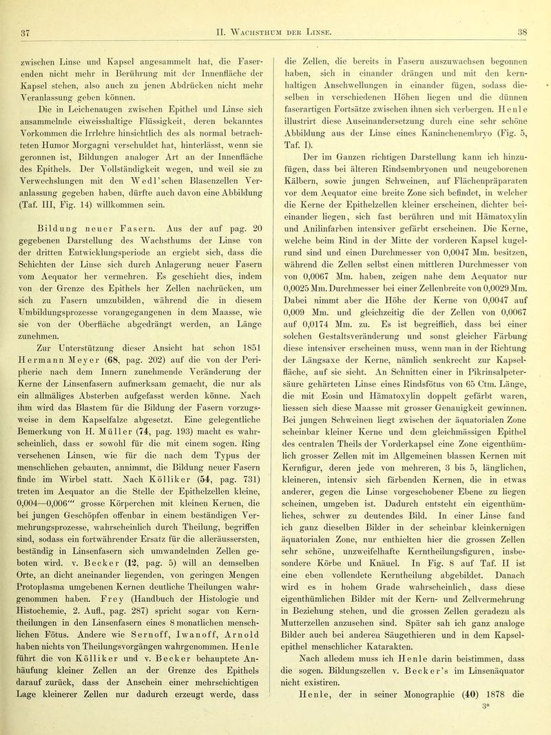 zwischen Linse und Kapsel angesaminelt hat, die Faser- enden nicht mehr in Berülirung mit der Innenfläche der Kapsel stehen, also auch zu jenen Abdrücken nicht mehr Yeranlassung geben können. Die in Leichenaugen zwischen Epithel und Linse sich ansammelnde eiweisshaltige Flüssigkeit, deren bekanntes Vorkommen die Irrlehre hinsichtlich des als normal betrach- teten Humor Morgagni verschuldet hat, hinterlässt, wenn sie geronnen ist, Bildungen analoger Art an der Innenfläche des Epithels. Der Vollständigkeit wegen, und weil sie zu Verw'echslungen mit den Wedl’sehen Blasenzellen Ver- anlassung gegeben haben, dürfte auch davon eine Abbildung (Taf. III, Fig. 14) willkommen sein. Bildung neuer Fasern. Aus der auf pag. 20 gegebenen Darstellung des Wachsthums der Linse von der dritten Entwicklungsperiode an ergiebt sich, dass die Schichten der Linse sich durch Anlagerung neuer Fasern vom Aequator her vermehren. Es geschieht dies, indem von der Grenze des Epithels her Zellen nachrücken, um sich zu Fasern umzubilden, während die in diesem XJmbildungsprozesse vorangegangenen in dem Maasse, wie sie von der Oberfläche abgedrängt werden, an Länge zunehmen. Zur Unterstützung dieser Ansicht hat schon 1851 Hermann Meyer (68, pag. 202) auf die von der Peri- pherie nach dem Innern zunehmende Veränderung der Kerne der Linsenfasern aufmerksam gemacht, die nur als ein allmäliges Absterben aufgefasst werden könne. Nach ihm wird das Blastem für die Bildung der Fasern vorzugs- weise in dem Kapselfalze abgesetzt. Eine gelegentliche Bemerkung von H. Müller (74, pag. 193) macht es wahr- scheinlich, dass er sowohl für die mit einem sogen. King versehenen Linsen, wie für die nach dem Typus der menschlichen gebauten, annimmt, die Bildung neuer Fasern finde im Wh-bel statt. Nach Kölliker (54, pag. 731) treten im Aequator an die Stelle der Epithelzellen kleine, 0,004—0,006' grosse Körperchen mit kleinen Kernen, die bei jungen Geschöpfen offenbar in einem beständigen Ver- mehrungsprozesse, wahrscheinlich durch Theilung, begriffen sind, sodass ein fortwährender Ersatz für die alleräussersten, beständig in Linsenfasern sich umwandelnden Zellen ge- boten wird. V. Becker (12, pag. 5) will an demselben Orte, an dicht aneinander liegenden, von geringen Mengen Protoplasma umgebenen Kernen deutliche Theilungen wahi’- genommen haben. Frey (Handbuch der Histologie und Histochemie, 2. Auf!., pag. 287) spricht sogar von Kern- theilungen in den Linsenfasern eines 8 monatlichen mensch- lichen Fötus. Andere wie Sernoff, Iwanoff, Arnold haben nichts von Theilungsvorgängen wahrgenommen. He nie führt die von Kölliker und v. Becker behauptete An- häufung kleiner Zellen an der Grenze des Epithels darauf zurück, dass der Anschein einer mehrschichtigen Lage kleinerer Zellen nur dadurch erzeugt werde, dass die Zellen, die bereits in Fasern auszuwachsen begonnen haben, sich in einander drängen und mit den kern- haltigen Anschwellungen in einander fügen, sodass die- selben in verschiedenen Höhen liegen und die dünnen faserartigen Fortsätze zwischen ihnen sich verbergen. He nie illustrirt diese Auseinandersetzung durch eine sehr schöne Abbildung aus der Linse eines Kaninchenembryo (Fig. 5, Taf. I). Der im Ganzen richtigen Darstellung kann ich hinzu- fügen, dass bei älteren Rindsembryonen und neugeborenen Kälbern, sowie jungen Schweinen, auf Flächenpräparaten vor dem Aequator eine breite Zone sich befindet, in welcher die Kerne der Epithelzellen kleiner erscheinen, dichter bei- einander liegen, sich fast berühren und mit Hämatoxylin und Anilinfarben intensiver gefärbt erscheinen. Die Kerne, welche beim Rind in der Mitte der vorderen Kapsel kugel- rund sind und einen Durchmesser von 0,0047 Mm. besitzen, während die Zellen selbst einen mittleren Durchmesser von von 0,0067 Mm. haben, zeigen nahe dem Aequator nur 0,0025 Mm. Durchmesser bei einer Zellenbreite von 0,0029 Mm. Dabei nimmt aber die Höhe der Kerne von 0,0047 auf 0,009 Mm. und gleichzeitig die der Zellen von 0,0067 auf 0,0174 Mm. zu. Es ist begreiflich, dass bei einer solchen Gestaltsveränderung und sonst gleicher Färbung diese intensiver erscheinen muss, wenn man in der Richtung der Längsaxe der Kerne, nämlich senkrecht zur Kapsel- fläche, auf sie sieht. An Schnitten einer in Pikrinsalpeter- säure gehärteten Linse eines Rindsfötus von 65 Ctm. Länge, die mit Eosin und Hämatoxylin doppelt gefärbt waren, Hessen sich diese Maasse mit grosser Genauigkeit gewinnen. Bei jungen Schweinen liegt zwischen der äquatorialen Zone scheinbar kleiner Kerne und dem gleichmässigen Epithel des centralen Theils der Vorderkapsel eine Zone eigenthüm- lich grosser Zellen mit im Allgemeinen blassen Kernen mit Kernfigur, deren jede von mehreren, 3 bis 5, länglichen, kleineren, intensiv sich färbenden Kernen, die in etwas anderer, gegen die Linse vorgeschobener Ebene zu liegen scheinen, umgeben ist. Dadurch entsteht ein eigenthüm- liches, schwer zu deutendes Bild. In einer Linse fand ich ganz dieselben Bilder in der scheinbar kleinkernigen äquatorialen Zone, nur enthielten hier die grossen Zellen sehr schöne, unzweifelhafte Kerntheilungsfiguren, insbe- sondere Körbe und Knäuel. In Fig. 8 auf Taf. II ist eine eben vollendete Kerntheilung abgebildet. Danach wird es in hohem Grade wahrscheinlich, dass diese eigenthümlichen Bilder mit der Kern- und Zellvermehrung in Beziehung stehen, und die grossen Zellen geradezu als Mutterzellen anzusehen sind. Später sah ich ganz analoge Bilder auch bei anderen Säugethieren und in dem Kapsel- epithel menschlicher Katarakten. Nach alledem muss ich Henle darin beistimmen, dass die sogen. Bildungszellen v. B e c k e r ’ s im Linsenäquator nicht existiren. Henle, der in seiner Monographie (40) 1878 die 3*