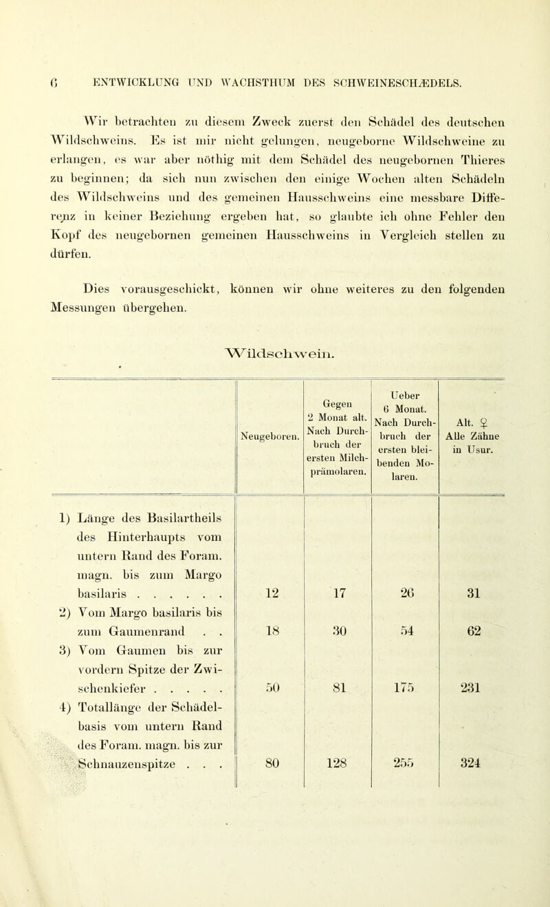 Wir betrixchteu zu diesem Zweck zuerst den Schädel des deutschen Wildschweins. Es ist mir nicht gehmgen, nengeborue Wildschweine zu erlangen, es wai- aber nöthig mit dem Schädel des ueugebornen Thieres zu beginnen; da sich nun zwischen den einige Wochen alten Schädeln des Wildschweins und des gemeinen Hansschweins eine messbare Ditfe- renz in keiner Beziehung ergeben bat, so glaubte ich ohne Fehler den Kopf des nengebornen gemeinen Hansschweins in Vergleich stellen zu dürfen. Dies vorausgescbickt, können wir ohne weiteres zu den folgenden Messungen übergehen. W ildscliwein. Neugeboren. Gegen 2 Monat alt. Nach Durch- bruch der ersten Milch- prämolaren. U eher 6 Monat. Nach Durch- bruch der ersten blei- benden Mo- laren. Alt. ? Alle Zähne in Usur. 1) Länge des Basilartheils des Hinterhaupts vom untern Rand des Foram. magn. bis zum Margo basilaris 12 17 26 31 *2) Vom Margo basilaris bis zum Ganmenrand . . 18 30 54 62 3) Vom Ganmen bis zur vordem Spitze der Zwi- schenkiefer öO 81 175 231 4) Totallänge der Schädel- basis vom untern Rand lies Foram. magn. bis zur Schnanzenspitze . . . 80 128 255 324