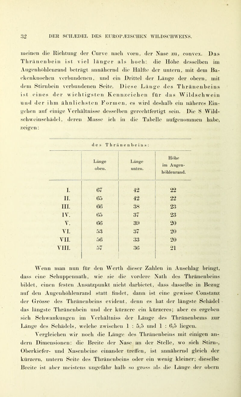 meinen die Riclitung' der Cnrve nach vorn, der Nase zu, convex. Das Thräncubein ist viel länger als hoch: die Höhe desselben im Allgenhöhlenrand beträgt annähernd die Hälfte der untern, mit dem Ba- ckenknochen verbundenen, und ein Drittel der Länge der obern, mit dem Stirnbein verbundenen Seite. Diese Länge des Thränenbeins ist eines der wichtigsten Kennzeichen für das Wildschwein und der ihm ähnlichsten Formen, es wird deshalb ein näheres Ein- gehen auf einige Verhältnisse desselben gerechtfertigt sein. Die 8 Wild- schweinschädel, deren Masse ich in die Tabelle aufgenommeu habe, zeigen: des T li r ii n e n b e i ii .s ; Länge oben. Länge unten. Höhe ini Augen- höhlenrand. I. 67 42 22 II. 65 42 22 III. 66 38 23 IV. 65 37 23 V. 66 31) 20 VI. 56 37 20 VII. 56 33 20 VIII. 57 36 21 Wenn man nun für den Werth dieser Zahlen in Anschlag bringt, dass eine Schuppennath, wie sie die vordere Nath des Thränenbeins bildet, einen festen Ansatzpunkt nicht darhietet, dass dasselbe in Bezug auf den Augenhöhlenrand statt tindet, dann ist eine gewisse Constanz der Grösse des Thränenbeins evident, denn es hat der längste Schädel das längste Thränenhein und der kürzere ein kürzeres; aber es ergehen sich Schwankungen im Verhältniss der Ijänge des Tln-änenheins zur Länge des Schädels, welche zwischen 1 : 5,5 und 1 : 6,5 liegen. Vergleichen wir noch die Länge des Thränenbeins mit einigen an- dern Dimensionen: die Breite der Nase an der Stelle, wo sich Stirn-, Ohei'kicfer- und Nasenbeine einander trelfen, ist annähernd gleich der kürzern, untern Seite des Thränenbeins oder ein w'enig kleiner; dieselbe Breite ist aber nudstens ungefähr halb so gross als die Länge der ohern