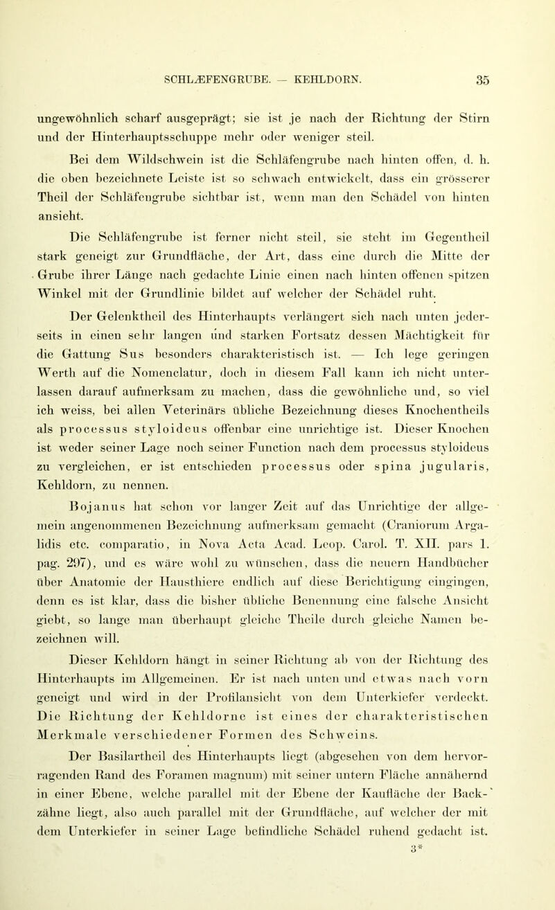 ungewöhnlich scharf ausgeprägt; sie ist je nach der Richtung der Stirn und der Hinterhauptsschuppe mehr oder weniger steil. Bei dem Wildschwein ist die Schläfengrube nach hinten offen, d. h. die oben bezeichnete Leiste ist so schwach entwickelt, dass ein grösserer Theil der Schläfeiigrube sichtbar ist, wenn man den Schädel von binten ansieht. Die Schläfengrube ist ferner nicht steil, sie steht im Gegentheil stark geneigt zur Grundfläche, der Art, dass eine durcb die Mitte der Grube ihrer Länge nach gedachte Linie einen nach binten offenen spitzen Winkel mit der Grundlinie bildet auf welcber der Scbädel rubt. Der Gelenktheil des Hinterhaupts verlängert sich nach unten jeder- seits in einen sehr langen ilnd starken Fortsatz dessen Mächtigkeit für die Gattung Sus besonders charakteristisch ist. — Ich lege geringen Werth auf die Nomenclatur, doch in diesem Fall kann ich nicht unter- lassen darauf aufmerksam zu machen, dass die gewöhnliche und, so viel ich weiss, bei allen Yeterinärs üblicbe Bezeichnung dieses Knochentheils als processus styloideus offenbar eine unrichtige ist. Dieser Knochen ist weder seiner Lage noch seiner Function nach dem processus styloideus zu vergleichen, er ist entschieden processus oder spina jugularis. Kehldorn, zu nennen. Bojanus hat schon vor langer Zeit auf das Unrichtige der allge- mein angenommenen Bezeichnung aufmei'ksam gemacht (Graniorum Arga- lidis etc. comparatio, in Nova Acta Acad. Leop. Caiul. T. XII. pars 1. pag. 21)7), und cs wäre wohl zu wünseben, dass die neuern Handbücher über Anatomie der Haustbierc endlich auf diese Berichtigung eingingen, denn es ist klar, dass die bisher tiblicbe Benennung eine falsche Ansicht giebt, so lange man überhaupt gleiche Theilo durcb gleiche Namen be- zeichnen will. Dieser Kebldorn hängt in seiner Richtung ab von der Richtung des Hinterhaupts im Allgemeinen. Er ist nach unten und etwas nach vorn geneigt und wird in der Frofilansiebt von dem Unterkiefer verdeckt. Die Ricbtiiug der Kebldorne ist eines der charakteristischen Merkmale verschiedener Formen des Schweins. Der Basilarthcil des Hinterhaupts liegt (abgesehen von dem hervor- ragenden Rand des Foramen magnum) mit seiner untern Fläche annähernd in einer Ebene, welche ])arallcl mit der Ebene der Kaulläcbe der Back-' zähne liegt, also auch parallel mit der Grundfläche, auf welcher der mit dem Unterkiefer in seiner Lage befindliche Schädel ruhend geilacbt ist. 3*