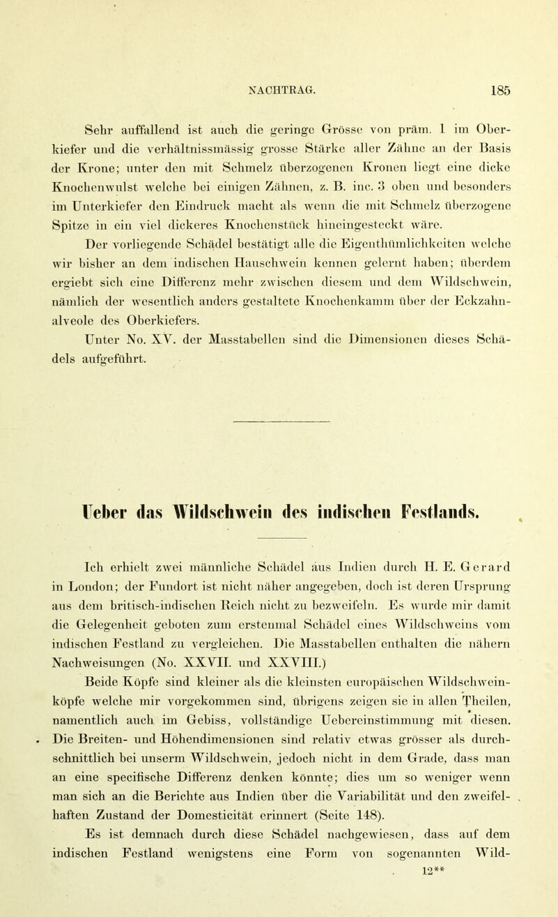 Sehr anfallend ist auch die geringe Grösse von präm. 1 im Ober- kiefer und die verhältnissmässig grosse Stärke aller Zähne an der Basis der Krone; unter den mit Schmelz überzogenen Kronen liegt eine dicke Knochcnwnlst welche hoi einigen Zähnen, z. B. inc. 3 oben und besonders im Unterkiefer den Eindruck macht als wenn die mit Schmelz überzogene Spitze in ein viel dickeres Knochenstück hineingesteckt wäre. Der vorliegende Schädel bestätigt alle die Eigenthümlichkeiten welche wir bisher an dem indischen HanschAvein kennen gelernt haben; üherdem ergieht sich eine Differenz mehr zAvischen diesem und dem WildschAvein, nämlich der Avesentlich anders gestaltete Knochenkamm über der Eckzahn- alveole des Oberkiefers. Unter No. XV. der Masstahellen sind die Dimensionen dieses Schä- dels anfgeführt. Ueber das Wildschwein des iiidischeii Fesflaiids. Ich erhielt ZAvei männliche Schädel ans Indien durch H. E. Gerard in London; der Fundort ist nicht näher angegeben, doch ist deren Urspiauig ans dem britisch-indischen Beich nicht zu bezAveifeln. Es Avnrde mir damit die Gelegenheit geboten zum erstenmal Schädel eines WildscliAveins vom indischen Festland zu vergleichen. Die Masstahellen enthalten die nähern Nachweisungen (No. XXVII. und XXVIII.) Beide Köpfe sind kleiner als die kleinsten europäischen WildscliAvein- köpfe welche mir vorgekommen sind, übrigens zeigen sie in allen Theilen, namentlich auch im Gebiss, vollständige Uebereinstimmnng mit diesen. Die Breiten- und Höhendimensionen sind relativ etwas grösser als durch- schnittlich bei unserm WildschAvein, jedoch nicht in dem Grade, dass man an eine specilische Differenz denken könnte; dies um so weniger Avenn man sich an die Berichte aus Indien über die Variabilität und den ZAveifel- haften Zustand der Domesticität erinnert (Seite 148). Es ist demnach durch diese Schädel nachgewieseu, dass auf dem indischen Festland wenigstens eine Form von sogenannten Wild- 12**