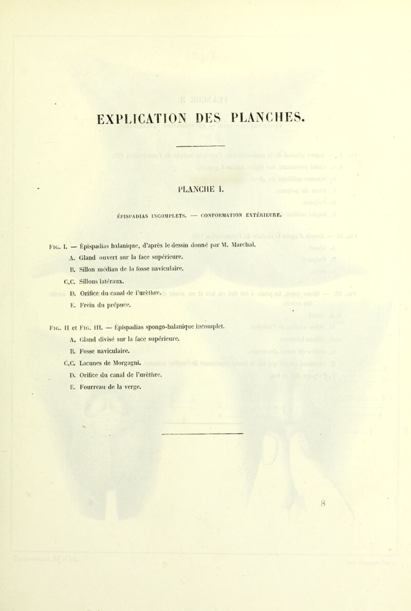 EXPLICATION DES PLANCHES PLANCHE I. ÉPISl’ADIAS INCOMPLETS. — CONFORMATION EXTÉRIEURE. Fig. I. — Épispaclias balaniquc, d’après le dessin donné par M. Marchai. A. Gland ouvert sur la face supérieure. B. Sillon médian de la fosse naviculaire. C,C. Sillons latéraux. 1). Orifice du canal de l’urèthre. E. Frein du prépuce. Fig. II et Fig. IN. — Épispadias spongo-balaniqueincomplet. A. Gland divisé sur la face supérieure. B. Fosse naviculaire. C,C. Lacunes de Morgagni. D. Orifice du canal de l’urèthre. E. Fourreau de la verge.