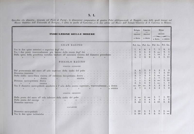 Specchio che dimostra, misurate col Piede di Parigi, le dimensioni comparative di quattro Pelvi obhlique-ovali di Naegele', una delle quali trovasi nel Museo Ostetrico dell’ Università di Bologna, V altra in quello di Camerino, e le due ultime nel Museo delV Istituto Ostetrico di S. Caterina in Milano. IiìIDlCAZIOIVE DEI.LE MISURE Bologna sinostosi a destra Camerino sinoslosi a destra Mi sino a destra ano stosi a sinistra GRAN BACINO Poi. lin. Poi. lin. Poi. lin. Poi. lin. Tra le due spine anteriori e superiori degl’ ilei 7. 6 8. 4 7. 5 8. 4 Tra i due punti trasversalmente più lontani delle creste degl’ ilei 7. 9 8. 3 9. — 9. 5 Dalla spina della penultima vertebra lombare all’ estremità sinistra del diametro precedente 5. 2 5. 8 5. 10 5. 4 » » » » » destra » » 1 3. 9 4. 6 5. 11 PICCOLO BACINO STRETTO SUPERIORE Dal promontorio del sacro all’ orlo superiore della sinfisi del pube 3. 6 3. 3 4. 2 4. 2 Diametro trasverso 3. 5 3. 1 3. 4 3. 10 Dalla sinfisi sacro-iliaca sinistra all’ eminenza ileo-pettinea destra 2. 5 2. 9 3. — 4. 10 » )) destra » » sinistra 4. 1 4. 2 4. 7 3. — Distanza sacro-pettinea destra 1. 1 1. 6 2. — 3. 10 » » sinistra 3. 9 3. 9 4. — 1. 3 Tra il diametro sacro-pubiale anzidetto e 1’ orlo dello stretto superiore, trasversalmente , ir destra .... . 10 . 9 1. 2 2. 8 » » » » » » » » a sinistra .... 2. 7 2. 4 2. 2 1. 2 STRETTO INFERIORE Dalla punta del sacro all’ orlo inferiore della sinfisi del pube 4. — 4. — 4. 7 4. 10 Dalla punta del coccige » » » » 3. 2 3. 6 4. 2 4. 3 Diametro trasverso 3. 10 3. 6 2. 10 3. 6 SCAVAZIONE 3. 10 4. 1 4. 3 4. —