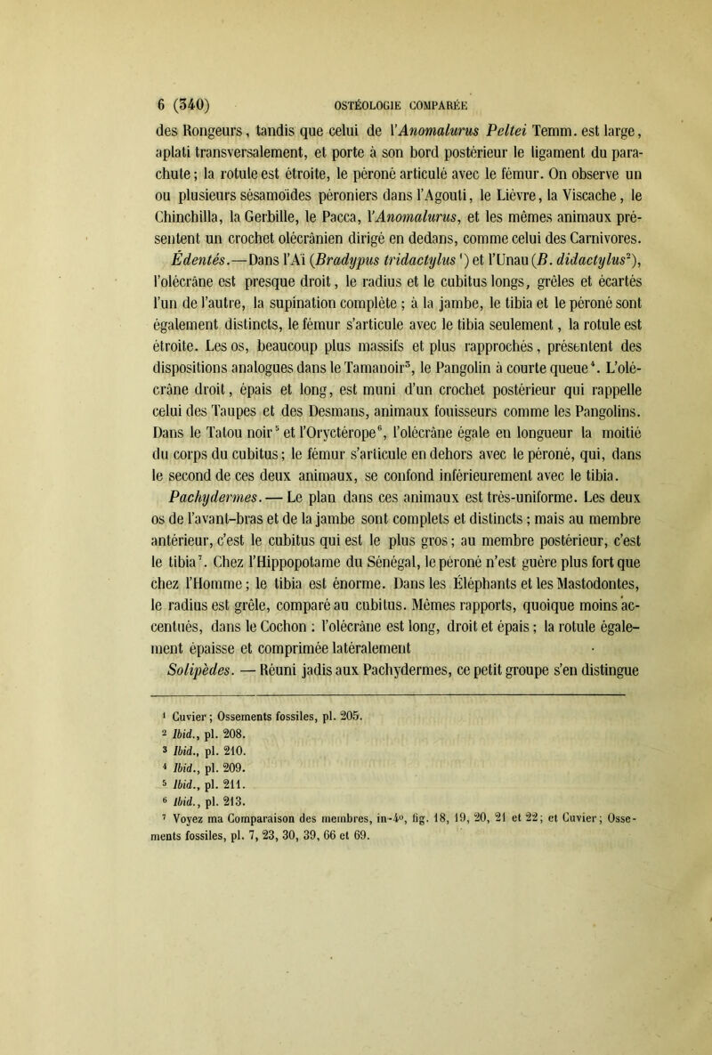 des Rongeurs, tandis que celui de YAnomalurus Peltei Temm. est large, aplati transversalement, et porte à son bord postérieur le ligament du para- chute ; la rotule est étroite, le péroné articulé avec le fémur. On observe un ou plusieurs sésamoïdes péroniers dans l’Agouti, le Lièvre, la Viscache, le Chinchilla, la Gerbille, le Pacca, Y Anomalurus, et les mêmes animaux pré- sentent un crochet olécranien dirigé en dedans, comme celui des Carnivores. Édentés.—Dans l’A'i (Bradypus tridactylus ') et l’LJnau (B. didactylus-), l’olécrâne est presque droit, le radius et le cubitus longs, grêles et écartés l’un de l’autre, la supination complète ; à la jambe, le tibia et le péroné sont également distincts, le fémur s’articule avec le tibia seulement, la rotule est étroite. Les os, beaucoup plus massifs et plus rapprochés, présentent des dispositions analogues dans le Tamanoir1 2 3, le Pangolin à courte queue4. L’olé- crâne droit, épais et long, est muni d’un crochet postérieur qui rappelle celui des Taupes et des Desmans, animaux fouisseurs comme les Pangolins. Dans le Tatou noir5 et l’Oryctérope6, i’oléorâne égale en longueur la moitié du corps du cubitus ; le fémur s’articule en dehors avec le péroné, qui, dans le second de ces deux animaux, se confond inférieurement avec le tibia. Pachydermes. — Le plan dans ces animaux est très-uniforme. Les deux os de l’avant-bras et de la jambe sont complets et distincts ; mais au membre antérieur, c’est le cubitus qui est le plus gros ; au membre postérieur, c’est le tibia7. Chez l’Hippopotame du Sénégal, le péroné n’est guère plus fort que chez l’Homme; le tibia est énorme. Dans les Éléphants et les Mastodontes, le radius est grêle, comparé au cubitus. Mêmes rapports, quoique moins ac- centués, dans le Cochon ; l’olécrâne est long, droit et épais ; la rotule égale- ment épaisse et comprimée latéralement Solipédes. — Réuni jadis aux Pachydermes, ce petit groupe s’en distingue 1 Cuvier; Ossements fossiles, pl. 205. 2 Ibid., pl. 208. 3 Ibid., pl. 210. ^ Ibid., pl. 209. 3 Ibid., pl. 211. B Ibid., pl. 213. 7 Voyez ma Comparaison des membres, in-4°, fig. 18, 19, 20, 21 et 22; et Cuvier; Osse- ments fossiles, pl. 7, 23, 30, 39, 66 et 69.