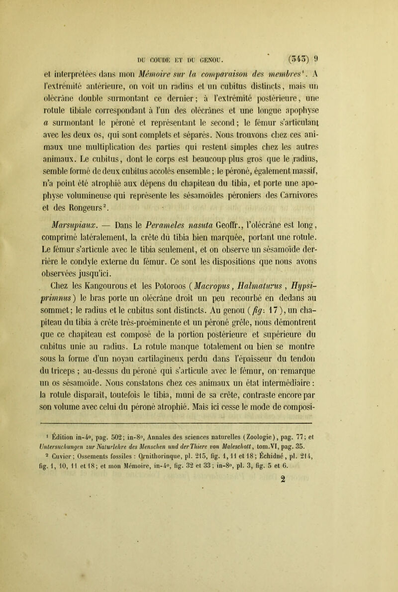 et interprétées dans mon Mémoire sur la comparaison des membres'. A l’extrémité antérieure, on voit un radius et un cubitus distincts, mais un olécrane double surmontant ce dernier ; à l’extrémité postérieure, une rotule tibiale correspondant à l’un des olécranes et une longue apophyse a surmontant le péroné et représentant le second; le fémur s’articulant avec les deux os, qui sont complets et séparés. Nous trouvons chez ces ani- maux une multiplication des parties qui restent simples chez les autres animaux. Le cubitus, dont le corps est beaucoup plus gros que lejradius, semble formé de deux cubitus accolés ensemble ; le péroné, également massif, n’a point été atrophié aux dépens du chapiteau du tibia, et porte une apo- physe volumineuse qui représente les sésamoides péroniers des Carnivores et des Rongeurs1 2. Marsupiaux. — Dans le Perameles nasuta Geoffr., l’olécràne est long, comprimé latéralement, la crête du tibia bien marquée, portant une rotule. Le fémur s’articule avec le tibia seulement, et on observe un sésamo'ide der- rière le condyle externe du fémur. Ce sont les dispositions que nous avons observées jusqu’ici. Chez les Kangourous et les Potoroos (Macropus, Halmaturus , Hypsi- primnus) le bras porte un olécrane droit un peu recourbé en dedans au sommet; le radius et le cubitus sont distincts. Au genou (fig: 17), un cha- piteau du tibia à crête très-proéminente et un péroné grêle, nous démontrent que ce chapiteau est composé de la portion postérieure et supérieure du cubitus unie au radius. La rotule manque totalement ou bien se montre sous la forme d’un noyau cartilagineux perdu dans l’épaisseur du tendon du triceps ; au-dessus du péroné qui s’articule, avec le fémur, on remarque un os sésamoïde. Nous constatons chez ces animaux un état intermédiaire : la rotule disparaît, toutefois le tibia, muni de sa crête, contraste encore par son volume avec celui du péroné atrophié. Mais ici cesse le mode de composi- 1 Édition in-4°, pag. 502; in-8°, Annales des sciences naturelles (Zoologie), pag. 77; et UntersHchmigen zur Nalurlehre des Menschen und derTIiiere von Maleschott, tom.VI, pag. 35. 2 Cuvier; Ossements fossiles : Ornithorinque, pl. 215, fig. 1,11 et 18; Échidné, pl. 214, fig. 1, 10, 11 et 18; et mon Mémoire, in-4°, fig. 32 et 33; in-8°, pl. 3, fig. 5 et 6. 2