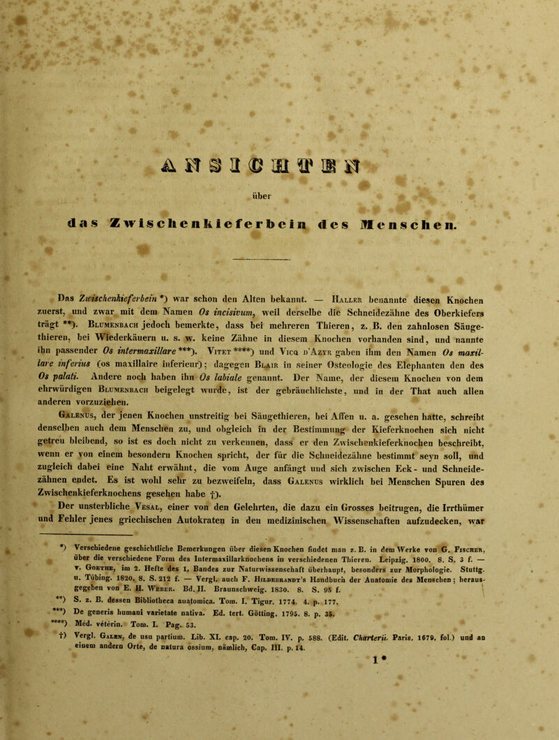 über } * das Zwischenkieferbein des lenschen. Das Zwischenkieferbein *) war schon den Alten bekannt. — Haller benannte diesen Knochen zuerst, und zwar mit dem Namen Os incisivum, weil derselbe die Schneidezähne des Oberkiefers trägt **). Blumenbach jedoch bemerkte, dass bei mehreren Thieren, z. B. den zahnlosen Säuge- thieren, bei Wiederkäuern u. s. w. keine Zähne in diesem Knochen vorhanden sind, und nannte ihn passender Os intermaxillare ***). Vitet ****) und Vica d’Azyr gaben ihm den Namen Os maxil- lare inferius (os maxillaire inferieur); dagegen Blair in seiner Osteologie des Elephanten den des Os palati. Andere noch haben ihn Os labiale genannt. Der Name, der diesem Knochen von dem ehrwürdigen Blumenbach beigelegt wurde, ist der gebräuchlichste, und in der That auch allen anderen vorzuziehen. Galenus, der jenen Knochen unstreitig bei Säugethieren, bei Affen u. a. gesehen hatte, schreibt denselben auch dem Menschen zu, und obgleich in der Bestimmung der Kieferknochen sich nicht getreu bleibend, so ist es doch nicht zu verkennen, dass er den Zwischenkieferknochen beschreibt, wenn er von einem besondern Knochen spricht, der für die Schneidezähne bestimmt seyn soll, und zugleich dabei eine Naht erwähnt, die vom Auge anfängt und sich zwischen Eck- und Schneide- zähnen endet. Es ist wohl sehr zu bezweifeln, dass Galenus wirklich bei Menschen Spuren des Zwischenkieferknochens gesehen habe j-). Der unsterbliche Vesal, einer von den Gelehrten, die dazu ein Grosses beitrugen, die Irrthümer und Fehler jenes griechischen Autokraten in den medizinischen Wissenschaften aufzudecken, war Verschiedene geschichtliche Bemerkungen über diesen Knochen findet man z. B. in dem Werke von G. Fischer, über die verschiedene Form des Intermaxillarknochens in verschiedenen Thieren. Leipzig. 1800. 8. S. 3 f. — v. Goethe, im 2. Hefte des I. Bandes zur Naturwissenschaft überhaupt, besonders zur Morphologie. Stuttg. u. Tübmg. 1820, 8. S. 212 f. — Vergl. auch F. Hiedebrandt’s Handbuch der Anatomie des Menschen : heraus- gegeben von E. II. Weber. Bd. II. Braunschweig. 1830. 8. S. 95 f. i S. z. B. dessen Bibliotheca anatomica. Tom. I. Tigur. 1774. 4. p. 177. De generis humani varietate nativa. Ed. tert. Gotting. 1795. 8. p. 35. Med. veterin. Tom. I. Pag. 53. Vergl. Gaien, de usu partium. Lib. XI. cap. 20. Tom. IV. p. 588. (Edit. Charterii. Paris. 1670. fol.) und an einem andern Orte, de natura ossium, nämlich, Cap. III. p. 14. t) 1*