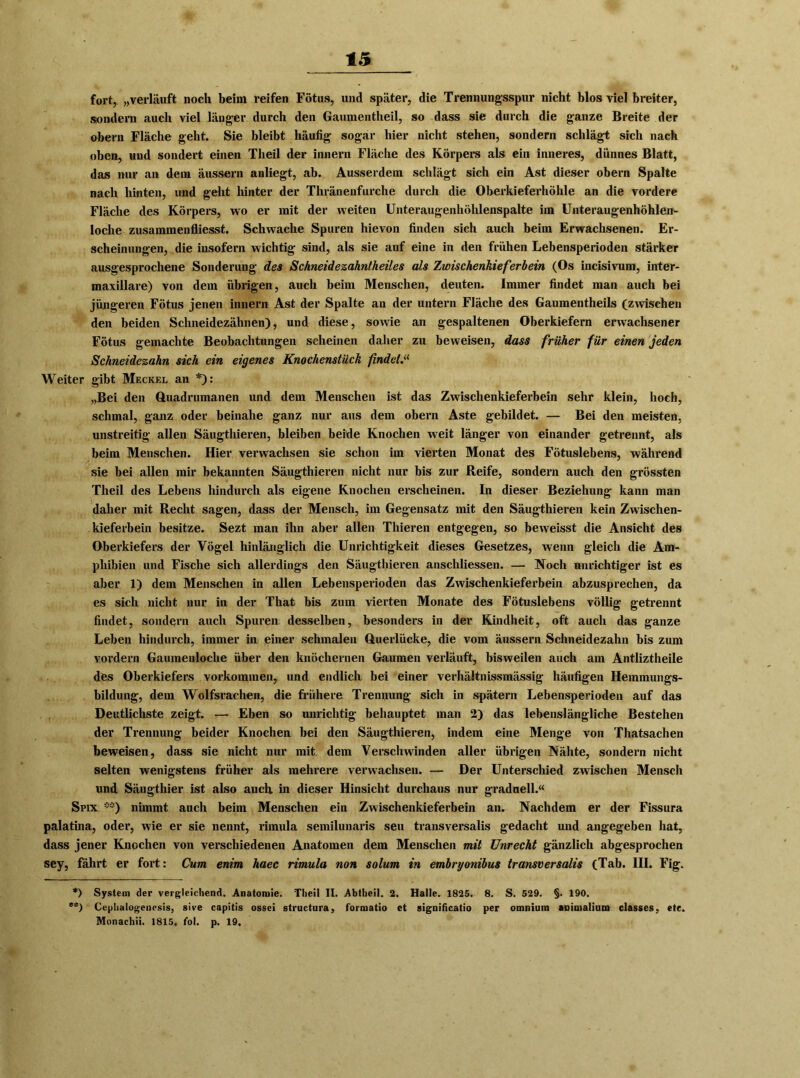 fort, „verlauft noch beim reifen Fötus, und später, die Trennungsspur nicht blos viel breiter, sondern auch viel länger durch den Gaumentheil, so dass sie durch die ganze Breite der obern Fläche geht. Sie bleibt häufig sogar hier nicht stehen, sondern schlägt sich nach oben, und sondert einen Theil der innern Fläche des Körpers als ein inneres, dünnes Blatt, das nur an dem äussern anliegt, ab. Ausserdem schlägt sich ein Ast dieser obern Spalte nach hinten, und geht hinter der Thränenfurche durch die Oberkieferhöhle an die vordere Fläche des Körpers, wo er mit der weiten Unteraugenhöhlenspalte im Unteraugenhöhlen- loche zusammenfliesst. Schwache Spuren hievon finden sich auch beim Erwachsenen. Er- scheinungen, die insofern wichtig sind, als sie auf eine in den frühen Lebensperioden stärker ausgesprochene Sonderung des Sckneidezahntheiles als Zioischenkieferbein (Os incisivum, inter- maxillare) von dem übrigen, auch beim Menschen, deuten. Immer findet man auch bei jüngeren Fötus jenen innern Ast der Spalte an der untern Fläche des Gaumentheils (zwischen den beiden Schneidezähnen), und diese, sowie an gespaltenen Oberkiefern erwachsener Fötus gemachte Beobachtungen scheinen daher zu beweisen, dass früher für einen jeden Schneidezahn sich ein eigenes Knochenstück findet.“ Weiter gibt Meckel an *): „Bei den Quadrumanen und dem Menschen ist das Zwisehenkieferbein sehr klein, hoch, schmal, ganz oder beinahe ganz nur aus dem obern Aste gebildet. — Bei den meisten, unstreitig allen Säugthieren, bleiben beide Knochen weit länger von einander getrennt, als beim Menschen. Hier verwachsen sie schon im vierten Monat des Fötuslebens, während sie bei allen mir bekannten Säugthieren nicht nur bis zur Reife, sondern auch den grössten Theil des Lebens hindurch als eigene Knochen ei’scheinen. In dieser Beziehung kann man daher mit Recht sagen, dass der Mensch, im Gegensatz mit den Säugthieren kein Zwischen- kieferbein besitze. Sezt man ihn aber allen Thieren entgegen, so beweisst die Ansicht des Oberkiefers der Vögel hinlänglich die Unrichtigkeit dieses Gesetzes, wenn gleich die Am- phibien und Fische sich allerdings den Säugthieren anscliliessen. — Noch unrichtiger ist es aber 1) dem Menschen in allen Lebensperioden das Zwischenkieferbein abzusprechen, da es sich nicht nur in der That bis zum vierten Monate des Fötuslebens völlig getrennt findet, sondern auch Spuren desselben, besonders in der Kindheit, oft auch das ganze Leben hindurch, immer in einer schmalen Querlücke, die vom äussern Schneidezahn bis zum vordem Gaumenloche über den knöchernen Gaumen verläuft, bisweilen auch am Antliztheile des Oberkiefers Vorkommen, und endlich bei einer verhältnissmässig häufigen Hemmungs- bildung, dem Wolfsrachen, die frühere Trennung sich in spätem Lebensperioden auf das Deutlichste zeigt. — Eben so unrichtig behauptet man 2) das lebenslängliche Bestehen der Trennung beider Knochen bei den Säugthieren, indem eine Menge von Thatsachen beweisen, dass sie nicht nur mit dem Verschwinden aller übrigen Nähte, sondern nicht selten wenigstens früher als mehrere verwachsen. — Der Unterschied zwischen Mensch und Säugthier ist also auch, in dieser Hinsicht durchaus nur graduell.“ Spix **) nimmt auch beim Menschen ein Zwisehenkieferbein an. Nachdem er der Fissura palatina, oder, wie er sie nennt, rimula semilunaris seu transversalis gedacht und angegeben hat, dass jener Knochen von verschiedenen Anatomen dem Menschen mit Unrecht gänzlich abgesprochen sey, fährt er fort: Cum enim haec rimula non solum in embryonihus transversalis (Tab. III. Fig. *) System der vergleichend. Anatomie. Theil II. Abtheil. 2. Halle. 1825. 8. S. 529. §. 190. **) Cephalogencsis, sive capitis ossci structura, formatio et significatio per omnium animalium classes, etc. Monachii. 1815. fol. p. 19.