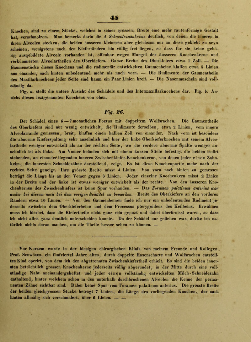 Knochen, sind zu einem Stücke, welches in seiner grossem Breite eine mehr rautenförmige Gestalt hat, verschmolzen. Man bemerkt darin die 4 Schneidezahnheime deutlich, von denen die inneren in ihren Alveolen stecken, die beiden äusseren kleineren aber gleichsam nur an diese geklebt zu scyn scheinen, wenigstens nach den Kieferrändern hin völlig frei liegen, so dass für sie keine gehö- rig ausgebildete Alveole vorhanden ist, offenbar wegen Mangel der äusseren Knochenkerne und verkümmerten Alveolartheilen des Oberkiefers. Ganze Breite des Oberkiefers etwa 1 Zoll. — Die Gaumenstücke dieses Knochens und die rudimentär entwickelten Gaumenbeine klaffen etwa 5 Linien aus einander, nach hinten unbedeutend mehr als nach vorn. — Die Rudimente der Gaumentheile des Maxillarknochens jeder Seite sind kaum ein Paar Linien breit. — Die Nasenmuscheln sind voll- ständig da. Fig. a. stellt die untere Ansicht des Schädels und des Intermaxillarknochens dar. Fig. b. An- sicht dieses leztgenannten Knochens von oben. Fig. 26. Der Schädel eines 6 — 7 monatlichen Foetus mit doppeltem Wolfsrachen. Die Gaumentheile des Oberkiefers sind nur wenig entwickelt, die Rudimente derselben, etwa 2 Linien, vom innern Alveolarrande gemessen, breit, klaffen einen halben Zoll von einander. Nach vorn ist besonders die abnorme Kieferspaltung sehr ansehnlich und hier der linke Oberkieferknochen mit seinem Alveo- lartheile weniger entwickelt als an der rechten Seite, wo die vordere abnorme Spalte weniger an- sehnlich ist als links. Am Vomer befinden sich mit einem kurzen Stiele befestigt die beiden isolirt stehenden, an einander liegenden inneren Zwischenkiefer-Knochenkerne, von denen jeder einen Zahn- keim, die innersten Schneidezähne darstellend, zeigt. Es ist diese Knochenpartie mehr nach der rechten Seite geneigt. Ihre grösste Breite misst 4 Linien. Von vorn nach hinten zu gemessen beträgt die Länge bis an den Vomer gegen 3 Linien. Jeder einzelne Knochenkern misst 2 Linien in der Breite und der linke ist etwas weniger entwickelt als der rechte. Von den äusseren Kno- chenkernen des Zwischenkiefers ist keine Spur vorhanden. — Das Foramen palatinum anterius war weder bei diesem noch bei dem vorigen Schädel zu bemerken. Breite des Oberkiefers an den vorderen Rändern etwa 10 Linien. — Von den Gaumenbeinen finde ich nur ein unbedeutendes Rudiment je- derseits zwischen dem Oberkieferbeine und dem Processus pterygoi'deus des Keilbeins. Erwähnen muss ich hierbei, dass die Kiefertheile nicht ganz rein gepuzt und dabei überfirnisst waren, so dass ich nicht alles ganz deutlich unterscheiden konnte. Da der Schädel nur geliehen war, durfte ich na- türlich nichts daran machen, um die Theile besser sehen zu können. — Vor Kurzem wurde in der hiesigen chirurgischen Klinik von meinem Freunde und Kollegen, Prof. Schwörer, ein fünfviertel Jahre altes, durch doppelte Hasenscharte und Wolfsrachen entstell- tes Kind operirt, von dem ich den abgetrennten Zwischenkiefertheil erhielt. Es sind die beiden inner- sten beträchtlich grossen Knochenkerne jederseits völlig abgerundet, in der Mitte durch eine voll- ständige Naht aneinandergeheftet und jeder einen vollständig entwickelten Milch-Schneidezahn enthaltend, hinter welchem schon in den unterhalb durchbrochenen Alveolen die Keime der perma- nenten Zähne sichtbar sind. Dabei keine Spur vom Foramen palatinum anterius. Die grösste Breite der beiden gleichgrossen Stücke beträgt 7 Linien, die Länge des vorliegenden Knochen, der nach hinten allmälig sich verschmälert, über 6 Linien. — —