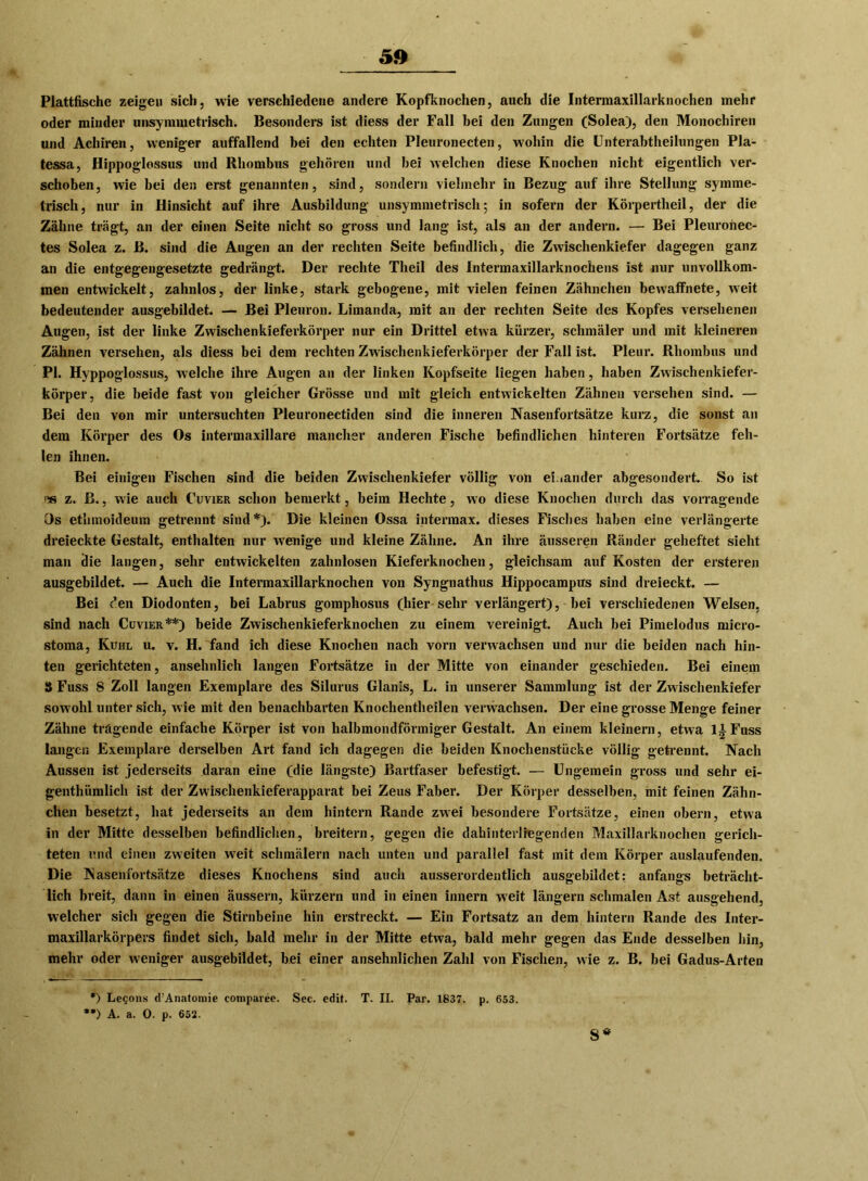 Plattfische zeige» sich, wie verschiedene andere Kopfknochen, auch die Intermaxillarknochen mehr oder minder unsymmetrisch. Besonders ist diess der Fall bei den Zungen (Solea), den Monochire» und Achiren, weniger auffallend bei den echten Pleuronecten, wohin die Unterabtheilungen Pla- tessa, Hippoglossus und Rhombus gehören und bei welchen diese Knochen nicht eigentlich ver- schoben, wie bei den erst genannten, sind, sondern vielmehr in Bezug auf ihre Stellung symme- trisch, nur in Hinsicht auf ihre Ausbildung unsymmetrisch; in sofern der Körpertheil, der die Zähne trägt, an der einen Seite nicht so gross und lang ist, als an der andern. — Bei Pleuronec- tes Solea z. ß. sind die Augen an der rechten Seite befindlich, die Zwischenkiefer dagegen ganz an die entgegengesetzte gedrängt. Der rechte Theil des Intermaxillarknochens ist nur unvollkom- men entwickelt, zahnlos, der linke, stark gebogene, mit vielen feinen Zähnchen bewaffnete, weit bedeutender ausgebildet. — Bei Pleuron. Limanda, mit an der rechten Seite des Kopfes versehenen Augen, ist der linke Zwischenkieferkörper nur ein Drittel etwa kürzer, schmäler und mit kleineren Zähnen versehen, als diess bei dem rechten Zwischenkieferkörper der Fall ist. Pleur. Rhombus und PI. Hyppoglossus, welche ihre Augen an der linken Kopfseite liegen haben, haben Zwischenkiefer- körper, die beide fast von gleicher Grösse und mit gleich entwickelten Zähnen versehen sind. — Bei den von mir untersuchten Pleuronectiden sind die inneren Nasenfortsätze kurz, die sonst an dem Körper des Os intermaxillare mancher anderen Fische befindlichen hinteren Fortsätze feh- len ihnen. Bei einigen Fischen sind die beiden Zwischenkiefer völlig voll einander abgesondert. So ist z. B., wie auch Cuvier schon bemerkt, beim Hechte, wo diese Knochen durch das vorragende Os etlimoideum getrennt sind*). Die kleinen Ossa interraax. dieses Fisches haben eine verlängerte dreieckte Gestalt, enthalten nur wenige und kleine Zähne. An ihre äusseren Ränder geheftet sieht man die langen, sehr entwickelten zahnlosen Kieferknochen, gleichsam auf Kosten der ersteren ausgebildet. — Auch die Intermaxillarknochen von Syngnathus Hippocampus sind dreieckt. — Bei den Diodonten, bei Labrus gomphosus (hier sehr verlängert), bei verschiedenen Welsen, sind nach Cuvier**) beide Zwischenkieferknochen zu einem vereinigt. Auch bei Pimelodus micro- stoma, Kühl u. v. H. fand ich diese Knochen nach vorn verwachsen und nur die beiden nach hin- ten gerichteten, ansehnlich langen Fortsätze in der Mitte von einander geschieden. Bei einem S Fuss 8 Zoll langen Exemplare des Silurus Glanis, L. in unserer Sammlung ist der Zwischenkiefer sowohl unter sich, wie mit den benachbarten Knochentheilen verwachsen. Der eine grosse Menge feiner Zähne tragende einfache Körper ist von halbmondförmiger Gestalt. An einem kleinern, etwa lAFuss langen Exemplare derselben Art fand ich dagegen die beiden Knochenstücke völlig getrennt. Nach Aussen ist jederseits daran eine (die längste) Bartfaser befestigt. — Ungemein gross und sehr ei- genthümlich ist der Zwischenkieferapparat bei Zeus Faber. Der Körper desselben, mit feinen Zähn- chen besetzt, hat jederseits an dem hintern Rande zwei besondere Fortsätze, einen obern, etwa in der Mitte desselben befindlichen, breitem, gegen die dahinterlregenden Maxillarknochen gerich- teten und einen zweiten weit schmälern nach unten und parallel fast mit dem Körper auslaufenden. Die Nasenfortsätze dieses Knochens sind auch ausserordentlich ausgebildet: anfangs beträcht- lich breit, dann in einen äussern, kürzern und in einen innern weit langem schmalen Ast ausgehend, welcher sich gegen die Stirnbeine hin erstreckt. — Ein Fortsatz an dem hintern Rande des Inter- maxillarkörpers findet sich, bald mehr in der Mitte etwa, bald mehr gegen das Ende desselben hin, mehr oder weniger ausgebildet, bei einer ansehnlichen Zahl von Fischen, wie z. B. bei Gadus-Arten *) Legons d’Anatomie comparee. Sec. edit. T. II. Par. 1837. p. 653. **) A. a. 0. p. 652.