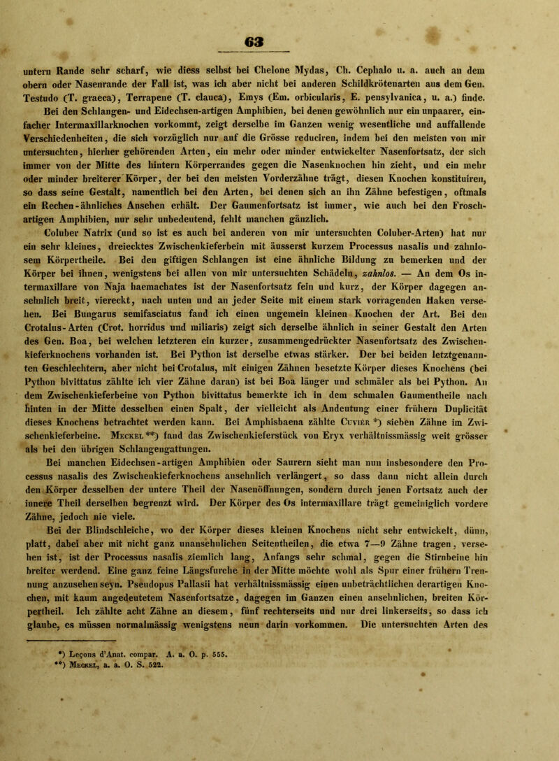 untern Rande sehr scharf, wie diess selbst bei Chelone Mydas, Ch. Cephalo u. a. auch an dein obern oder Nasenrande der Fall ist, was ich aber nicht bei anderen Schildkrötenarten aus dem Gen. Testudo (T. graeca), Terrapene (T. clauca), Emys (Em. orbicularis, E. pensylvanica, u. a.) finde. Bei den Schlangen- und Eidechsen-artigen Amphibien, bei denen gewöhnlich nur ein unpaarer, ein- facher Intermaxillarknochen vorkommt, zeigt derselbe im Ganzen wenig wesentliche und auffallende Verschiedenheiten, die sich vorzüglich nur auf die Grösse reduciren, indem bei den meisten von mir untersuchten, hierher gehörenden Arten, ein mehr oder minder entwickelter Nasenfortsatz, der sich immer von der Mitte des hintern Körperrandes gegen die Nasenknochen hin zieht, und ein mehr oder minder breiterer Körper, der bei den meisten Vorderzähne trägt, diesen Knochen konstituiren, so dass seine Gestalt, namentlich bei den Arten, bei denen sich an ihn Zähne befestigen, oftmals ein Rechen - ähnliches Ansehen erhält. Der Gaumenfortsatz ist immer, wie auch bei den Frosch- artigen Amphibien, nur sehr unbedeutend, fehlt manchen gänzlich. Coluber Natrix (und so ist es auch bei anderen von mir untersuchten Coiuber-Arten) hat nur ein sehr kleines, dreiecktes Zwischenkieferbein mit äusserst kurzem Processus nasalis und zahnlo- sem Körpertheile. Bei den giftigen Schlangen ist eine ähnliche Bildung zu bemerken und der Körper bei ihnen, wenigstens bei allen von mir untersuchten Schädeln, zahnlos. — An dem Os in- termaxillare von Naja haemacliates ist der Nasenfortsatz fein und kurz, der Körper dagegen an- sehnlich breit, viereckt, nach unten und an jeder Seite mit einem stark vorragenden Haken verse- hen. Bei ßungarus semifasciatus fand ich einen ungemein kleinen Knochen der Art. Bei den Crotalus-Arten (Crot. horridus und miliaris) zeigt sich derselbe ähnlich in seiner Gestalt den Arten des Gen. Boa, bei welchen letzteren ein kurzer, zusammengedrückter Nasenfortsatz des Zwischen- kieferknochens vorhanden ist. Bei Python ist derselbe etwas stärker. Der bei beiden letztgenann- ten Geschlechtern, aber nicht bei Crotalus, mit einigen Zähnen besetzte Körper dieses Knochens (bei Python bivittatus zählte ich vier Zähne daran) ist bei Boa länger und schmäler als bei Python. An dem Zwischenkieferbeine von Python bivittatus bemerkte ich in dem schmalen Gaumentheile nach hinten in der Mitte desselben einen Spalt, der vielleicht als Andeutung einer frühem Duplicität dieses Knochens betrachtet werden kann. Bei Amphisbaena zählte Cuvier *) sieben Zähne im Zwi- schenkieferbeine. Meckel **) fand das Zwischenkieferstück von Eryx verhältnissmässig weit grösser als bei den übrigen Schlangengattungen. Bei manchen Eidechsen-artigen Amphibien oder Saurem sieht man nun insbesondere den Pro- cessus nasalis des Zwischenkieferknochens ansehnlich verlängert, so dass dann nicht allein durch den Körper desselben der untere Theil der Nasenöffnungen, sondern durch jenen Fortsatz auch der innere Theil derselben begrenzt wird. Der Körper des ös intermaxillare trägt gemeiniglich vordere Zähne, jedoch nie viele. Bei der Blindschleiche, w7o der Körper dieses kleinen Knochens nicht sehr entwickelt, dünn, platt, dabei aber mit nicht ganz unansehnlichen Seitentheilen, die etwa 7—9 Zähne tragen, verse- hen ist, ist der Processus nasalis ziemlich lang, Anfangs sehr schmal, gegen die Stirnbeine hin breiter werdend. Eine ganz feine Längsfurche in der Mitte möchte w ohl als Spur einer frühem Tren- nung anzusehen seyn. Pseudopus Pallasii hat verhältnissmässig einen unbeträchtlichen derartigen Kno- chen, mit kaum angedeutetem Nasenfortsatze, dagegen im Ganzen einen ansehnlichen, breiten Kör- pertheil. Ich zählte acht Zähne an diesem, fünf rechterseits und nur drei linkerseits, so dass ich glaube, es müssen normalmässig wenigstens neun darin Vorkommen. Die untersuchten Arten des *) Legons d’Anat. compar. A. a. 0. p. 555. •*) Meckel, a. a. 0. S. 622.
