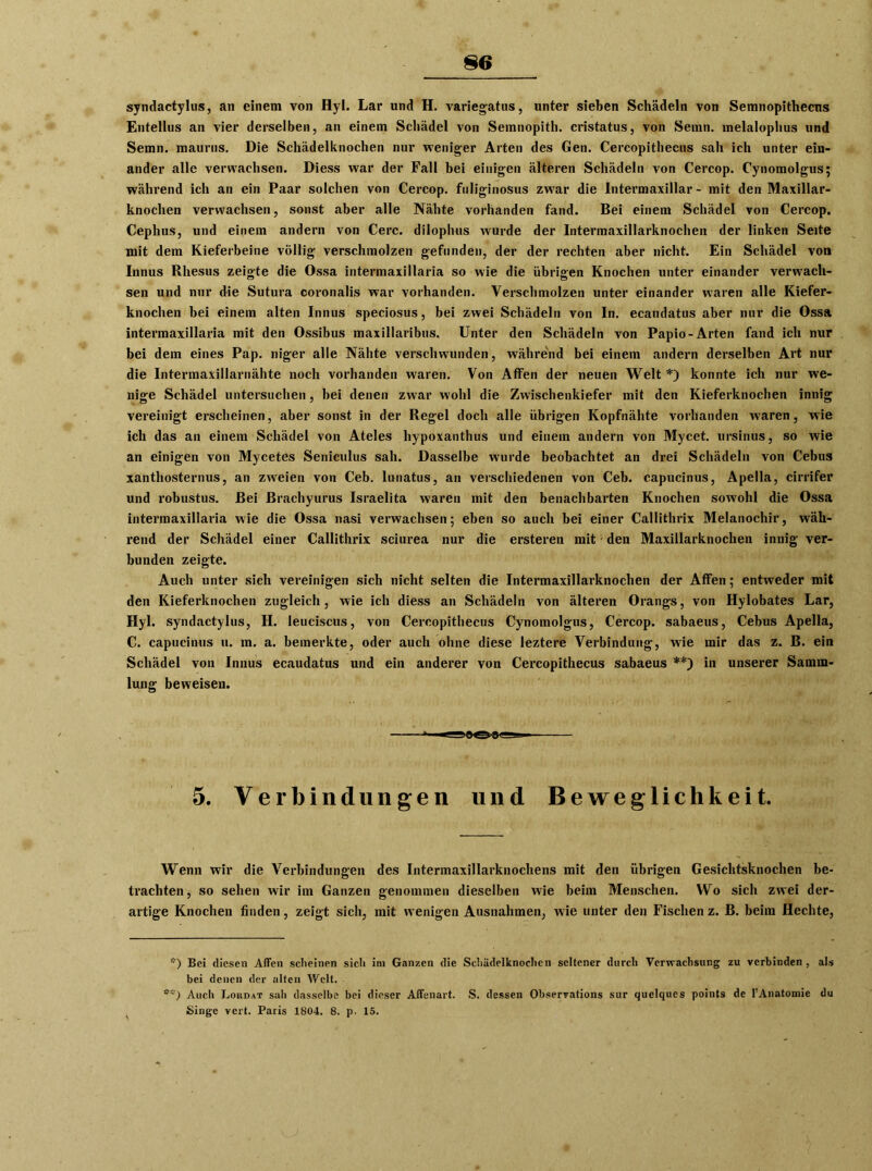 syndactylus, an einem von Hyi. Lar und H. variegatus, unter sieben Schädeln von Semnopithecus Entellus an vier derselben, an einem Schädel von Semnopith. cristatus, von Semn. melalophus und Semn. maurus. Die Schädelknochen nur weniger Arten des Gen. Cercopithecus sah ich unter ein- ander alle verwachsen. Diess war der Fall bei einigen älteren Schädeln von Cercop. Cynomolgus; während ich an ein Paar solchen von Cercop. fuliginosus zwTar die Intermaxillar - mit den Maxillar- knochen verwachsen, sonst aber alle Nähte vorhanden fand. Bei einem Schädel von Cercop. Cephus, und einem andern von Cerc. dilophus wurde der Intermaxillarknochen der linken Seite mit dem Kieferbeine völlig verschmolzen gefunden, der der rechten aber nicht. Ein Schädel von Innus Rhesus zeigte die Ossa intermaxillaria so wie die übrigen Knochen unter einander verwach- sen und nur die Sutura coronalis war vorhanden. Verschmolzen unter einander waren alle Kiefer- knochen bei einem alten Innus speciosus, bei zwei Schädeln von In. ecaudatus aber nur die Ossa intermaxillaria mit den Ossibus maxillaribus. Unter den Schädeln von Papio-Arten fand ich nur bei dem eines Pap. niger alle Nähte verschwunden, während bei einem andern derselben Art nur die Intermaxillarnähte noch vorhanden waren. Von Affen der neuen Welt *) konnte ich nur we- nige Schädel untersuchen, bei denen zwar wohl die Zwischenkiefer mit den Kieferknochen innig vereinigt erscheinen, aber sonst in der Regel doch alle übrigen Kopfnähte vorhanden waren, wie ich das an einem Schädel von Ateles hypoxanthus und einem andern von Mycet. ursinus, so wie an einigen von Mycetes Seniculus sah. Dasselbe wurde beobachtet an drei Schädeln von Cebus xanthosternus, an zweien von Ceb. lunatus, an verschiedenen von Ceb. capucinus, Apella, cirrifer und robustus. Bei Brachyurus Israelita waren mit den benachbarten Knochen sowohl die Ossa intermaxillaria wie die Ossa nasi verwachsen; eben so auch bei einer Callithrix Melanochir, wäh- rend der Schädel einer Callithrix sciurea nur die ersteren mit - den Maxillarknochen innig ver- bunden zeigte. Auch unter sieh vereinigen sich nicht selten die Intermaxillarknochen der Affen; entweder mit den Kieferknochen zugleich, wie ich diess an Schädeln von älteren Orangs, von Hylobates Lar, Hyl. syndactylus, H. leuciscus, von Cercopithecus Cynomolgus, Cercop. sabaeus, Cebus Apella, C. capucinus u. m. a. bemerkte, oder auch ohne diese leztere Verbindung, wie mir das z. B. ein Schädel von Innus ecaudatus und ein anderer von Cercopithecus sabaeus **) in unserer Samm- lung beweisen. 5. Verbindungen und Beweglichkeit. Wenn wir die Verbindungen des Intermaxillarknochens mit den übrigen Gesichtsknochen be- trachten, so sehen wir im Ganzen genommen dieselben wie beim Menschen. Wo sich zwei der- artige Knochen finden, zeigt sich, mit wenigen Ausnahmen, wie unter den Fischen z. B. beim Hechte, *) Bei diesen Affen scheinen sich im Ganzen die Schädelknoehcn seltener durch Verwachsung zu verbinden , als bei denen der alten Welt. **) Auch Lokdat sah dasselbe bei dieser Affenart. S. dessen Observations sur quelques points de l’Anatomie du Singe vert. Paris 1804. 8. p. 15.