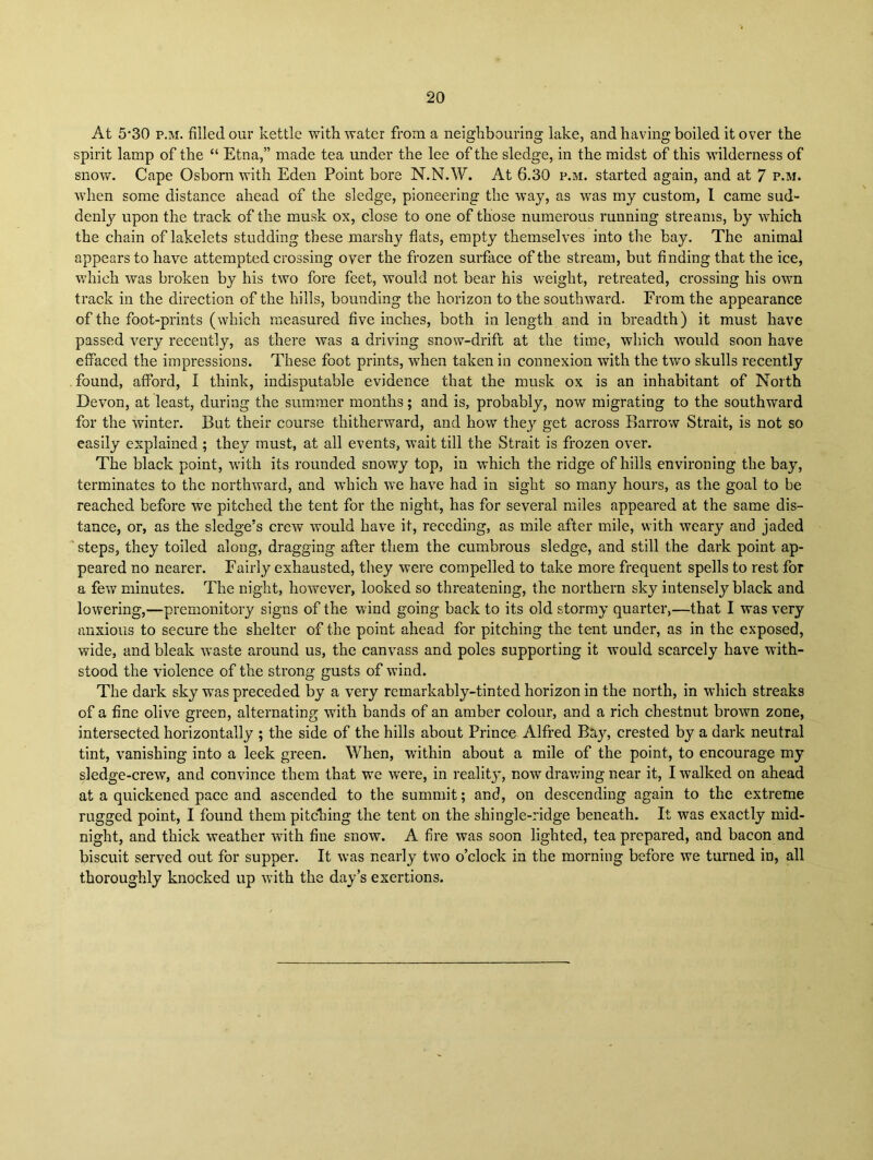 At 5‘30 p.M. filled our kettle with water from a neighbouring lake, and having boiled it over the spirit lamp of the “ Etna,” made tea under the lee of the sledge, in the midst of this wilderness of snow. Cape Osborn with Eden Point bore N.N.W. At 6.30 p.m. started again, and at 7 p-m. when some distance ahead of the sledge, pioneering the way, as was my custom, 1 came sud- denly upon the track of the musk ox, close to one of those numerous running streams, by which the chain of lakelets studding these marshy flats, empty themselves into the bay. The animal appears to have attempted crossing over the frozen surface of the stream, but finding that the ice, which was broken by his two fore feet, would not bear his weight, retreated, crossing his own track in the direction of the hills, bounding the horizon to the southward. From the appearance of the foot-prints (which measured five inches, both in length and in breadth) it must have passed very recently, as there was a driving snow-drift at the time, which would soon have effaced the impressions. These foot prints, when taken in connexion with the two skulls recently found, afford, I think, indisputable evidence that the musk ox is an inhabitant of North Devon, at least, during the summer months; and is, probably, now migrating to the southward for the winter. But their course thitherward, and how they get across Barrow Strait, is not so easily explained ; they must, at all events, wait till the Strait is frozen over. The black point, with its rounded snowy top, in which the ridge of hills environing the bay, terminates to the northward, and which we have had in sight so many hours, as the goal to be reached before we pitched the tent for the night, has for several miles appeared at the same dis- tance, or, as the sledge’s crew would have it, receding, as mile after mile, with weary and jaded ' steps, they toiled along, dragging after them the cumbrous sledge, and still the dark point ap- peared no nearer. Fairly exhausted, they were compelled to take more frequent spells to rest for a few minutes. The night, however, looked so threatening, the northern sky intensely black and lowering,—premonitory signs of the wind going back to its old stormy quarter,—that I was very anxious to secure the shelter of the point ahead for pitching the tent under, as in the exposed, wide, and bleak waste around us, the canvass and poles supporting it would scarcely have with- stood the violence of the strong gusts of wind. The dark sky was preceded by a very remarkably-tinted horizon in the north, in which streaks of a fine olive green, alternating with bands of an amber colour, and a rich chestnut brown zone, intersected horizontally ; the side of the hills about Prince Alfred Bay, crested by a dark neutral tint, vanishing into a leek green. When, within about a mile of the point, to encourage my sledge-crew, and convince them that we were, in realitjq now drawing near it, I walked on ahead at a quickened pace and ascended to the summit; and, on descending again to the extreme rugged point, I found them pitching the tent on the shingle-ridge beneath. It was exactly mid- night, and thick weather with fine snow. A fire was soon lighted, tea prepared, and bacon and biscuit served out for supper. It was nearly two o’clock in the morning before we turned in, all thoroughly knocked up with the day’s exertions.