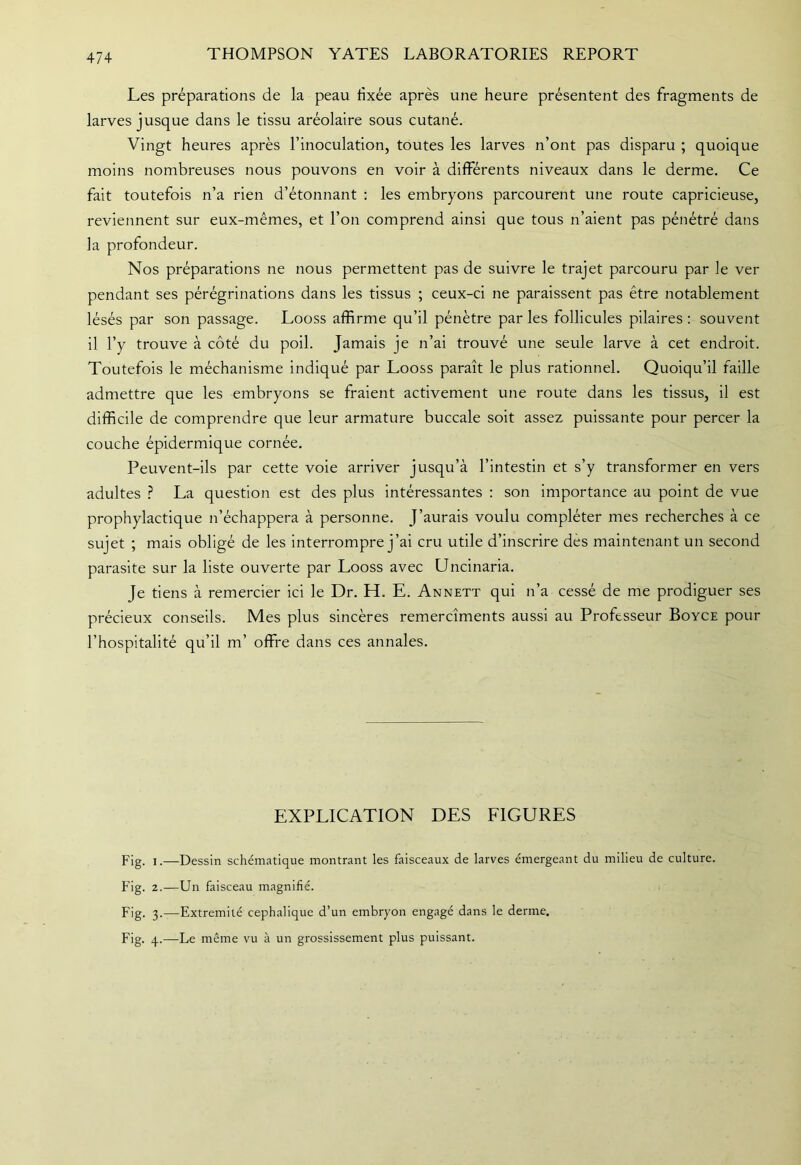 Les préparations de la peau fixée après une heure présentent des fragments de larves jusque dans le tissu aréolaire sous cutané. Vingt heures après l’inoculation, toutes les larves n’ont pas disparu ; quoique moins nombreuses nous pouvons en voir à différents niveaux dans le derme. Ce fait toutefois n’a rien d’étonnant ; les embryons parcourent une route capricieuse, reviennent sur eux-mêmes, et l’on comprend ainsi que tous n’aient pas pénétré dans la profondeur. Nos préparations ne nous permettent pas de suivre le trajet parcouru par le ver pendant ses pérégrinations dans les tissus ; ceux-ci ne paraissent pas être notablement lésés par son passage. Looss affirme qu’il pénètre par les follicules pilaires : souvent il l’y trouve à côté du poil. Jamais je n’ai trouvé une seule larve à cet endroit. Toutefois le méchanisme indiqué par Looss paraît le plus rationnel. Quoiqu’il faille admettre que les embryons se fraient activement une route dans les tissus, il est difficile de comprendre que leur armature buccale soit assez puissante pour percer la couche épidermique cornée. Peuvent-ils par cette voie arriver jusqu’à l’intestin et s’y transformer en vers adultes ? La question est des plus intéressantes : son importance au point de vue prophylactique n’échappera à personne. J’aurais voulu compléter mes recherches à ce sujet ; mais obligé de les interrompre j’ai cru utile d’inscrire des maintenant un second parasite sur la liste ouverte par Looss avec Uncinaria. Je tiens à remercier ici le Dr. H. E. Annett qui n’a cessé de me prodiguer ses précieux conseils. Mes plus sincères remercîments aussi au Professeur Boyce pour l’hospitalité qu’il m’ offre dans ces annales. EXPLICATION DES FIGURES Fig. I.—Dessin schématique montrant les faisceaux de larves émergeant du milieu de culture. Fig. 2.—Un faisceau magnifié. Fig. 3.—Extrémité céphalique d’un embryon engagé dans le derme, Fig. 4.—Le même vu à un grossissement plus puissant.