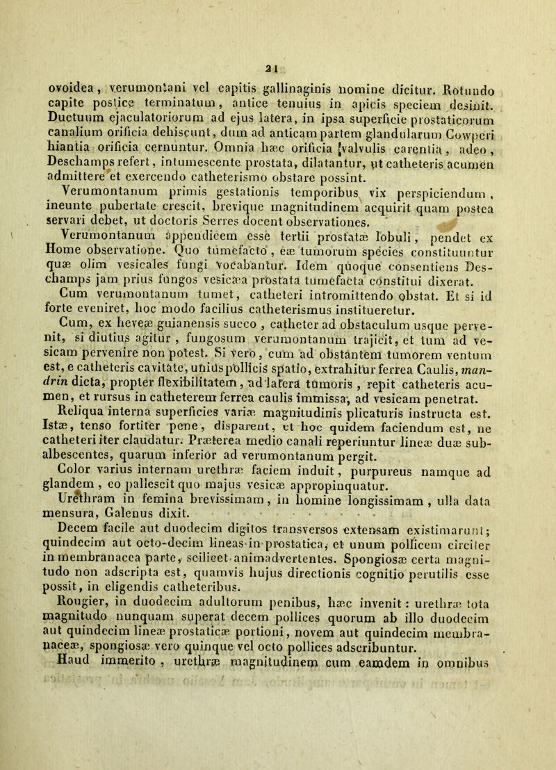 ovoidea , v.erumonSani vel capitis gallinaginis nomine dicitur. Rotundo capite poslice terminatum, antice tenuius in apicis speciem desinit. Ductuum ejaculatoriorum ad ejus latera, in ipsa superficie prostaticorum canalium orificia dehiscunt, dum ad anticam partem glandularum Cowperi hiantia orificia cernuntur. Omnia haec orificia [valvulis carentia , adeo, Deschamps refert, intumescente prostata, dilatantur, ut catheteris acumen admittere et exercendo catheterismo obstare possint. Yerumontanum primis gestationis temporibus vix perspiciendum , ineunte pubertate crescit, brevique magnitudinem acquirit quam postea servari debet, ut doctoris Serres docent observationes. Yerumontanum appendicem esse tertii prostatae lobuli, pendet ex Home observatione. Quo tumefacto , eae tumorum species constituuntur quae olim vesicales fungi vocabantur. Idem quoque consentiens Des- champs jam prius fungos vesica a prostata tumefacta constitui dixerat. Cum verumontanum tumet, catheteri intromittendo obstat. Et si id forte eveniret, hoc modo facilius catheterismus institueretur. Cum, ex heveae guianensis succo , catheter ad obstaculum usque perve- nit, si diutius agitur, fungosum verumontanum trajicit, et tum ad ve- sicam pervenire non potest. Si vero, cum ad obstantem tumorem ventum est, e catheteris cavitate, unidspOllicis spatio, extrahitur ferrea Caulis, inan- drin dicta, propter flexibilitatem, ad latera tumoris , repit catheteris acu- men, et rursus in catheterem ferrea caulis immissa-, ad vesicam penetrat. Reliqua interna superficies variae magnitudinis plicaturis instructa est. Istas, tenso fortiter pene, disparent, et hoc quidem faciendum est, ne catheteri iter claudatur. Praeterea medio canali reperiuntur lineas duae sub- albescentes, quarum inferior ad verumontanum pergit. Color varius internam urethrae faciem induit, purpureus namque ad glandem , eo pallescit quo majus vesicae appropinquatur. Urethram in femina brevissimam, in homine longissimam , ulla data mensura, Galenus dixit. Decem facile aut duodecim digitos transversos extensam existimarunt; quindecim aut octo-decim lineas in prostatica, et unum pollicem circiter in membranacea parte, scilicet animadvertentes. Spongiosae certa magni- tudo non adscripta est, quamvis hujus directionis cognitio perutilis esse possit, in eligendis catheteribus. Rougier, in duodecim adultorum penibus, haec invenit: urethrae tota magnitudo nunquam superat decem pollices quorum ab illo duodecim aut quindecim lineae prostaticae portioni, novem aut quindecim membra- naceae, spongiosae vero quinque vel octo pollices adscribuntur. Haud immerito , urethr® magnitudinem cum eamdem in omnibus