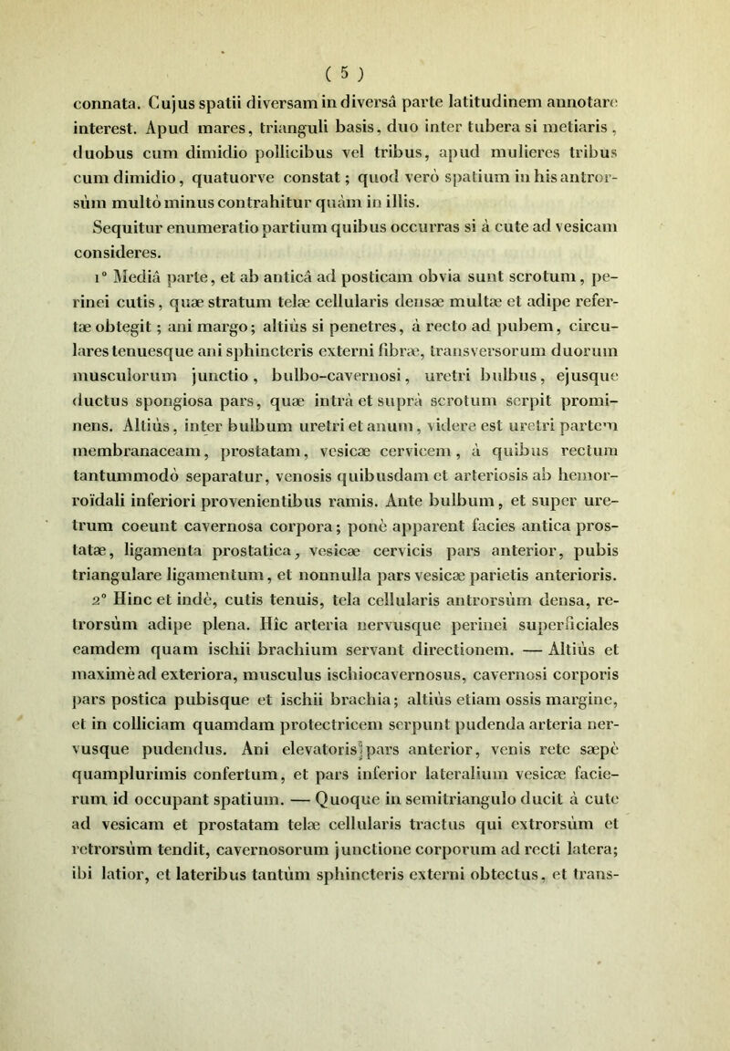 connata. Cujus spatii diversam in diversa parte latitudinem annotare interest. Apud mares, trianguli basis, duo inter tubera si metiaris , duobus cum dimidio pollicibus vel tribus, apud mulieres tribus cum dimidio, quatuorve constat; quod vero S])atium in his antror- sum multo minus contrahitur quam in illis. Sequitur enumeratio partium quihus occurras si a cute ad vesicam consideres. i“ Media parte, et ab antica ad posticam obvia sunt scrotum, pe- rinei cutis, quae stratum telae cellularis densae multae et adipe refer- tae obtegit ; ani margo; altius si penetres, a recto ad pubem, circu- lares tenuesque ani sphincteris externi fibrae, transversorum duorum musculorum junctio, bulbo-cavernosi, uretri bulbus, ejusque ductus spongiosa pars, quae intra et supra scrotum serpit promi- nens. Altius, inter bulbum uretri et anum, videre est uretri partem membranaceam, prostatam, vesicae cervicem, a quibus rectum tantummodo separatur, venosis quibusdam et arteriosis ab hemor- roidali inferiori provenientibus ramis. Ante bulbum, et super ure- trum coeunt cavernosa corpora; pone apparent facies antica pros- tatae, ligamenta prostatica, vesicae cervicis pars anterior, pubis triangulare ligamentum, et nonnulla pars vesicae parietis anterioris. 2“ Hinc et inde, cutis tenuis, tela cellularis antrorsum densa, re- trorsum adipe plena. Hic arteria nervusque perinei superficiales eamdem quam ischii brachium servant directionem. — Altius et maxime ad exteriora, musculus ischiocavernosus, cavernosi corporis pars postica pubisque et ischii brachia; altius etiam ossis margine, et in colliciam quamdam protectricem serpunt pudenda arteria ner- vusque pudendus. Ani elevatorisipars anterior, venis rete saepe quamplurimis confertum, et pars inferior lateralium vesicae facie- rum id occupant spatium. — Quoque in semitriangulo ducit a cute ad vesicam et prostatam telae cellularis tractus qui cxtrorsiim et retrorsum tendit, cavernosorum junctione corporum ad recti latera; ibi latior, et lateribus tantum sphincteris externi obtectus, et trans-