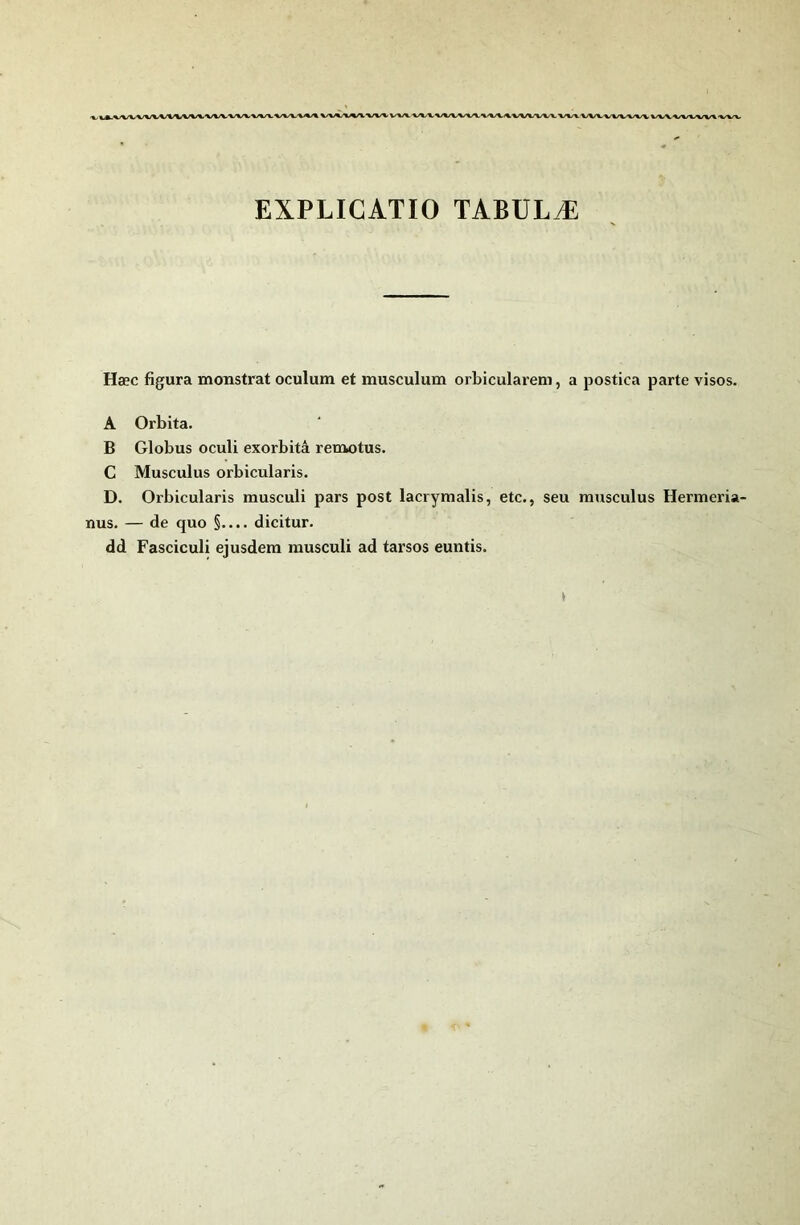 k \/W^/«/««'V\/%'%/%/V EXPLICATIO TABULÆ Hæc figura monstrat oculum et musculum orbicularem, a postica parte visos. A Orbita. B Globus oculi exorbitâ remotus. C Musculus orbicularis. D. Orbicularis musculi pars post lacrymalis, etc., seu musculus Hermeria- nus. — de quo §.... dicitur. dd Fasciculi ejusdem musculi ad tarsos euntis.