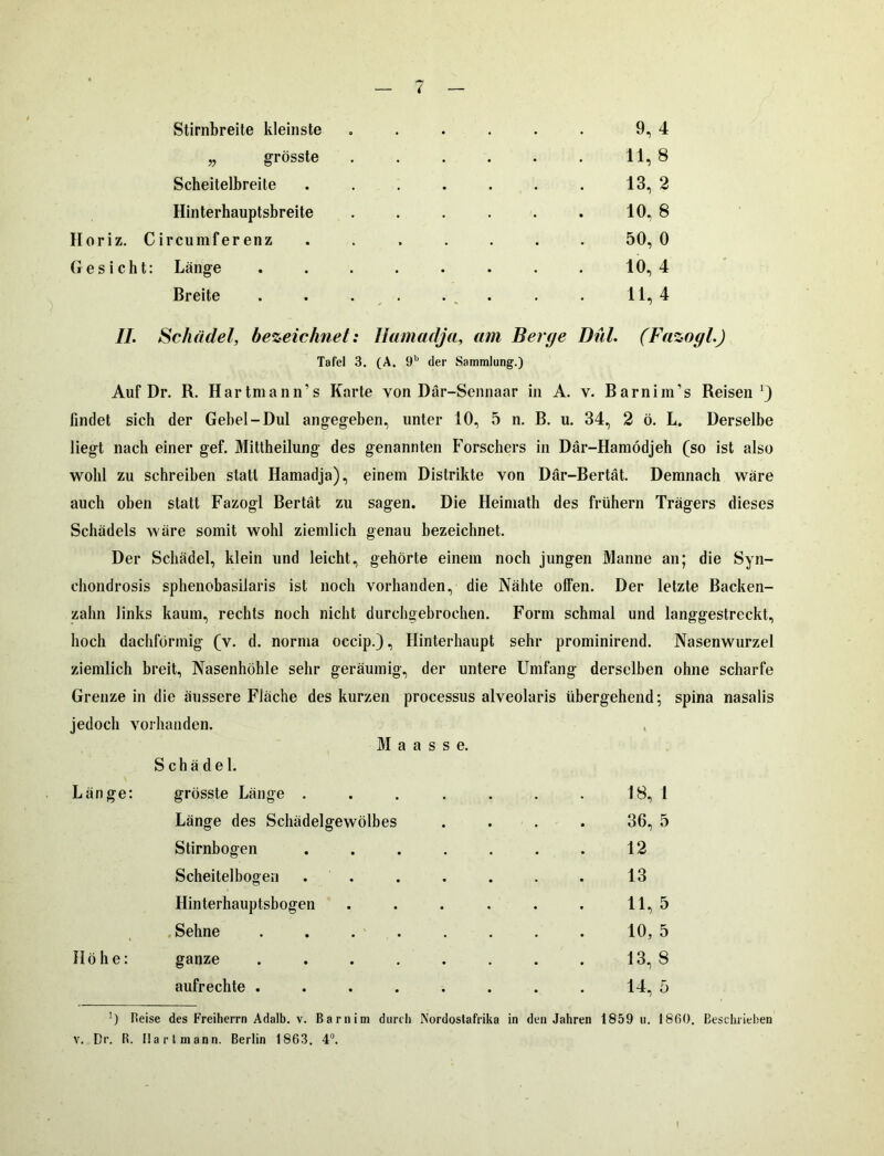 Stirnbreite kleinste 9,4 „ grösste . . . . . . 11, 8 Scheitelbreite . . . . . . . 13, 2 Hinterhauptsbreite . . . . . . 10, 8 Horiz. Circumferenz ....... 50, 0 Gesicht: Länge . . . . . . . . 10,4 Breite . . . . . . . 11, 4 II. Schädel, bezeichnet: Hamadju, am Berge Dul. (Fazogl.J Tafel 3. (A. 9b der Sammlung'.) Auf Dr. R. Hartmann’s Karte von Där-Sennaar in A. v. Barnim’s Reisen'3 lindet sich der Gebel-Dul angegeben, unter 10, 5 n. B. u. 34, 2 ö. L. Derselbe liegt nach einer gef. Mittheilung des genannten Forschers in Där-Hamödjeh (so ist also wohl zu schreiben statt Hamadja), einem Distrikte von Där-Bertät. Demnach wäre auch oben statt Fazogl Bertät zu sagen. Die Heimath des frühem Trägers dieses Schädels wäre somit wohl ziemlich genau bezeichnet. Der Schädel, klein und leicht, gehörte einem noch jungen Manne an; die Syn- chondrosis sphenobasilaris ist noch vorhanden, die Nähte offen. Der letzte Backen- zahn links kaum, rechts noch nicht durchgebrochen. Form schmal und langgestreckt, hoch dachförmig (v. d. norma occip.), Hinterhaupt sehr prominirend. Nasenwurzel ziemlich breit, Nasenhöhle sehr geräumig, der untere Umfang derselben ohne scharfe Grenze in die äussere Fläche des kurzen processus alveolaris übergehend; spina nasalis jedoch vorhanden. M a a s s e. Schädel. Länge: grösste Länge .... Länge des Schädelgewölbes Stirnbogen .... Scheitelbogen . Hinterhauptsbogen Sehne ..... H ö h e: ganze aufrechte 18, 1 36, 5 12 13 11, 5 10, 5 13, 8 14, 5 ') Heise des Freiherrn Adalb. v. Barnim durch Nordostafrika in den Jahren 1859 u. 1860. Beschrieben