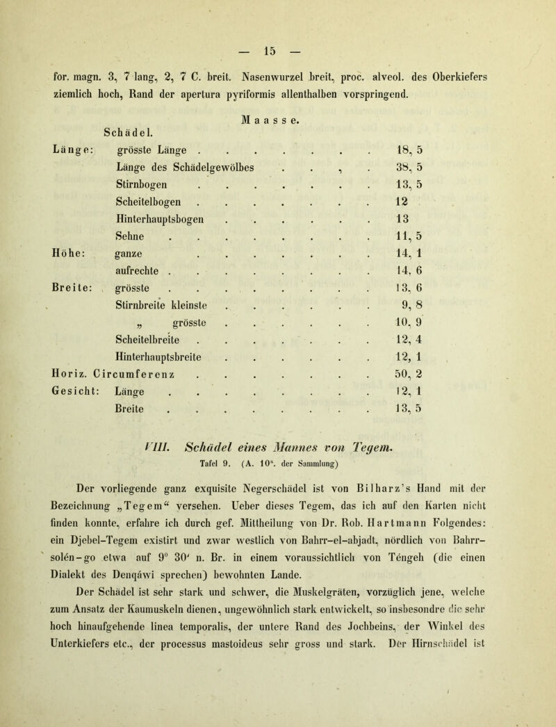 for. magn. 3, 7 lang, 2, 7 C. breit. Nasenwurzel breit, proc. alveol. des Oberkiefers ziemlich hoch, Rand der apertura pyriformis allenthalben vorspringend. M a a s s e. Schädel. Länge: grösste Länge . Länge des Schädelgewölbes Stirnbogen Scheitelbogen Hinterhauptsbogen Sehne Höhe: ganze aufrechte . Bre ite: grösste . Stirnbreite kleinste „ grösste Scheitelbreite Hinterhauptsbreite Horiz. Circumferenz Gesicht: Länge Breite 18, 5 38, 5 13, 5 12 13 11, 5 14, 1 ! 4, 6 13, 6 9, 8 10, 9 12, 4 12, 1 50, 2 12, 1 13, 5 VIII. Schädel eines Mannes von Tegem. Tafel 9. (A. 10a. der Sammlung) Der vorliegende ganz exquisite Negerschädel ist von Bilharz’s Hand mit der Bezeichnung „Tegem“ versehen. Ueber dieses Tegem, das ich auf den Karten nicht linden konnte, erfahre ich durch gef. Mittheilung von Dr. Rob. Hart mann Folgendes: ein Djebel-Tegem existirt und zwar westlich von Bahrr-el-abjadt, nördlich von Bahrr- solen-go etwa auf 9° 30' n. Br. in einem voraussichtlich von Tengeh (die einen Dialekt des Denqäwi sprechen) bewohnten Lande. Der Schädel ist sehr stark und schwer, die Muskelgräten, vorzüglich jene, welche zum Ansatz der Kaumuskeln dienen, ungewöhnlich stark entwickelt, so insbesondre die sehr hoch hinaufgehende linea temporalis, der untere Rand des Jochbeins, der Winkel des Unterkiefers etc., der processus mastoideus sehr gross und stark. Der Hirnschädel ist