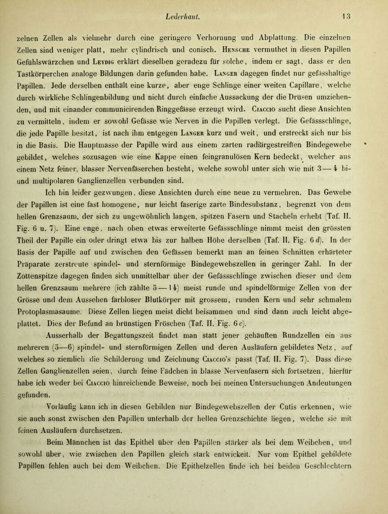 zelnen Zellen als vielmehr durch eine geringere Verhornung und Abplattung. Die einzelnen Zellen sind weniger platt, mehr cylindrisch und conisch. Hensche vermuthet in diesen Papillen Gefühlswärzchen und Leydig erklärt dieselben geradezu für solche, indem er sagt, dass er den Tastkörperchen analoge Bildungen darin gefunden habe. Langer dagegen findet nur gefässhaltige Papillen. Jede derselben enthält eine kurze, aber enge Schlinge einer weiten Lapidare, welche durch wirkliche Schlingenbildung und nicht durch einfache Aussackung der die Drüsen umziehen- den, und mit einander communicirenden Ringgefässe erzeugt wird. Ciaccio sucht diese Ansichten zu vermitteln, indem er sowohl Gefässe wie Nerven in die Papillen verlegt. Die Gefässschlinge, die jede Papille besitzt, ist nach ihm entgegen Langer kurz und weit, und erstreckt sich nur bis in die Basis. Die Hauptmasse der Papille wird aus einem zarten radiärgestreiften Bindegewebe gebildet, welches sozusagen wie eine Kappe einen feingranulösen Kern bedeckt, welcher aus einem Netz feiner, blasser Nervenfäserchen besteht, welche sowohl unter sich wie mit 3 — 4 bi- und multipolaren Ganglienzellen verbunden sind. Ich bin leider gezwungen, diese Ansichten durch eine neue zu vermehren. Das Gewebe der Papillen ist eine fast homogene, nur leicht faserige zarte Bindesubstanz, begrenzt von dem hellen Grenzsaum, der sich zu ungewöhnlich langen, spitzen Fasern und Stacheln erhebt (Taf. II. Fig. 6 u. 7). Eine enge, nach oben etwas erweiterte Gefässschlinge nimmt meist den grössten Theil der Papille ein oder dringt etwa bis zur halben Höhe derselben (Taf. II. Fig. 6 d). In der Basis der Papille auf und zwischen den Gefässen bemerkt man an feinen Schnitten erhärteter Präparate zerstreute spindel- und sternförmige Bindegewebszellen in geringer Zahl. In der Zottenspitze dagegen finden sich unmittelbar über der Gefässschlinge zwischen dieser und dem hellen Grenzsaum mehrere (ich zählte 5—14) meist runde und spindelförmige Zellen von der Grösse und dem Aussehen farbloser Blulkörper mit grossem, runden Kern und sehr schmalem Protoplasmasaume. Diese Zellen liegen meist dicht beisammen und sind dann auch leicht abge- plattet. Dies der Befund an brünstigen Fröschen (Taf. II. Fig. 6 c). Ausserhalb der Begattungszeit findet man statt jener gehäuften Rundzellen ein aus mehreren (o—6) spindel- und sternförmigen Zellen und deren Ausläufern gebildetes Netz, auf welches so ziemlich die Schilderung und Zeichnung Ciaccio’s passt (Taf. II. Fig. 7). Dass diese Zellen Ganglienzellen seien, durch feine Fädchen in blasse Nervenfasern sich fortsetzen, hierfür habe ich weder bei Ciaccio hinreichende Beweise, noch bei meinen Untersuchungen Andeutungen gefunden. Vorläufig kann ich in diesen Gebilden nur Bindegew'ebszellen der Cutis erkennen, wie sie auch sonst zwischen den Papillen unterhalb der hellen Grenzschichte liegen, wrelche sie mit feinen Ausläufern durchsetzen. Beim Männchen ist das Epithel über den Papillen stärker als bei dem Weibchen, und sowohl Uber, wrie zwischen den Papillen gleich stark entwickelt. Nur vom Epithel gebildete Papillen fehlen auch bei dem Weibchen. Die Epithelzellen finde ich bei beiden Geschlechtern
