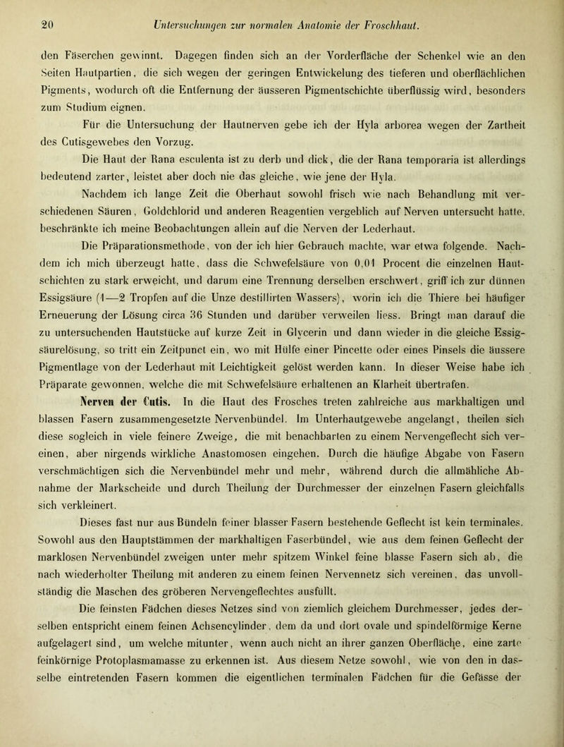den Fäserchen gewinnt. Dagegen finden sich an der Vorderfläche der Schenkel wie an den Seiten Hautpartien, die sich wegen der geringen Entwickelung des tieferen und oberflächlichen Pigments, wodurch oft die Entfernung der äusseren Pigmentschichte überflüssig wird, besonders zum Studium eignen. Für die Untersuchung der Hautnerven gebe ich der Hyla arborea wegen der Zartheit des Cutisgewebes den Vorzug, Die Haut der Rana esculenta ist zu derb und dick, die der Rana temporaria ist allerdings bedeutend zarter, leistet aber doch nie das gleiche, wie jene der Hyla. Nachdem ich lange Zeit die Oberhaut sowohl frisch wie nach Behandlung mit ver- schiedenen Säuren, Goldchlorid und anderen Reagentien vergeblich auf Nerven untersucht hatte, beschränkte ich meine Beobachtungen allein auf die Nerven der Lederhaut. Die Präparationsmethode, von der ich hier Gebrauch machte, war etwa folgende. Nach- dem ich mich überzeugt hatte, dass die Schwefelsäure von 0,01 Procent die einzelnen Haut- schichten zu stark erweicht, und darum eine Trennung derselben erschwert, griff ich zur dünnen Essigsäure (1—2 Tropfen auf die Unze destillirten Wassers), worin ich die Thiere bei häufiger Erneuerung der Lösung circa 36 Stunden und darüber verweilen Hess. Bringt man darauf die zu untersuchenden Hautstücke auf kurze Zeit in Glycerin und dann wieder in die gleiche Essig- säurelösung, so tritt ein Zeitpunct ein, wo mit Hülfe einer Pincette oder eines Pinsels die äussere Pigmentlage von der Lederhaut mit Leichtigkeit gelöst werden kann, ln dieser Weise habe ich Präparate gewonnen, welche die mit Schwefelsäure erhaltenen an Klarheit übertrafen. Nerven der Cutis. In die Haut des Frosches treten zahlreiche aus markhaltigen und blassen Fasern zusammengesetzte Nervenbündel. Im Unterhautgewebe angelangt, theilen sich diese sogleich in viele feinere Zweige, die mit benachbarten zu einem Nervengeflecht sich ver- einen, aber nirgends wirkliche Anastomosen eingehen. Durch die häufige Abgabe von Fasern verschmächtigen sich die Nervenbündel mehr und mehr, während durch die allmähliche Ab- nahme der Markscheide und durch Theilung der Durchmesser der einzelnen Fasern gleichfalls sich verkleinert. Dieses fast nur aus Bündeln feiner blasser Fasern bestehende Geflecht ist kein terminales. Sowohl aus den Hauplstämmen der markhaltigen Faserbündel, wie aus dem feinen Geflecht der marklosen Nervenbündel zweigen unter mehr spitzem Winkel feine blasse Fasern sich ab, die nach wiederholter Theilung mit anderen zu einem feinen Nervennetz sich vereinen, das unvoll- ständig die Maschen des gröberen Nervengeflechtes ausfüllt. Die feinsten Fädchen dieses Netzes sind von ziemlich gleichem Durchmesser, jedes der- selben entspricht einem feinen Achsencylinder, dem da und dort ovale und spindelförmige Kerne aufgelagert sind, um welche mitunter, wenn auch nicht an ihrer ganzen Oberfläche, eine zarte feinkörnige Pfotoplasmamasse zu erkennen ist. Aus diesem Netze sowohl, wie von den in das- selbe eintretenden Fasern kommen die eigentlichen terminalen Fädchen für die Gefässe der