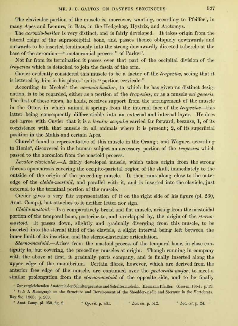 The clavicular portion of the muscle is, moreover, wanting, according to Pfeilfer^ in many Apes and Lemurs, in Bats, in the Hedgehog, Hystrix, and Arctomys. The acromio-basilar is very distinct, and is fairly developed. It takes origin from the lateral ridge of the supraoccipital bone, and passes thence obliquely downwards and outwards to be inserted tendinously into the strong downwardly directed tubercle at the base of the acromion—“ metacromial process ” of Parker^. Not far from its termination it passes over that part of the occipital division of the trapezius which is detached to join the fascia of the arm. Cuvier evidently considered this muscle to be a factor of the trapezius, seeing that it is lettered by him in his plates® as its “ portion cervicale.” According to MeckeP the acromio-basilar, to which he has given no distinct desig- nation, is to be regarded, either as a portion of the trapezius, or as a muscle sui generis. The first of these views, he holds, receives support from the arrangement of the muscle in the Otter, in which animal it springs from the internal face of the trapezius—this latter being consequently differentiable into an external and internal layer. He does not agree with Cuvier that it is a levator scapulce carried far forward, because, 1, of its coexistence with that muscle in all animals where it is present; 2, of its superficial position in the Makis and certain Apes. Church® found a representative of this muscle in the Orang; and Wagner, according to Henle®, discovered in the human subject an accessory portion of the trapezius which passed to the acromion from the mastoid process. Levator claviculce.—A fairly developed muscle, which takes origin from the strong fibrous aponeurosis covering the occipito-parietal region of the skull, immediately to the outside of the origin of the preceding muscle. It then runs along close to the outer edge of the cleido-mastoid, and parallel with it, and is inserted into the clavicle, just external to the terminal portion of the muscle. Cuvier gives a very fair representation of it on the right side of his figure (pi. 260, Anat. Comp.), but attaches to it neither letter nor sign. Cleido-mastoid.—Is a comparatively broad and flat muscle, arising from the mastoidal portion of the temporal bone, posterior to, and overlapped by, the origin of the sterno- mastoid. It passes down, slightly and gradually diverging from this muscle, to be inserted into the sternal third of the clavicle, a slight interval being left between the inner limit of its insertion and the sterno-clavicular articulation. Sterno-mastoid.—Arises from the mastoid process of the temporal bone, in close con- tiguity to, but covering, the preceding muscles at origin. Though running in company with the above at first, it gradually parts company, and is finally inserted along the upper edge of the manubrium. Certain fibres, however, which are derived from the anterior free edge of the muscle, are continued over the pectoralis major, to meet a similar prolongation from the sterno-mastoid of the opposite side, and to be finally * Ziir vergleichenden Anatomie der Schultergeriistes tind Schultennuskeln. Hermann Pfeiffer. Giessen, 1854: p. 13. “ Vide A Monograph on the Structure and Development of the Shoulder-girdle and Sternum in the Vertebrata. Ray Soc. 1868: p. 203. “ Anat. Comp. pi. 259. fig. 2. * Op. cit. p. 481. ’ Loo. cit. p. 512. ® Loc. cit. p. 24.