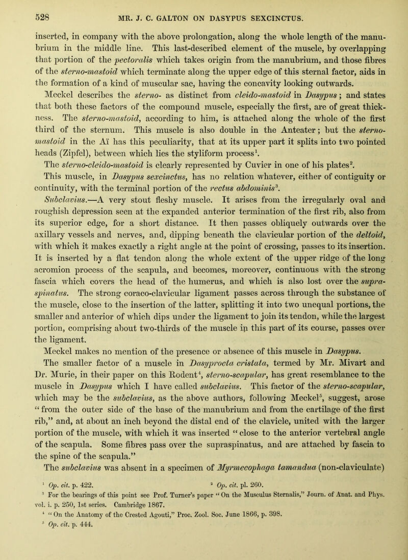 inserted, in company with the above prolongation, along the whole length of the manu- brium in the middle line. This last-described element of the muscle, by overlapping that portion of the pectoralis which takes origin from the manubrium, and those fibres of the sterno-mastoid which terminate along the upper edge of this sternal factor, aids in the formation of a kind of muscular sac, having the concavity looking outwards. Meckel describes the sterno- as distinct from cleido-mastoid in Basypus; and states that both these factors of the compound muscle, especially the first, are of great thick- ness. The sterno-mastoid, according to him, is attached along the whole of the first third of the sternum. This muscle is also double in the Anteater; hut the sterno- mastoid in the Ai has this peculiarity, that at its upper part it splits into two pointed heads (Zipfel), between which lies the styliform process h The sterno-cleido-mastoid is clearly represented by Cuvier in one of his plates^ This muscle, in Basypus sexcinctus, has no relation whatever, either of contiguity or continuity, with the terminal portion of the rectus abdominis^. Subclavius.—A very stout fleshy muscle. It arises from the irregularly oval and roughish depression seen at the expanded anterior termination of the first rib, also from its superior edge, for a short distance. It then passes obliquely outwards over the axillary vessels and nerves, and, dipping beneath the clavicular portion of the deltoid, with which it makes exactly a right angle at the point of crossing, passes to its insertion. It is inserted by a flat tendon along the whole extent of the upper ridge of the long acromion process of the scapula, and becomes, moreover, continuous with the strong fascia which covers the head of the humerus, and which is also lost over the supra- spinatus. The strong coraco-clavicular ligament passes across through the substance of the muscle, close to the insertion of the latter, splitting it into two unequal portions, the smaller and anterior of which dips under the ligament to join its tendon, while the largest portion, comprising about two-thirds of the muscle in this part of its course, passes over the ligament. Meckel makes no mention of the presence or absence of this muscle in Basypus. The smaller factor of a muscle in Basyprocta cristata, termed by Mr. Mivart and Dr. Murie, in their paper on this Dodent^ sterno-scapular, has great resemblance to the muscle in Basypus which I have called subclavius. This factor of the sterno-scapular, which may be the subclavius, as the above authors, following MeckeP, suggest, arose “ from the outer side of the base of the manubrium and from the cartilage of the first rib,” and, at about an inch beyond the distal end of the clavicle, united with the larger portion of the muscle, with which it was inserted “ close to the anterior vertebral angle of the scapula. Some fibres pass over the supraspinatus, and are attached by fascia to the spine of the scapula.” The subclavius was absent in a specimen of Myrmecophaga tamandua (non-claviculate) ' O'p. cit. p. 422. “ Op, cit. pi. 260. ^ Eor the bearings of this point see Prof. Turner’s paper “ On the Musculus Sternalis,” Journ. of Anat. and Phys. vol. i. p. 250, 1st series. Cambridge 1867. ‘ “ On the Anatomy of the Crested Agouti,” Proc. Zool. Soc. June 1866, p. 398. ^ Op. cit. p. 444.