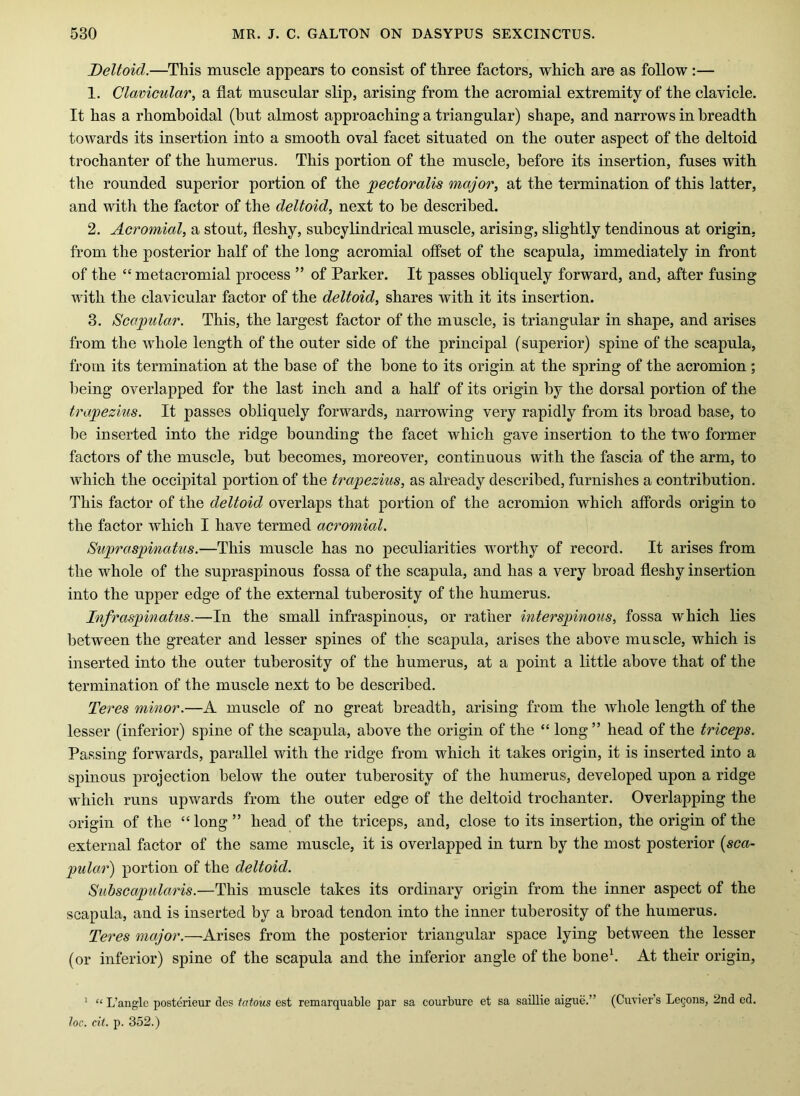 Deltoid.—This muscle appears to consist of three factors, which are as follow :— 1. Clavicular^ a flat muscular slip, arising from the acromial extremity of the clavicle. It has a rhomboidal (but almost approaching a triangular) shape, and narrows in breadth towards its insertion into a smooth oval facet situated on the outer aspeet of the deltoid trochanter of the humerus. This portion of the muscle, before its insertion, fuses with the rounded superior portion of the jpectoralis major, at the termination of this latter, and with the factor of the deltoid, next to be described. 2. Acromial, a stout, fleshy, suhcylindrical muscle, arising, slightly tendinous at origin, from the posterior half of the long acromial offset of the scapula, immediately in front of the “ metacromial process ” of Parker. It passes obliquely forward, and, after fusing with the clavicular factor of the deltoid, shares with it its insertion. 3. Scapular. This, the largest factor of the muscle, is triangular in shape, and arises from the whole length of the outer side of the principal (superior) spine of the scapula, from its termination at the base of the bone to its origin at the spring of the acromion ; being overlapped for the last inch and a half of its origin by the dorsal portion of the trapezius. It passes obliquely forwards, narrowing very rapidly from its broad base, to he inserted into the ridge bounding the facet which gave insertion to the two former factors of the muscle, hut becomes, moreover, eontinuous with the fascia of the arm, to which the occipital portion of the trapezius, as already described, furnishes a contribution. This factor of the deltoid overlaps that portion of the acromion which affords origin to the factor which I have termed acromial. Supraspinatus.—This muscle has no peculiarities worthy of record. It arises from the whole of the supraspinous fossa of the scapula, and has a very broad fleshy insertion into the upper edge of the external tuberosity of the humerus. Infraspinatus.—In the small infraspinous, or rather interspinous, fossa which lies between the greater and lesser spines of the scapula, arises the above muscle, which is inserted into the outer tuberosity of the humerus, at a point a little above that of the termination of the muscle next to he described. Teres minor.—A muscle of no great breadth, arising from the whole length of the lesser (inferior) spine of the seapula, above the origin of the “ long” head of the triceps. Passing forwards, parallel with the ridge from which it takes origin, it is inserted into a spinous projection below the outer tuberosity of the humerus, developed upon a ridge which runs upwards from the outer edge of the deltoid trochanter. Overlapping the origin of the “long” head of the triceps, and, close to its insertion, the origin of the external factor of the same muscle, it is overlapped in turn by the most posterior {sca- pular) portion of the deltoid. Subscapularis.—This muscle takes its ordinary origin from the inner aspeet of the scapula, and is inserted by a broad tendon into the inner tuberosity of the humerus. Teres major.—Arises from the posterior triangular space lying between the lesser (or inferior) spine of the scapula and the inferior angle of the bone\ At their origin, ' “ L’angle posterieur cles fatous est remarquable par sa courbure et sa saillie aigiie.” (Cuvier s Legons, 2nd ed. loc. cit. p. 352.)