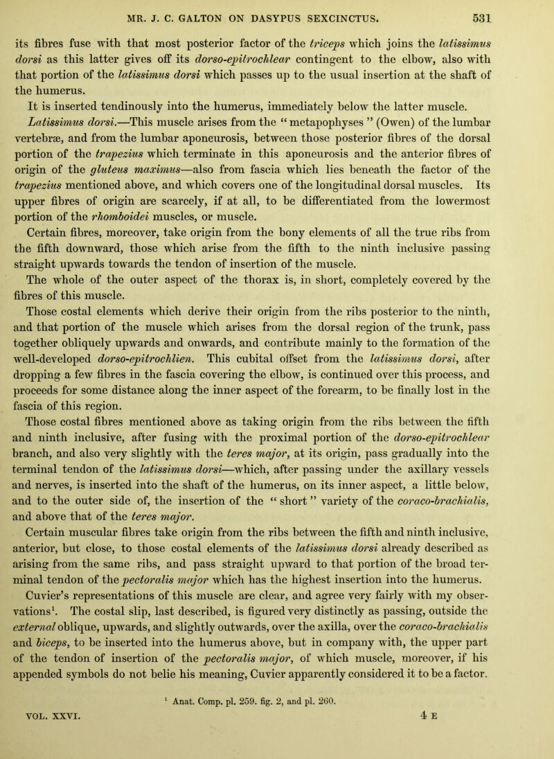 its fibres fuse with that most posterior factor of the triceps which joins the latissimus dorsi as this latter gives off its dorso-epitrochlear contingent to the elbow, also with that portion of the latissimus dorsi which passes up to the usual insertion at the shaft of the humerus. It is inserted tendinously into the humerus, immediately below the latter muscle. Latissimus dorsi.—This muscle arises from the “ metapophyses ” (Owen) of the lumbar vertebrse, and from the lumbar aponeurosis, between those posterior fibres of the dorsal portion of the trapezius which terminate in this aponeurosis and the anterior fibres of origin of the gluteus maximus—also from fascia which lies beneath the factor of the trapezius mentioned above, and which covers one of the longitudinal dorsal muscles. Its upper fibres of origin are scarcely, if at all, to be differentiated from the lowermost portion of the rhomboidei muscles, or muscle. Certain fibres, moreover, take origin from the bony elements of all the true ribs from the fifth downward, those which arise from the fifth to the ninth inclusive passing straight upwards towards the tendon of insertion of the muscle. The whole of the outer aspect of the thorax is, in short, completely covered by the fibres of this muscle. Those costal elements which derive their origin from the ribs posterior to the ninth, and that portion of the muscle which arises from the dorsal region of the trunk, pass together obliquely upwards and onwards, and contribute mainly to the formation of the well-developed dorso-epitrochlien. This cubital offset from the latissimus dorsi, after dropping a few fibres in the fascia covering the elbow, is continued over this process, and proceeds for some distance along the inner aspect of the forearm, to be finally lost in the fascia of this region. Those costal fibres mentioned above as taking origin from the ribs between the fifth and ninth inclusive, after fusing with the proximal portion of the dorso-epitrocJilear branch, and also very slightly with the teres major, at its origin, pass gradually into the terminal tendon of the latissimus dorsi—which, after passing under the axillary vessels and nerves, is inserted into the shaft of the humerus, on its inner aspect, a little below, and to the outer side of, the insertion of the “ short ” variety of the coraco-brachialis, and above that of the teres major. Certain muscular fibres take origin from the rihs between the fifth and ninth inclusive, anterior, but close, to those costal elements of the latissimus dorsi already described as arising from the same ribs, and pass straight upward to that portion of the broad ter- minal tendon of the pectoralis major which has the highest insertion into the humerus. Cuvier’s representations of this muscle are clear, and agree very fairly with my obser- vations \ The costal slip, last described, is figured very distinctly as passing, outside the external oblique, upwards, and slightly outwards, over the axilla, over the coraco-brachialis and biceps, to be inserted into the humerus above, but in company with, the upper part of the tendon of insertion of the pectoralis major, of which muscle, moreover, if his appended symbols do not belie his meaning, Cuvier apparently considered it to be a factor. I E VOL. XXVI. ‘ Anat. Comp, pi, 259. fig. 2, and pi. 260.