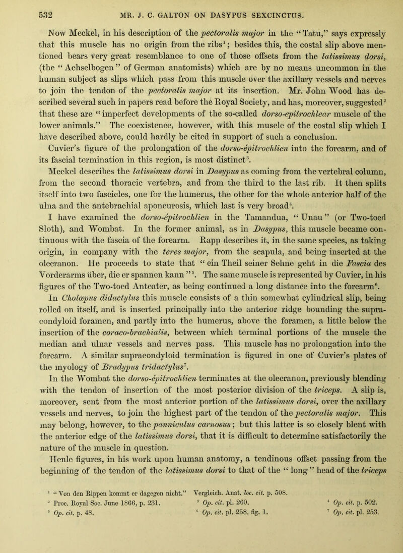 Now Meckel, in his description of ih.Q pectoralis major in the “Tatu,” says expressly that this muscle has no origin from the ribs ^; besides this, the costal slip above men- tioned bears very great resemblance to one of those offsets from the latissimus dorsi, (the “ Achselbogen ” of German anatomists) which are by no means uncommon in the human subject as slips which pass from this muscle over the axiUary vessels and nerves to join the tendon of the pectoralis major at its insertion. Mr. John Wood has de- seribed several such in papers read before the Royal Society, and has, moreover, suggested^ that these are “ imperfect developments of the so-called dorso-epitrochlear muscle of the lower animals.” The coexistence, however, with this muscle of the costal slip which I have described above, could hardly be cited in support of such a conclusion. Cuvier’s figure of the prolongation of the dorso-epitrochlien into the forearm, and of its fascial termination in this region, is most distinct®. Meckel describes the latissimus dorsi in Dasypus as coming from the vertebral column, from the second thoracic vertebra, and from the third to the last rib. It then splits itself into two fascicles, one for the humerus, the other for the whole anterior half of the ulna and the antebrachial aponeurosis, which last is very broad^. I have examined the dorso-epitrochlien in the Tamandua, “ Unau ” (or Two-toed Sloth), and Wombat. In the former animal, as in Dasypus, this muscle became con- tinuous with the fascia of the forearm. Rapp describes it, in the same species, as taking origin, in company with the teres major, from the scapula, and being inserted at the olecranon. He proceeds to state that “ ein Theil seiner Sehne geht in die Fascia des Vorderarms fiber, die er spannen kann ” The same muscle is represented by Cuvier, in his figures of the Two-toed Anteater, as being continued a long distance into the forearm‘d. In Choloepus didactylus this muscle consists of a thin somewhat cylindrical slip, being rolled on itself, and is inserted principally into the anterior ridge bounding the supra- condyloid foramen, and partly into the humerus, above the foramen, a little below the insertion of the coraco-braelfiialis, between which terminal portions of the muscle the median and ulnar vessels and nerves pass. This muscle has no prolongation into the forearm. A similar supracondyloid termination is figured in one of Cuvier’s plates of the myology of Bradypus tridactylus'^. In the Wombat the dorso-epitrochlien terminates at the olecranon, previously blending with the tendon of insertion of the most posterior division of the triceps. A slip is, moreover, sent from the most anterior portion of the latissimus dorsi, over the axillary vessels and nerves, to join the highest part of the tendon of the, pectoralis major. This may belong, however, to the panniculus carnosus; but this latter is so closely blent with the anterior edge of the latissimus dorsi, that it is difficult to determine satisfactorily the nature of the muscle in question. Henle figures, in his work upon human anatomy, a tendinous offset passing from the beginning of the tendon of the latissimus dorsi to that of the “ long ” head of the triceps ' “ Von den Rippen kommt er dagegen nicht.” Vergleich. Anat. loc. cit. p. 508. “ Proe. Royal Soc. June 1866, p, 231. ^ Op. cit. pi. 260. ® Op. cit. p. 48. ® Op. cit. pi. 258. fig. 1. * Op. cit. p. 502. '' Op. cit. pi. 253.