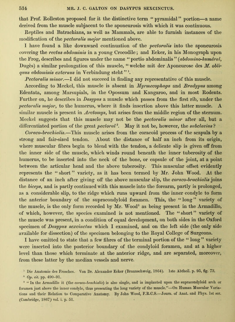 that Prof. E/oUeston proposed for it the distinctive term “pyramidal” portion—a name derived from the muscle subjacent to the aponeurosis with which it was continuous. Reptiles and Batrachians, as well as Mammals, are able to furnish instances of the modification of the pectoralis major mentioned above. I have found a like downward continuation of the 'pectoralis into the aponeurosis covering the rectus abdominis in a young Crocodile; and Ecker, in his Monograph upon the Erog, describes and figures under the name “portio abdominalis ” {abdomino-humeral, Buges) a similar prolongation of this muscle, “ welche mit der Aponeurose des M. obli- quus abdominis externus in Verbindung steht ” Pectoralis minor.—I did not succeed in finding any representative of this muscle. According to Meckel, this muscle is absent in Myrmecophaga and Bradypus among Edentata, among Marsupials, in the Opossum and Kangaroo, and in most Rodents. Eurther on, he describes in Dasypus a muscle which passes from the first rib, under the pectoralis may or ^ to the humerus, where it finds insertion above this latter muscle. A similar muscle is present in Arctomys, but arises from the middle region of the sternum. Meckel suggests that this muscle may not be the pectoralis minor after all, but a differentiated portion of the great pectoral May it not be, however, the subclarius ? Coraco-bracbialis.—This muscle arises from the coracoid process of the scapula by a strong and fair-sized tendon. About the distance of half an inch from its origin, where muscular fibres begin to blend with the tendon, a delicate slip is given off from the inner side of the muscle, which winds round beneath the inner tuberosity of the humerus, to be inserted into the neck of the bone, or capsule of the joint, at a point between the articular head and the above tuberosity. This muscular offset evidently represents the “ short ” variety, as it has been termed by Mr. John Wood. At the distance of an inch after giving off the above muscular slip, the coraco-bracJiialis joins the biceps, and is partly continued with this muscle into the forearm, partly is prolonged, as a considerable slip, to the ridge which runs upward from the inner condyle to form the anterior boundary of the supracondyloid foramen. This, the “ long ” variety of the muscle, is the only form recorded by Mr. Wood^ as being present in the Armadillo, of which, however, the species examined is not mentioned. The “ short ” variety of the muscle was present, in a condition of equal development, on both sides in the Oxford specimen of Dasypus sexcinctus which I examined, and on the left side (the only side available for dissection) of the specimen belonging to the Royal College of Surgeons. I have omitted to state that a few fibres of the terminal portion of the “ long ” variety were inserted into the posterior boundary of the condyloid foramen, and at a higher level than those which terminate at the anterior ridge, and are separated, moreover, from these latter by the median vessels and nerve. ' Die Anatomie des Frosches. Von Dr. Alexander Ecker (Braunschweig, 1864). Iste Abtheil. p. 95, fig. 73, “ Op. cit. pp. 490-91. ^ “ In the Armadillo it (the coraco-brachialis) is also single, and is implanted upon the supracondyloid arch or foramen just above the inner condyle, thus presenting the long variety of the muscle.”—On Human Muscular Varia- tions and their Relation to Comparative Anatomy. By John Wood, F.R.C.S.—Journ. of Anat. and Phys. 1st scr. (Cambridge, 1867) vol. i. p. 51.