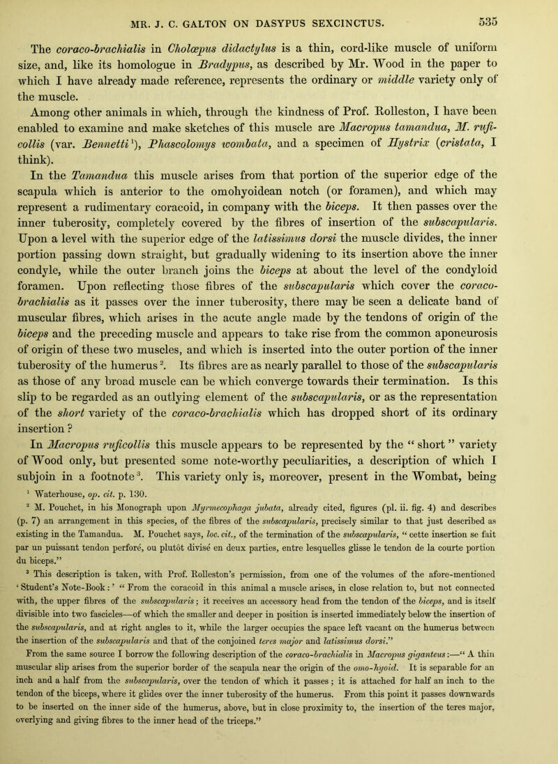 The coraco-bracMalis in Choloejpus didactylus is a thin, cord-like muscle of uniform size, and, like its homologue in Bradypus, as described by Mr. Wood in the paper to which I have already made reference, represents the ordinary or middle variety only of the muscle. Among other animals in which, through the kindness of Prof. Rolleston, I have been enabled to examine and make sketches of this muscle are Macropus tamandua, M. rufi- collis (var. JBennetti^), Bhascolomys wombata, and a specimen of Hystrix {cristata, I think). In the Tamandua this muscle arises from that portion of the superior edge of the scapula which is anterior to the omohyoidean notch (or foramen), and which may represent a rudimentary coracoid, in company with the biceps. It then passes over the inner tuberosity, completely covered by the fibres of insertion of the subscapularis. Upon a level with the superior edge of the latissiniiis dorsi the muscle divides, the inner portion passing down straight, but gradually widening to its insertion above the inner condyle, while the outer branch joins the biceps at about the level of the condyloid foramen. Upon reflecting those fibres of the subscapularis which cover the coraco- brachialis as it passes over the inner tuberosity, there may be seen a delicate band of muscular fibres, which arises in the acute angle made by the tendons of origin of the biceps and the preceding muscle and appears to take rise from the common aponeurosis of origin of these two muscles, and which is inserted into the outer portion of the inner tuberosity of the humerus Its fibres are as nearly parallel to those of the subscapularis as those of any broad muscle can be which converge towards their termination. Is this slip to be regarded as an outlying element of the subscapularis, or as the representation of the short variety of the coraco-brachialis which has dropped short of its ordinary insertion ? In Macropus ruficolUs this muscle appears to be represented by the “ short ” variety of Wood only, but presented some note-worthy peculiarities, a description of which I subjoin in a footnote'^. This variety only is, moreover, present in the Wombat, being ^ Waterhouse, op. at. p. 130. ^ M. Pouchet, in his Monograph upon Myrmecophaga jubata, already cited, figures (pi. ii. fig. 4) and describes (p. 7) an arrangement in this species, of the fibres of the subscapularis, precisely similar to that just described as existing in the Tamandua. M. Pouchet says, loc. cit., of the termination of the subscapularis, “ cette insertion se fait par un puissant tendon perfore, ou plutot divise en deux parties, entre lesqueUes glisse le tendon de la courte portion du biceps.” ^ This description is taken, with Prof. RoUeston’s permission, from one of the volumes of the afore-mentioned ‘ Student’s Note-Book; ’ “ From the coracoid in this animal a muscle arises, in close relation to, but not connected with, the upper fibres of the subscapularis; it receives an accessory head from the tendon of the biceps, and is itself divisible into two fascicles—of which the smaller and deeper in position is inserted immediately below the insertion of the subscapularis, and at right angles to it, while the larger occupies the space left vacant on the humerus between the insertion of the subscapularis and that of the conjoined teres major and latissimus dorsi.” From the same source I borrow the following description of the coraco-brachialis in Macropus giganteus:—“ A thin muscular slip arises from the superior border of the scapula near the origin of the omo-hyoid. It is separable for an inch and a half from the subscapularis, over the tendon of which it passes; it is attached for half an inch to the tendon of the biceps, where it glides over the inner tuberosity of the humerus. From this point it passes downwards to he inserted on the inner side of the humerus, above, but in close proximity to, the insertion of the teres major, overlying and giving fibres to the inner head of the triceps.”