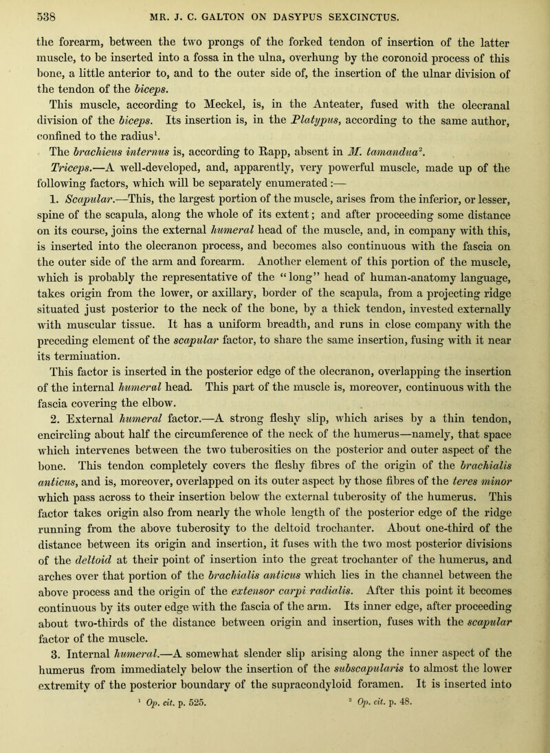 the forearm, between the two prongs of the forked tendon of insertion of the latter muscle, to be inserted into a fossa in the nlna, overhung by the coronoid process of this bone, a little anterior to, and to the outer side of, the insertion of the ulnar division of the tendon of the biceps. This muscle, according to Meckel, is, in the Anteater, fused with the olecranal division of the biceps. Its insertion is, in the 'Platypus, according to the same author, confined to the radius h / The bracMeus internus is, according to Happ, absent in M. tamandua^. Triceps.—A well-developed, and, apparently, very powerful muscle, made up of the following factors, which will be separately enumerated:— 1. Scapular.—This, the largest portion of the muscle, arises from the inferior, or lesser, spine of the scapula, along the whole of its extent; and after proceeding some distance on its course, joins the external 'humeral head of the muscle, and, in company with this, is inserted into the olecranon process, and becomes also continuous with the fascia on the outer side of the arm and forearm. Another element of this portion of the muscle, which is probably the representative of the “long” head of human-anatomy language, takes origin from the lower, or axillary, border of the scapula, from a projecting ridge situated just posterior to the neck of the bone, by a thick tendon, invested externally with muscular tissue. It has a uniform breadth, and runs in close company with the preceding element of the scapular factor, to share the same insertion, fusing with it near its termination. This factor is inserted in the posterior edge of the olecranon, overlapping the insertion of the internal humeral head. This part of the muscle is, moreover, continuous with the fascia covering the elbow. 2. External humeral factor.—A strong fleshy slip, which arises by a thin tendon, encircling about half the circumference of the neck of the humerus—namely, that space wEich intervenes between the two tuberosities on the posterior and outer aspect of the bone. This tendon completely covers the fleshy fibres of the origin of the brachialis anticus, and is, moreover, overlapped on its outer aspect by those fibres of the teres minor which pass across to their insertion below the external tuberosity of the humerus. This factor takes origin also from nearly the whole length of the posterior edge of the ridge running from the above tuberosity to the deltoid trochanter. About one-third of the distance between its origin and insertion, it fuses with the two most posterior divisions of the deltoid at their point of insertion into the great trochanter of the humerus, and arches over that portion of the brachialis anticus which lies in the channel between the above process and the origin of the extensor carpi radialis. After this point it becomes continuous by its outer edge with the fascia of the arm. Its inner edge, after proceeding about two-thirds of the distance between origin and insertion, fuses with the scapular factor of the muscle. 3. Internal humeral.—A somewhat slender slip arising along the inner aspect of the humerus from immediately below the insertion of the subscapularis to almost the lower extremity of the posterior boundary of the supracondyloid foramen. It is inserted into