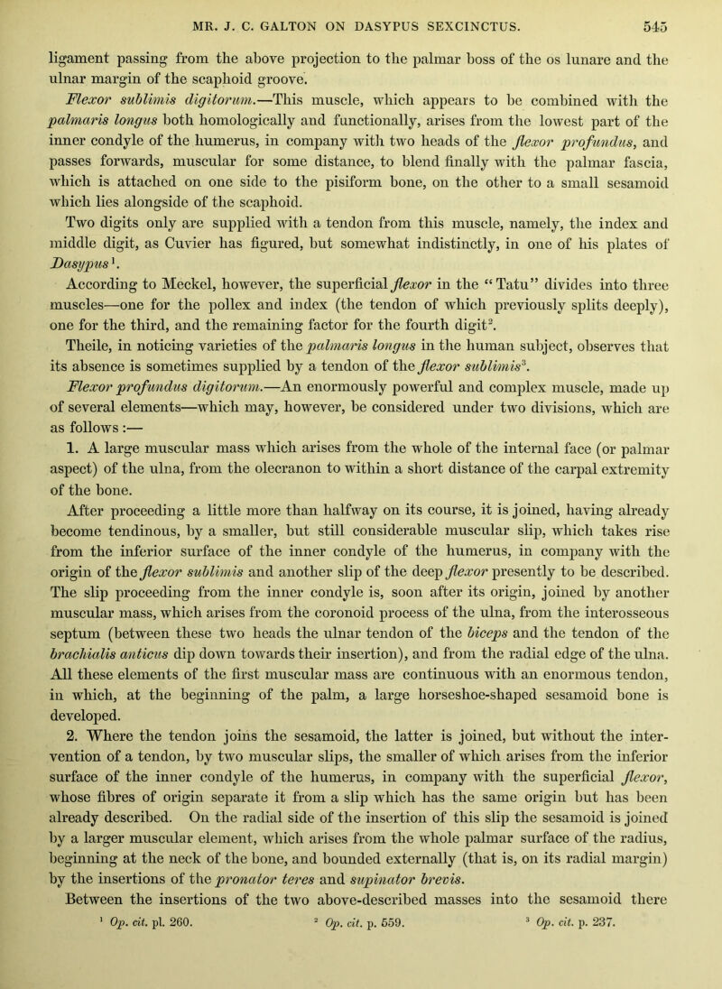 ligament passing from the above projection to the palmar boss of the os lunare and the ulnar margin of the scaphoid groove. Flexor sublimis digitorimi.—This muscle, which appears to be combined with the palmaris longus both homologically and functionally, arises from the lowest part of the inner condyle of the humerus, in company with two heads of the flexor profundus, and passes forwards, muscular for some distance, to blend finally with the palmar fascia, which is attached on one side to the pisiform bone, on the other to a small sesamoid which lies alongside of the scaphoid. Two digits only are supplied with a tendon from this muscle, namely, the index and middle digit, as Cuvier has figured, hut somewhat indistinctly, in one of his plates of Fasypus^. According to Meckel, however, the superficial flexor in the “Tatu” divides into three muscles—one for the pollex and index (the tendon of which previously splits deeply), one for the third, and the remaining factor for the fourth digit Theile, in noticing varieties of palmaris longus in the human subject, observes that its absence is sometimes supplied by a tendon of the flexor suhlinnis^. Flexor profundus digitorum.—An enormously powerful and complex muscle, made up of several elements—which may, however, be considered under two divisions, which are as follows:— 1. A large muscular mass which arises from the whole of the internal face (or palmar aspect) of the ulna, from the olecranon to within a short distance of the carpal extremity of the bone. After proceeding a little more than halfway on its course, it is joined, having already become tendinous, by a smaller, but still considerable muscular slip, which takes rise from the inferior surface of the inner condyle of the humerus, in company with the origin of the flexor suhlimis and another slip of the flexor presently to be described. The slip proceeding from the inner condyle is, soon after its origin, joined by another muscular mass, which arises from the coronoid process of the ulna, from the interosseous septum (between these two heads the ulnar tendon of the biceps and the tendon of the brachialis anticus dip down towards their insertion), and from the radial edge of the ulna. All these elements of the first muscular mass are continuous with an enormous tendon, in which, at the beginning of the palm, a large horseshoe-shaped sesamoid bone is developed. 2. Where the tendon joins the sesamoid, the latter is joined, but without the inter- vention of a tendon, by two muscular slips, the smaller of which arises from the inferior surface of the inner condyle of the humerus, in company with the superficial flexor, whose fibres of origin separate it from a slip which has the same origin but has been already described. On the radial side of the insertion of this slip the sesamoid is joined by a larger muscular element, which arises from the whole palmar surface of the radius, beginning at the neck of the bone, and bounded externally (that is, on its radial margin) by the insertions of pronator teres and supinator brems. Between the insertions of the two above-described masses into the sesamoid there