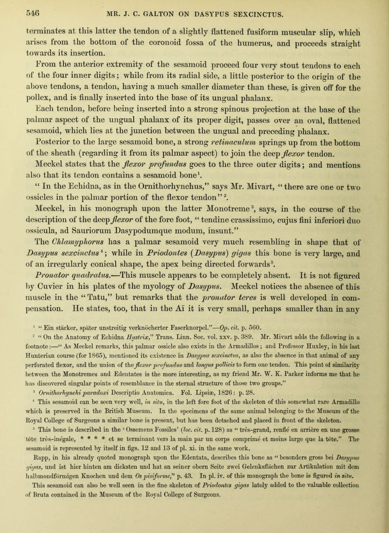 terminates at this latter the tendon of a slightly flattened fusiform muscular slip, which arises from the bottom of the coronoid fossa of the humerus, and proceeds straight towards its insertion. From the anterior extremity of the sesamoid proceed four very stout tendons to each of the four inner digits; while from its radial side, a little posterior to the origin of the above tendons, a tendon, having a much smaller diameter than these, is given off for the pollex, and is finally inserted into the base of its ungual phalanx. Each tendon, before being inserted into a strong spinous projection at the base of the palmar aspect of the ungual phalanx of its proper digit, passes over an oval, flattened sesamoid, which lies at the junction between the ungual and preceding phalanx. Posterior to the large sesamoid bone, a strong retinaculum springs up from the bottom of the sheath (regarding it from its palmar aspect) to join the flexor tendon. Meckel states that the flexor profundus goes to the three outer digits; and mentions also that its tendon contains a sesamoid boneb “ In the Echidna, as in the Ornithorhynchus,” says Mr. Mivart, “ there are one or two ossicles in the palmar portion of the flexor tendon”^. Meckel, in his monograph upon the latter Monotremeb says, in the course of the description of the deep flexor of the fore foot, “ tendine crassissimo, cujus fini inferiori duo ossicula, ad Sauriorum Dasypodumque modum, insunt.” The Chlamyphorus has a palmar sesamoid very much resembling in shape that of Dasypus sexcinctus^ \ while in Friodontes [Dasypus) gigas this bone is very large, and of an irregularly conical shape, the apex being directed forwards®. Fronator quadratus.—This muscle appears to be completely absent. It is not figured by Cuvier in his plates of the myology of Dasypus. Meckel notices the absence of this muscle in the “ Tatu,” but remarks that the pronator teres is well developed in com- pensation. He states, too, that in the Ai it is very small, perhaps smaller than in any ' “ Ein starker, spater imstreitig verknocherter Faserknorpel.”—0^. cit. p. 560. ' “ On the Anatomy of Echidna Hystrix,” Trans. Linn. Soc. vol. xxv. p. 389. Mr. Mivart adds the following in a footnote:—“ As Meckel remarks, this palmar ossicle also exists in the Armadillos; and Professor Huxley, in his last Hunterian course (for 1865), mentioned its existence in Dasypus sexcinctus, as also the absence in that animal of any perforated flexor, and the union of flexor profundus and lonyus poUicis to form one tendon. This point of similarity between the Monotremes and Edentates is the more interesting, as my friend Mr. W. K. Parker informs me that he has discovered singular points of resemblance in the sternal structure of those two groups.” •’ OrnithorhyncM paradoxi DescTi-ptio Auatomica. Eol. lipsise, 1826; p. 28. ■* This sesamoid can be seen very well, in situ, in the left fore foot of the skeleton of this somewhat rare Armadillo which is preserved in the British Museum. In the specimens of the same animal belonging to the Museum of the Royal College of Surgeons a similar bone is present, but has been detached and placed in front of the skeleton. ® This bone is described in the ‘ Ossemens Fossiles’ (loc. cit. p. 128) as “ tres-grand, renfle en arriere en une grosse tete tres-inegale, * * * * et se terminant vers la main par un corps comprime et moins large que la tete.” The sesamoid is represented hy itself in figs. 12 and 13 of pi. xi. in the same work. Rapp, in his already quoted monograph upon the Edentata, describes this bone as “ besonders gross bei Dasypus (jiyas, und ist hier hinten am dicksten und hat an seiner obern Seite zwei Gelenksflachen zur Artikulation mit dem halbmondformigen Knochen und dem Os pisiformef p. 43. In pi. iv. of this monograph the bone is figured in situ. This sesamoid can also be well seen in the fine skeleton of Priodontes gigas lately added to the valuable collection of Bruta contained in the Museum of the Royal College of Surgeons.