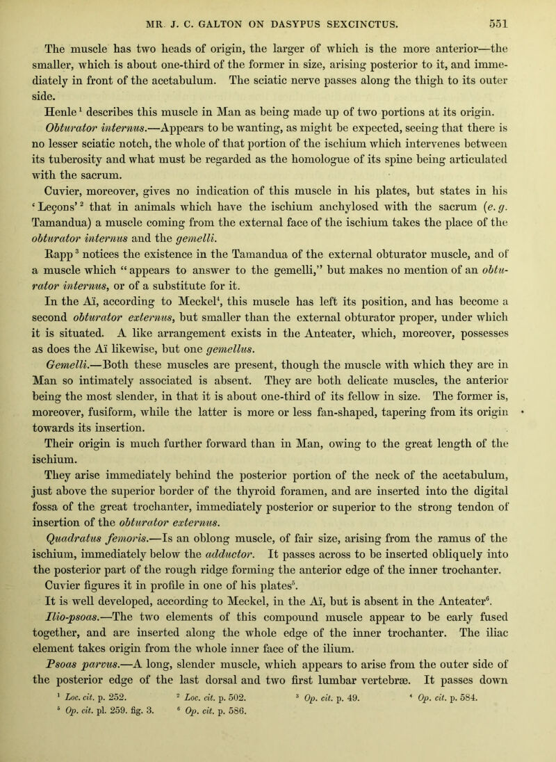 The muscle has two heads of origin, the larger of which is the more anterior—the smaller, which is about one-third of the former in size, arising posterior to it, and imme- diately in front of the acetabulum. The sciatic nerve passes along the thigh to its outer side. Henle ^ describes this muscle in Man as being made up of two portions at its origin. Obturator mternus.—Appears to be wanting, as might be expected, seeing that there is no lesser sciatic notch, the whole of that portion of the ischium which intervenes between its tuberosity and what must be regarded as the homologue of its spine being articulated with the sacrum. Cuvier, moreover, gives no indication of this muscle in his plates, but states in his ‘Le9ons’^ that in animals which have the ischium anchylosed with the sacrum {e.g. Tamandua) a muscle coming from the external face of the ischium takes the place of the obturator internus and the gemelli. Rapp ® notices the existence in the Tamandua of the external obturator muscle, and of a muscle which “ appears to answer to the gemelli,” but makes no mention of an obtu- rator internus^ or of a substitute for it. In the Ai, according to Meckek, this muscle has left its position, and has become a second obturator externus, but smaller than the external obturator proper, under which it is situated. A like arrangement exists in the Anteater, which, moreover, possesses as does the Ai likewise, but one gemellus. Gemelli.—Both these muscles are present, though the muscle with which they are in Man so intimately associated is absent. They are both delicate muscles, the anterior being the most slender, in that it is about one-third of its fellow in size. The former is, moreover, fusiform, while the latter is more or less fan-shaped, tapering from its origin towards its insertion. Their origin is much further forward than in Man, owing to the great length of the ischium. They arise immediately behind the posterior portion of the neck of the acetabulum, just above the superior border of the thyroid foramen, and are inserted into the digital fossa of the great trochanter, immediately posterior or superior to the strong tendon of insertion of the obturator externus. Quadratus femoris.—Is an oblong muscle, of fair size, arising from the ramus of the ischium, immediately below the adductor. It passes across to be inserted obliquely into the posterior part of the rough ridge forming the anterior edge of the inner trochanter. Cuvier figures it in profile in one of his plates®. It is well developed, according to Meckel, in the Ai, but is absent in the Anteater®. Ilio-psoas.—The two elements of this compound muscle appear to be early fused together, and are inserted along the whole edge of the inner trochanter. The iliac element takes origin from the whole inner face of the ilium. Psoas parvus.—A long, slender muscle, which appears to arise from the outer side of the posterior edge of the last dorsal and two first lumbar vertebrae. It passes down ® Ojp. cit. pi. 259. fig. 3. ® Op. cit. p. 586.