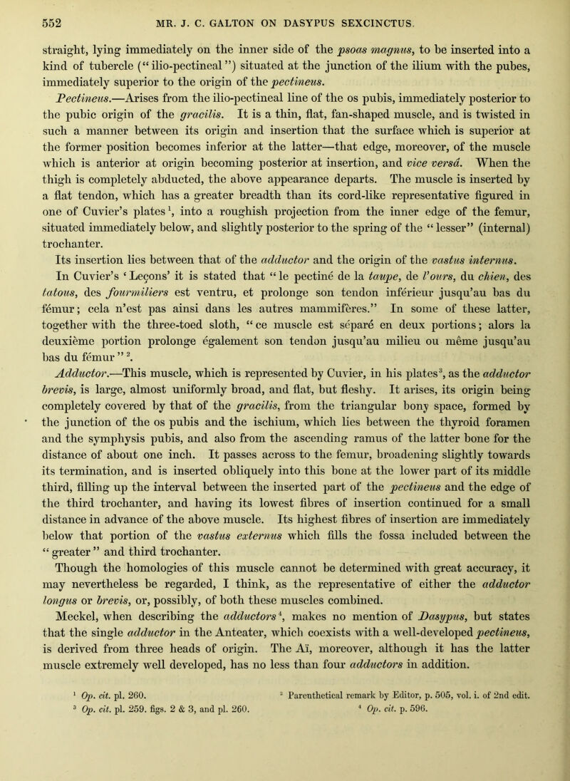 straight, lying immediately on the inner side of the psoas magnuSy to be inserted into a kind of tubercle (“ ilio-pectineal ”) situated at the junction of the ilium with the pubes, immediately superior to the origin of the pectineus. Fectineus.—Arises from the ilio-pectineal line of the os pubis, immediately posterior to the pubic origin of the gracilis. It is a thin, flat, fan-shaped muscle, and is twisted in such a manner between its origin and insertion that the surface which is superior at the former position becomes inferior at the latter—that edge, moreover, of the muscle which is anterior at origin becoming posterior at insertion, and vice versa. When the thigh is completely abducted, the above appearance departs. The muscle is inserted by a flat tendon, which has a greater breadth than its cord-like representative figured in one of Cuvier’s plates S into a roughish projection from the inner edge of the femur, situated immediately below, and slightly posterior to the spring of the “ lesser” (internal) trochanter. Its insertion lies between that of the adductor and the origin of the vastus internus. In Cuvier’s ‘ Lc9ons’ it is stated that “ le pectine de la taupe, de Vours, du chien, des tatous, des fourmiliers est ventru, et prolonge son tendon inferieur jusqu’au has du femur; cela n’est pas ainsi dans les autres mammiferes.” In some of these latter, together with the three-toed sloth, “ ce muscle est separe en deux portions; alors la deuxieme portion prolonge egalement son tendon jusqu’au milieu ou meme jusqu’au has du femur ” Adductor.-—This muscle, which is represented by Cuvier, in his plates®, as the adductor brevis, is large, almost uniformly broad, and flat, but fleshy. It arises, its origin being completely covered by that of the gracilis, from the triangular bony space, formed by the junction of the os pubis and the ischium, which lies between the thyroid foramen and the symphysis pubis, and also from the ascending ramus of the latter bone for the distance of about one inch. It passes across to the femur, broadening slightly towards its termination, and is inserted obliquely into this hone at the lower part of its middle third, filling up the interval between the inserted part of the pectineus and the edge of the third trochanter, and having its lowest fibres of insertion continued for a small distance in advance of the above muscle. Its highest fibres of insertion are immediately below that portion of the vastus externus which fills the fossa included between the “ greater ” and third trochanter. Though the homologies of this muscle cannot be determined with great accuracy, it may nevertheless be regarded, I think, as the representative of either the adductor longus or brevis, or, possibly, of both these muscles combined. Meckel, when describing the adductors makes no mention of JDasypus, but states that the single adductor in the Anteater, which coexists with a well-developed pectineus, is derived from three heads of origin. The Ai, moreover, although it has the latter muscle extremely well developed, has no less than four adductors in addition. ^ Parenthetical remark by Editor, p. 505, vol. i. of 2nd edit. * Op. cit. p. 596. * Op. cit. pi. 260. ® Op. cit. pi. 259. figs. 2 & 3, and pi. 260.