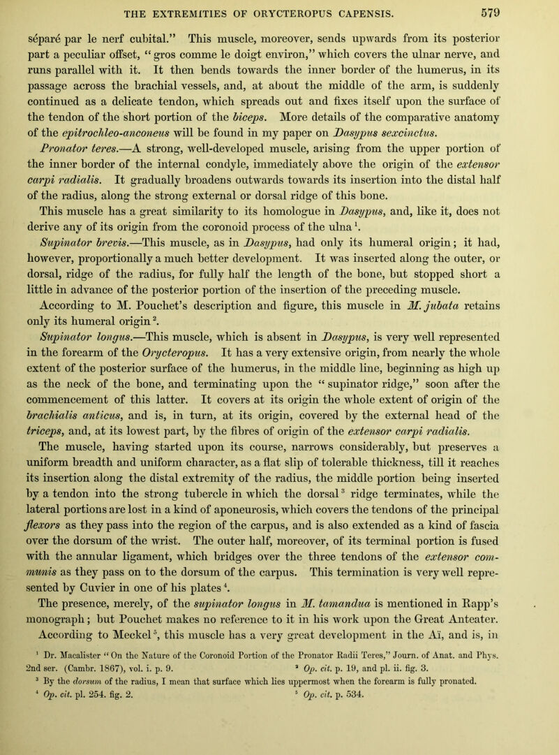 separe par le nerf cubital.” This muscle, moreover, sends upwards from its posterior part a peculiar offset, “ gros comme le doigt environ,” which covers the ulnar nerve, and runs parallel with it. It then bends towards the inner border of the humerus, in its passage across the brachial vessels, and, at about the middle of the arm, is suddenly continued as a delicate tendon, which spreads out and fixes itself upon the surface of the tendon of the short portion of the biceps. More details of the comparative anatomy of the epitrochleo-anconeus will be found in my paper on Dasypus sexcinctus. Pronator teres.—A strong, well-developed muscle, arising from the upper portion of the inner border of the internal condyle, immediately above the origin of the extensor carpi radialis. It gradually broadens outwards towards its insertion into the distal half of the radius, along the strong external or dorsal ridge of this bone. This muscle has a great similarity to its homologue in Dasypus, and, like it, does not derive any of its origin from the coronoid process of the ulna b Supinator brevis.—This muscle, as in Dasypus, had only its humeral origin; it had, however, proportionally a much better development. It was inserted along the outer, or dorsal, ridge of the radius, for fully half the length of the bone, but stopped short a little in advance of the posterior portion of the insertion of the preceding muscle. According to M. Pouchet’s description and figure, this muscle in M.jubata retains only its humeral origin Supinator longus.—This muscle, which is absent in Dasypus, is very well represented in the forearm of the Orycteropus. It has a very extensive origin, from nearly the whole extent of the posterior surface of the humerus, in the middle line, beginning as high up as the neck of the bone, and terminating upon the “ supinator ridge,” soon after the commencement of this latter. It covers at its origin the whole extent of origin of the brachialis anticus, and is, in turn, at its origin, covered by the external head of the triceps, and, at its lowest part, by the fibres of origin of the extensor carpi radialis. The muscle, having started upon its course, narrows considerably, but preserves a uniform breadth and uniform character, as a flat slip of tolerable thickness, till it reaches its insertion along the distal extremity of the radius, the middle portion being inserted by a tendon into the strong tubercle in which the dorsal ® ridge terminates, while the lateral portions are lost in a kind of aponeurosis, which covers the tendons of the principal flexors as they pass into the region of the carpus, and is also extended as a kind of fascia over the dorsum of the wrist. The outer half, moreover, of its terminal portion is fused with the annular ligament, which bridges over the three tendons of the extensor com- munis as they pass on to the dorsum of the carpus. This termination is very well repre- sented by Cuvier in one of his plates The presence, merely, of the supinator longus in M. tamandua is mentioned in Rapp’s monograph; but Pouchet makes no reference to it in his work upon the Great Anteater. According to MeckeP, this muscle has a very great development in the Ai, and is, in ^ Dr. Macalister “ On the Nature of the Coronoid Portion of the Pronator Radii Teres,” Journ. of Anat. and Phys. 2nd ser. (Camhr. 1867), vol. i. p. 9. “ 0^. cit. p. 19, and pi. ii. fig. 3. ^ By the dorsum of the radius, I mean that surface which lies uppermost when the forearm is fully pronated. ^ Op. cit. pi. 254. fig. 2. ® Op. cit. p. 534.