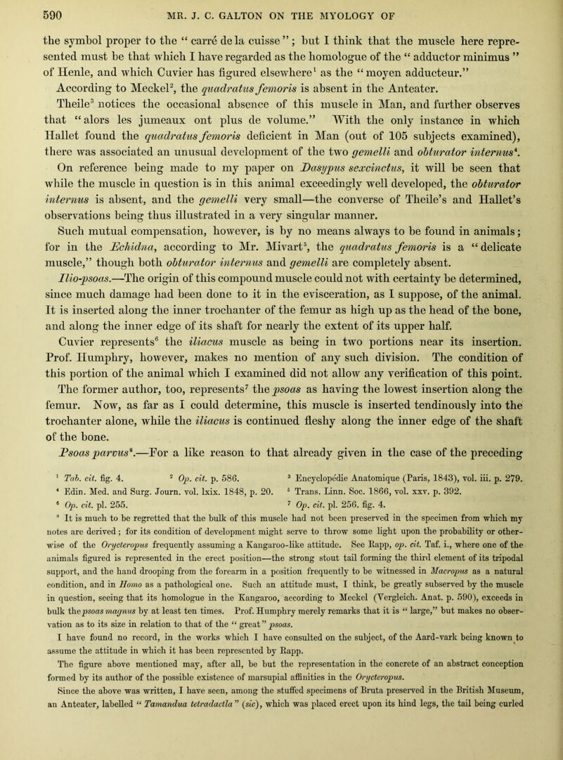 the symbol proper to the “ carre dela cuisse ” ; but I think that the muscle here repre- sented must be that which I have regarded as the homologue of the “ adductor minimus ” of Henle, and which Cuvier has figured elsewhere^ as the “moyen adducteur.” According to MeckeP, the quadratus femoris is absent in the Anteater. Theile® notices the occasional absence of this muscle in Man, and further observes that “alors les jumeaux out plus de volume.” With the only instance in which Hallet found the quadratus femoris deficient in Man (out of 105 subjects examined), there was associated an unusual development of the two gemelli and obturator internus*. On reference being made to my paper on Dasypus sexcinctus, it will be seen that while the muscle in question is in this animal exceedingly well developed, the obturator internus is absent, and the gemelli very small—the converse of Theile’s and Hallet’s observations being thus illustrated in a very singular manner. Such mutual compensation, however, is by no means always to be found in animals; for in the Echidna, according to Mr. Mivart®, the quadratus femoris is a “ delicate muscle,” though both obturator internus and gemelli are completely absent. Ilio-qysoas.—The origin of this compound muscle could not with certainty be determined, since much damage had been done to it in the evisceration, as I suppose, of the animal. It is inserted along the inner trochanter of the femur as high up as the head of the bone, and along the inner edge of its shaft for nearly the extent of its upper half. Cuvier represents® the iliacus muscle as being in two portions near its insertion. Prof. Humphry, however, makes no mention of any such division. The condition of this portion of the animal which I examined did not allow any verification of this point. The former author, too, represents^ the qysoas as having the lowest insertion along the femur. Now, as far as I could determine, this muscle is inserted tendinously into the trochanter alone, while the iliacus is continued fleshy along the inner edge of the shaft of the bone. Fsoas parvus^.—Por a like reason to that already given in the case of the preceding ' Tah. cit. fig. 4. ^ cit. p. 586. ^ Encyclopedie Anatomique (Paris, 1843), vol. iii. p. 279. * Edin. Med. and Surg. Journ. vol. Lxix. 1848, p. 20. ‘ Trans. Linn. Soc. 1866, vol. sxv. p. 392. ' Op. cit. pi. 255. ^ Op. cit. pi. 256. fig. 4. It is nmcli to be regretted that the bulk of this muscle had not been preserved in the specimen from which my notes are derived; for its condition of development might serve to throw some light upon the probability or other- wise of the Orycteropus frequently assuming a Kangaroo-Uke attitude. See Rapp, op. cit. Taf. i., where one of the animals figured is rejiresented in the erect position—the strong stout tail forming the third element of its tripodal support, and the hand drooping from the forearm in a position frequently to be witnessed in Macropus as a natural condition, and in Homo as a pathological one. Such an attitude must, I think, be greatly subserved by the muscle in question, seeing that its homolognie in the Kangaroo, according to Meckel (Vergleich. Anat. p. 590), exceeds in bidk the psoas magnus by at least ten times. Prof. Humphry merely remarks that it is “ large,” but makes no obser- vation as to its size in relation to that of the “ great ” psoas. I have found no record, in the works which I have consulted on the subject, of the Aard-vark being known to assume the attitude in which it has been represented by Rapp. The figure above mentioned may, after all, be but the representation in the concrete of an abstract conception formed by its author of the possible existence of marsupial affinities in the Orycteropus. Since the above was written, I have seen, among the stuffed specimens of Bruta preseiwed in the British Museum, an Anteater, labelled “ Tamandua tetradactla ” (sic), which was placed erect upon its hind legs, the tail being curled