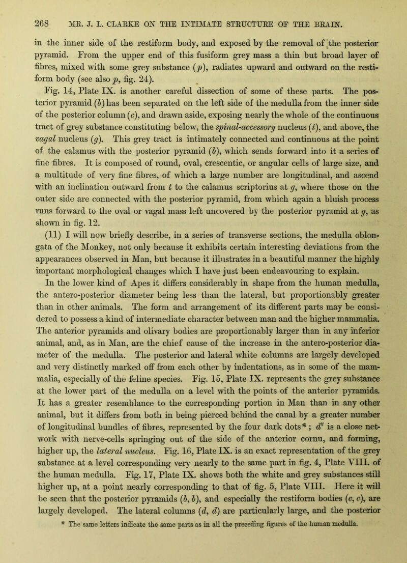in the inner side of the restiform body, and exposed by the removal of Lthe posterior pyramid. From the upper end of this fusiform grey mass a thin but broad layer of fibres, mixed with some grey substance (p), radiates upward and outward on the resti- form body (see also p, fig. 24). Fig. 14, Plate IX. is another careful dissection of some of these parts. The pos- terior pyramid (b) has been separated on the left side of the medulla from the inner side of the posterior column (c), and drawn aside, exposing nearly the whole of the continuous tract of grey substance constituting below, the spinal-accessory nucleus (t), and above, the vagal nucleus (g). This grey tract is intimately connected and continuous at the point of the calamus with the posterior pyramid (b), which sends forward into it a series of fine fibres. It is composed of round, oval, crescentic, or angular cells of large size, and a multitude of very fine fibres, of which a large number are longitudinal, and ascend with an inclination outward from t to the calamus scriptorius at g, where those on the outer side are connected with the posterior pyramid, from which again a bluish process runs forward to the oval or vagal mass left uncovered by the posterior pyramid at g, as shown in fig. 12. (11) I will now briefly describe, in a series of transverse sections, the medulla oblon- gata of the Monkey, not only because it exhibits certain interesting deviations from the appearances observed in Man, but because it illustrates in a beautiful manner the highly important morphological changes which I have just been endeavouring to explain. In the lower kind of Apes it differs considerably in shape from the human medulla, the antero-posterior diameter being less than the lateral, but proportionably greater than in other animals. The form and arrangement of its different parts may be consi- dered to possess a kind of intermediate character between man and the higher mammalia. The anterior pyramids and olivary bodies are proportionably larger than in any inferior animal, and, as in Man, are the chief cause of the increase in the antero-posterior dia- meter of the medulla. The posterior and lateral white columns are largely developed and very distinctly marked off from each other by indentations, as in some of the mam- malia, especially of the feline species. Fig. 15, Plate IX. represents the grey substance at the lower part of the medulla on a level with the points of the anterior pyramids. It has a greater resemblance to the corresponding portion in Man than in any other animal, but it differs from both in being pierced behind the canal by a greater number of longitudinal bundles of fibres, represented by the four dark dots * ; d is a close net- work with nerve-cells springing out of the side of the anterior cornu, and forming, higher up, the lateral nucleus. Fig. 16, Plate IX. is an exact representation of the grey substance at a level corresponding very nearly to the same part in fig. 4, Plate VIII. of the human medulla. Fig. 17, Plate IX. shows both the white and grey substances still higher up, at a point nearly corresponding to that of fig. 5, Plate VIII. Here it will be seen that the posterior pyramids (b, b), and especially the restiform bodies (c, c), are largely developed. The lateral columns (d, d) are particularly large, and the posterior * The same letters indicate the same parts as in all the preceding figures of the human medulla.