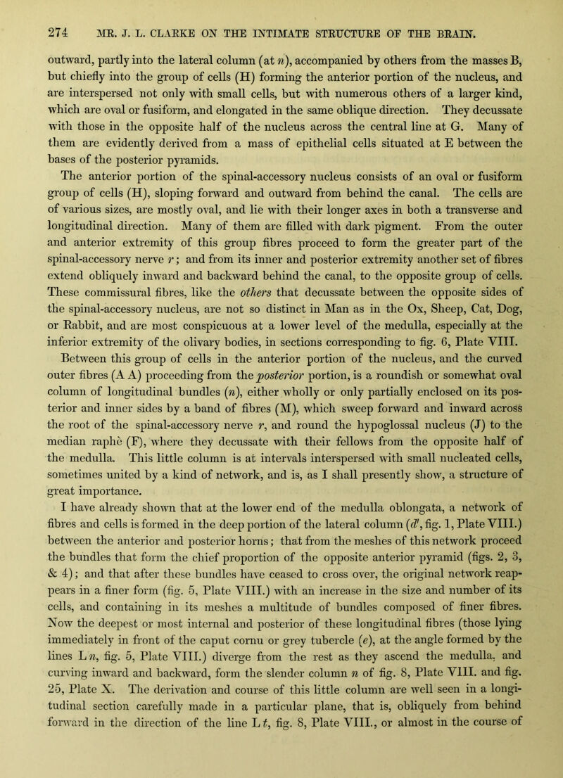 outward, partly into the lateral column (at n), accompanied by others from the masses B, but chiefly into the group of cells (H) forming the anterior portion of the nucleus, and are interspersed not only with small cells, but with numerous others of a larger kind, which are oval or fusiform, and elongated in the same oblique direction. They decussate with those in the opposite half of the nucleus across the central line at G. Many of them are evidently derived from a mass of epithelial cells situated at E between the bases of the posterior pyramids. The anterior portion of the spinal-accessory nucleus consists of an oval or fusiform group of cells (H), sloping forward and outward from behind the canal. The cells are of various sizes, are mostly oval, and lie with their longer axes in both a transverse and longitudinal direction. Many of them are filled with dark pigment. From the outer and anterior extremity of this group fibres proceed to form the greater part of the spinal-accessory nerve r; and from its inner and posterior extremity another set of fibres extend obliquely inward and backward behind the canal, to the opposite group of cells. These commissural fibres, like the others that decussate between the opposite sides of the spinal-accessory nucleus, are not so distinct in Man as in the Ox, Sheep, Cat, Dog, or Rabbit, and are most conspicuous at a lower level of the medulla, especially at the inferior extremity of the olivary bodies, in sections corresponding to fig. 6, Plate VIII. Between this group of cells in the anterior portion of the nucleus, and the curved outer fibres (A A) proceeding from the posterior portion, is a roundish or somewhat oval column of longitudinal bundles (n), either wholly or only partially enclosed on its pos- terior and inner sides by a band of fibres (M), which sweep forward and inward across the root of the spinal-accessory nerve r, and round the hypoglossal nucleus (J) to the median raphe (F), where they decussate with their fellows from the opposite half of the medulla. This little column is at intervals interspersed with small nucleated cells, sometimes united by a kind of network, and is, as I shall presently show, a structure of great importance. I have already shown that at the lower end of the medulla oblongata, a network of fibres and cells is formed in the deep portion of the lateral column (d', fig. 1, Plate VIII.) between the anterior and posterior horns; that from the meshes of this network proceed the bundles that form the chief proportion of the opposite anterior pyramid (figs. 2, 3, & 4); and that after these bundles have ceased to cross over, the original network reap- pears in a finer form (fig. 5, Plate VIII.) with an increase in the size and number of its cells, and containing in its meshes a multitude of bundles composed of finer fibres. Now the deepest or most internal and posterior of these longitudinal fibres (those lying immediately in front of the caput cornu or grey tubercle (c), at the angle formed by the lines L n, fig. 5, Plate VIII.) diverge from the rest as they ascend the medulla, and curving inward and backward, form the slender column n of fig. 8, Plate VIII. and fig. 25, Plate X. The derivation and course of this little column are well seen in a longi- tudinal section carefully made in a particular plane, that is, obliquely from behind forward in the direction of the line L t, fig. 8, Plate VIII., or almost in the course of