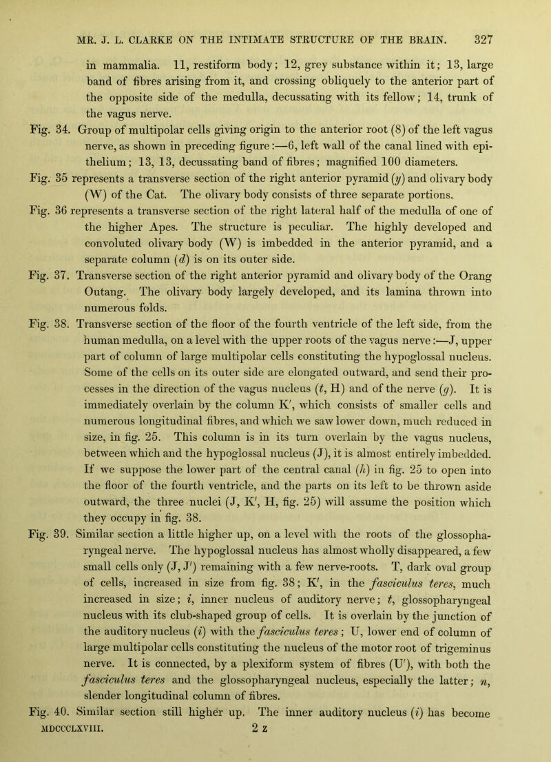 in mammalia. 11, restiform body; 12, grey substance within it; 13, large band of fibres arising from it, and crossing obliquely to the anterior part of the opposite side of the medulla, decussating with its fellow; 14, trunk of the vagus nerve. Fig. 34. Group of multipolar cells giving origin to the anterior root (8) of the left vagus nerve, as shown in preceding figure:—6, left wall of the canal lined with epi- thelium; 13, 13, decussating band of fibres; magnified 100 diameters. Fig. 35 represents a transverse section of the right anterior pyramid (y) and olivary body (W) of the Cat. The olivary body consists of three separate portions. Fig. 36 represents a transverse section of the right lateral half of the medulla of one of the higher Apes. The structure is peculiar. The highly developed and convoluted olivary body (W) is imbedded in the anterior pyramid, and a separate column (d) is on its outer side. Fig. 37. Transverse section of the right anterior pyramid and olivary body of the Orang Outang. The olivary body largely developed, and its lamina thrown into numerous folds. Fig. 38. Transverse section of the floor of the fourth ventricle of the left side, from the human medulla, on a level with the upper roots of the vagus nerve:—J, upper part of column of large multipolar cells constituting the hypoglossal nucleus. Some of the cells on its outer side are elongated outward, and send their pro- cesses in the direction of the vagus nucleus (t, H) and of the nerve (g). It is immediately overlain by the column K', which consists of smaller cells and numerous longitudinal fibres, and which we saw lower down, much reduced in size, in fig. 25. This column is in its turn overlain by the vagus nucleus, between which and the hypoglossal nucleus (J), it is almost entirely imbedded. If we suppose the lower part of the central canal (A) in fig. 25 to open into the floor of the fourth ventricle, and the parts on its left to be thrown aside outward, the three nuclei (J, K', H, fig. 25) will assume the position which they occupy in fig. 38. Fig. 39. Similar section a little higher up, on a level with the roots of the glossopha- ryngeal nerve. The hypoglossal nucleus has almost wholly disappeared, a few small cells only (J, J') remaining with a few nerve-roots. T, dark oval group of cells, increased in size from fig. 38; K', in the fasciculus teres, much increased in size; i, inner nucleus of auditory nerve; t, glossopharyngeal nucleus with its club-shaped group of cells. It is overlain by the junction of the auditory nucleus (i) with thq fasciculus teres ; U, lower end of column of large multipolar cells constituting the nucleus of the motor root of trigeminus nerve. It is connected, by a plexiform system of fibres (U'), with both the fasciculus teres and the glossopharyngeal nucleus, especially the latter; n, slender longitudinal column of fibres. Fig. 40. Similar section still higher up. The inner auditory nucleus (i) has become MDCCCLXVIII. 2 Z