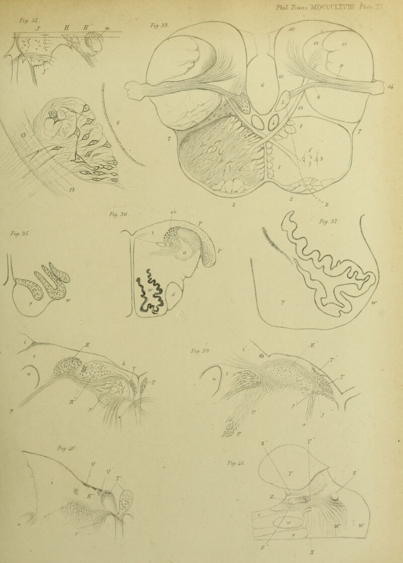 Phil. Tranx MDCCCI^mi PI'.