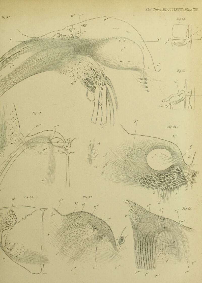 Phil. Trans, MDCCC O VU1. Plate XH1. Fiq.5i Fig.Slf- 7