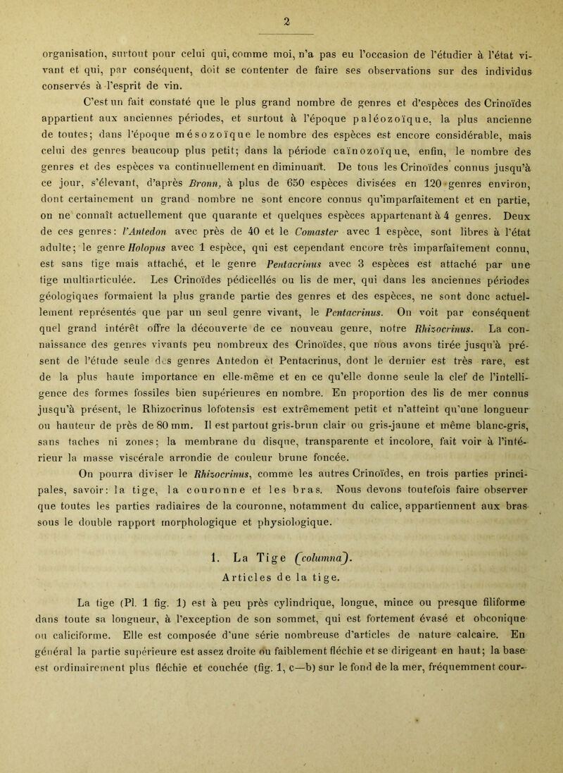 organisation, surtout pour celui qui, comme moi, n’a pas eu l’occasion de l’étudier à l’état vi- vant et qui, par conséquent, doit se contenter de faire ses observations sur des individus conservés à l’esprit de vin. C’est un fait constaté que le plus grand nombre de genres et d’espèces des Crinoïdes appartient aux anciennes périodes, et surtout à l’époque paléozoïque, la plus ancienne de toutes; dans l’époque mésozoïque le nombre des espèces est encore considérable, mais celui des genres beaucoup plus petit; dans la période caïnozoïque, enfin, le nombre des genres et des espèces va continuellement en diminuant. De tous les Crinoïdes connus jusqu’à ce jour, s’élevant, d’après Broun, à plus de 650 espèces divisées en 120-genres environ, dont certainement un grand nombre ne sont encore connus qu’imparfaitement et en partie, on ne connaît actuellement que quarante et quelques espèces appartenant à 4 genres. Deux de ces genres ; l’Antedon avec près de 40 et le Comaster avec 1 espèce, sont libres à l’état adulte; le genre Holopus avec 1 espèce, qui est cependant encore très imparfaitement connu, est sans tige mais attaché, et le genre Pentacriuus avec 3 espèces est attaché par une tige multiarticulée. Les Crinoïdes pédicellés ou lis de mer, qui dans les anciennes périodes géologiques formaient la plus grande partie des genres et des espèces, ne sont donc actuel- lement représentés que par un seul genre vivant, le Pentacriuus. On voit par conséquent quel grand intérêt offre la découverte de ce nouveau genre, notre Rhisocriuus. La con- naissance des genres vivants peu nombreux des Crinoïdes, que nous avons tirée jusqu’à pré- sent de l’étude seule d^s genres Antedon et Pentacrinus, dont le dernier est très rare, est de la plus haute importance en elle-même et en ce qu’elle donne seule la clef de l’intelli- gence des formes fossiles bien supérieures en nombre. En proportion des lis de mer connus jusqu’à présent, le Rhizocrinus lofotensis est extrêmement petit et n’atteint qu’une longueur ou hauteur de près de 80 mm. Il est partout gris-brun clair ou gris-jaune et même blanc-gris, sans taches ni zones; la membrane du disque, transparente et incolore, fait voir à l’inté- rieur la masse viscérale arrondie de couleur brune foncée. On pourra diviser le Rhizocrinus., comme les autres Crinoïdes, en trois parties princi- pales, savoir: la tige, la couronne et les bras. Nous devons toutefois faire observer que toutes les parties radiaires de la couronne, notamment du calice, appartiennent aux bras sous le double rapport morphologique et physiologique. 1. La Tige QcolumnaJ. Articles de la tige. La tige (PI. 1 fig. 1) est à peu près cylindrique, longue, mince ou presque filiforme dans toute sa longueur, à l’exception de son sommet, qui est fortement évasé et obeonique ou caliciforme. Elle est composée d’une série nombreuse d’articles de nature calcaire. En général la partie supérieure est assez droite du faiblement fléchie et se dirigeant en haut; la base est ordinairement plus fléchie et couchée (fig. 1, c—b) sur le fond de la mer, fréquemment coui’-
